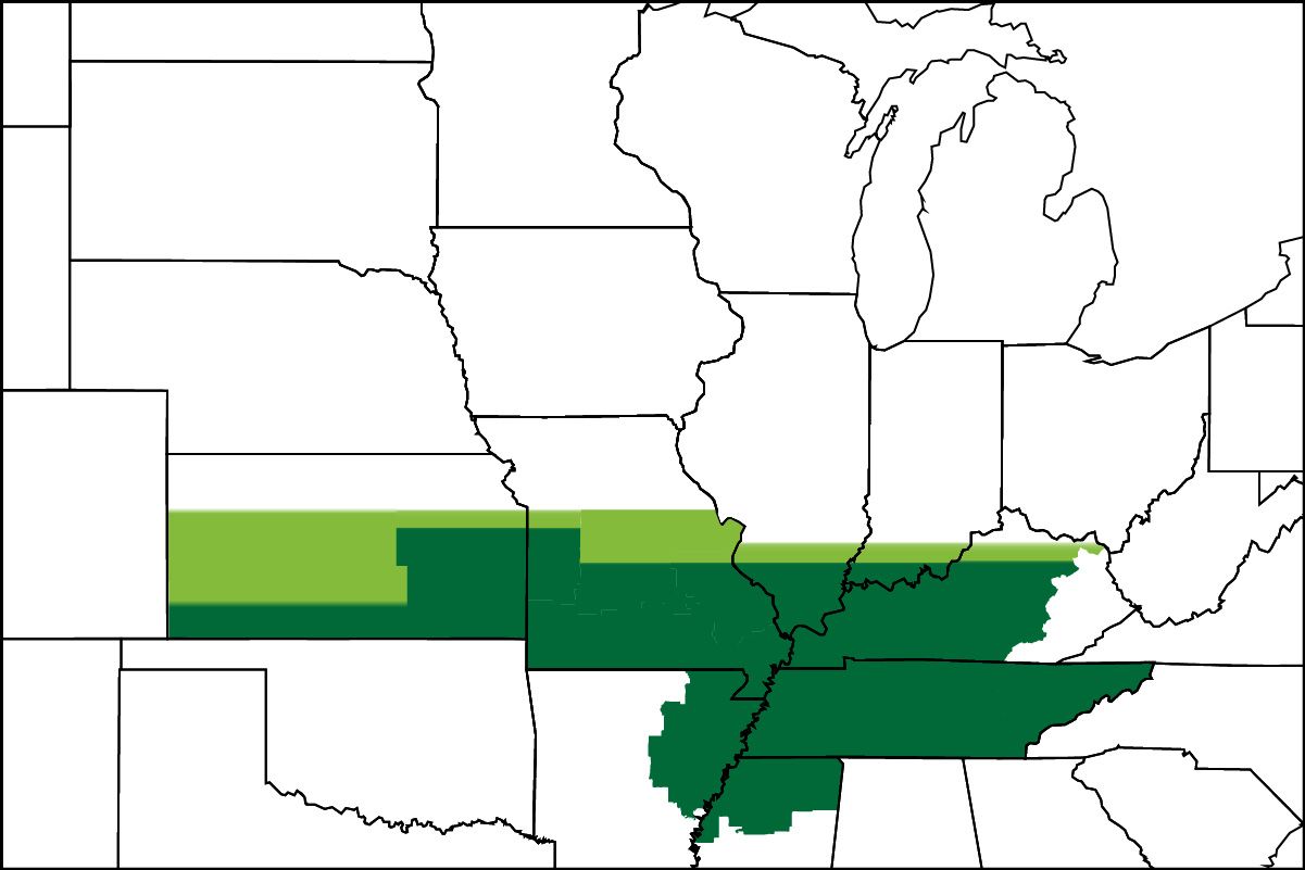 4777xf | Beck's Hybrid soybeans