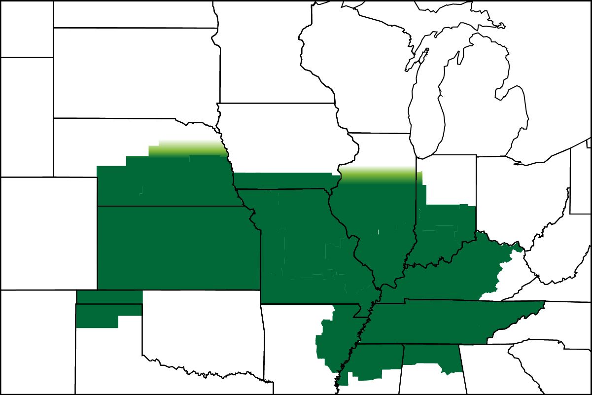 6973tcv2p | Beck's Hybrid corn