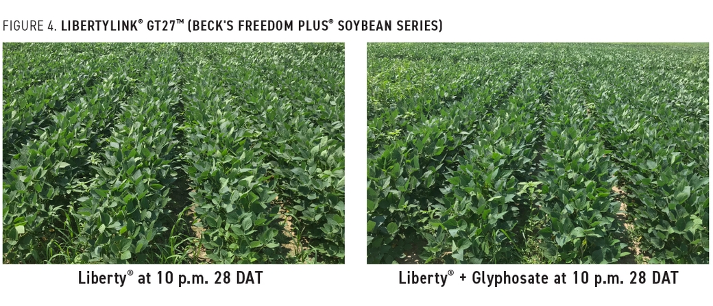 CropTalk: Is Weed Control Simple Again?