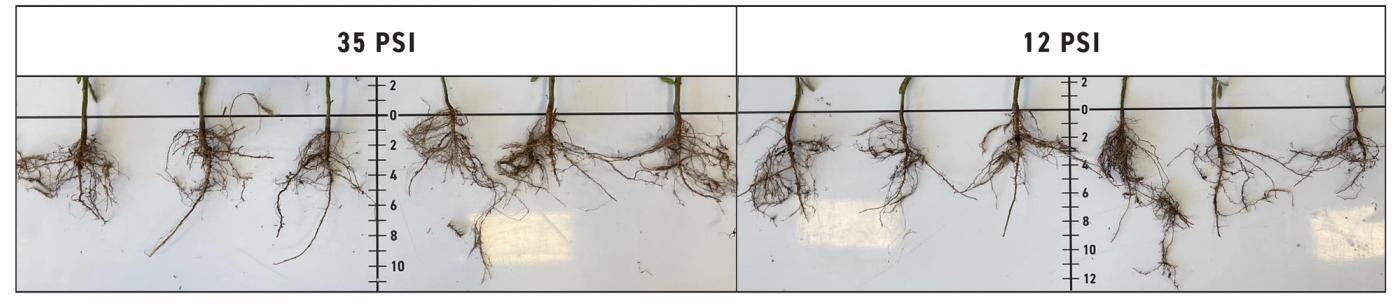 2023 Indiana Soybean Tire Pressure Study - Planter Tractor Root Digs