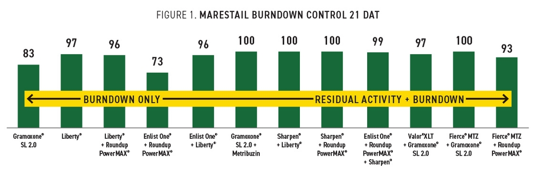 indoor plant watering WiFi Automatic Watering System For Indoor Potted Plants  RainPoint
