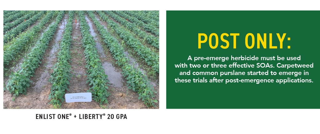 Weed Management Brief: Enlist Carrier Rate