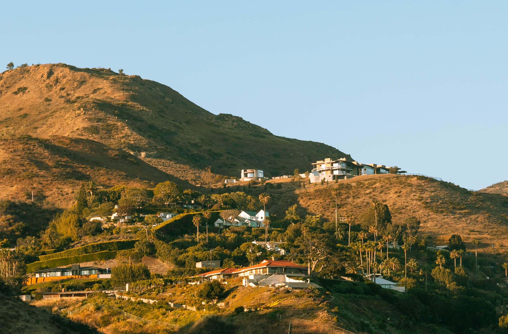 Golden evening light across a coastal hillside dotted with houses and palm trees