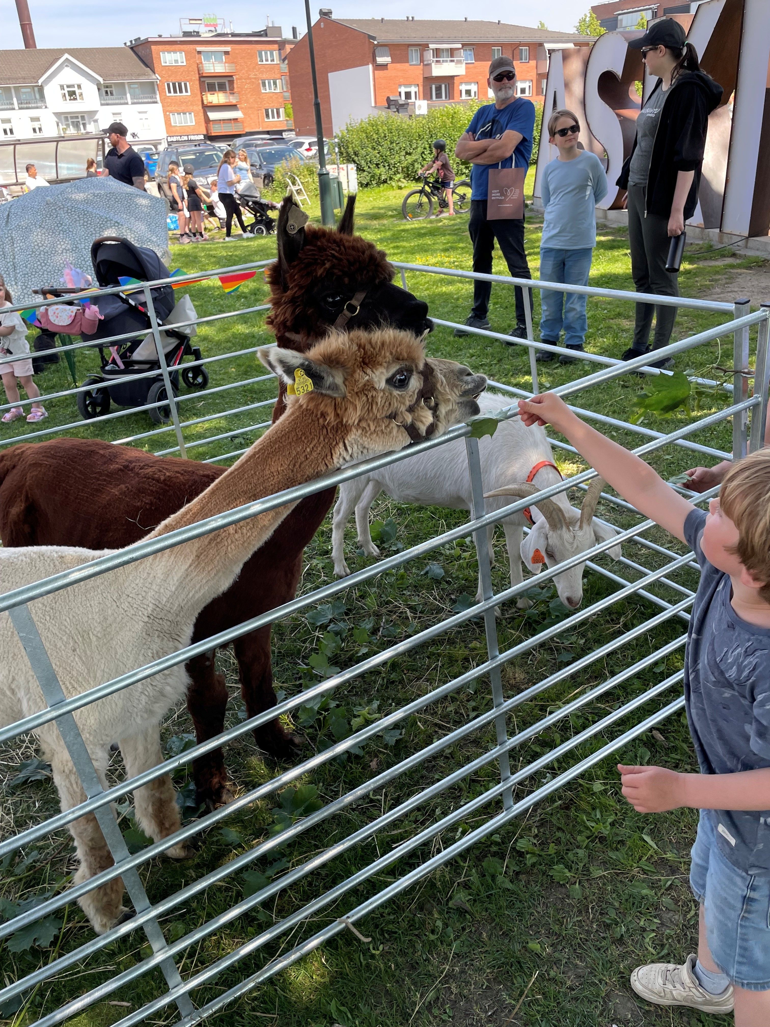 Gutt som gir en alpakka et blad​​​​‌﻿‍﻿​‍​‍‌‍﻿﻿‌﻿​‍‌‍‍‌‌‍‌﻿‌‍‍‌‌‍﻿‍​‍​‍​﻿‍‍​‍​‍‌﻿​﻿‌‍​‌‌‍﻿‍‌‍‍‌‌﻿‌​‌﻿‍‌​‍﻿‍‌‍‍‌‌‍﻿﻿​‍​‍​‍﻿​​‍​‍‌‍‍​‌﻿​‍‌‍‌‌‌‍‌‍​‍​‍​﻿‍‍​‍​‍‌‍‍​‌﻿‌​‌﻿‌​‌﻿​​​﻿‍‍​‍﻿﻿​‍﻿﻿‌‍﻿​‌‍﻿﻿‌‍​﻿‌‍​‌‌‍﻿​‌‍‍​‌‍﻿﻿‌﻿​﻿‌﻿‌​​﻿‍‍​﻿​﻿​﻿​﻿​﻿​﻿​﻿​﻿​‍﻿﻿‌‍‍‌‌‍﻿‍‌﻿‌​‌‍‌‌‌‍﻿‍‌﻿‌​​‍﻿﻿‌‍‌‌‌‍‌​‌‍‍‌‌﻿‌​​‍﻿﻿‌‍﻿‌‌‍﻿﻿‌‍‌​‌‍‌‌​﻿﻿‌‌﻿​​‌﻿​‍‌‍‌‌‌﻿​﻿‌‍‌‌‌‍﻿‍‌﻿‌​‌‍​‌‌﻿‌​‌‍‍‌‌‍﻿﻿‌‍﻿‍​﻿‍﻿‌‍‍‌‌‍‌​​﻿﻿‌‌‍‌‍‌‍‌‌‌‍‌‌​﻿‌‌​﻿​‌‌‍​﻿​﻿​‍​﻿​‌​‍﻿‌‌‍‌‌​﻿​‍​﻿‌﻿​﻿​​​‍﻿‌​﻿‌​‌‍‌​‌‍‌​​﻿​‍​‍﻿‌‌‍​‌​﻿​‍​﻿‍​‌‍​‍​‍﻿‌‌‍​‌​﻿​​​﻿‌‌​﻿​​‌‍‌‌​﻿​‍‌‍‌​‌‍‌‍‌‍​‍​﻿​​‌‍‌‌​﻿‍​​﻿‍﻿‌﻿‌​‌﻿‍‌‌﻿​​‌‍‌‌​﻿﻿‌‌﻿​​‌‍﻿﻿‌﻿​﻿‌﻿‌​​﻿‍﻿‌﻿​​‌‍​‌‌﻿‌​‌‍‍​​﻿﻿‌‌‍​‍‌‍﻿﻿‌‍‌​‌﻿‍‌​‍‌‌​﻿‌‌‌​​‍‌‌﻿﻿‌‍‍﻿‌‍‌‌‌﻿‍‌​‍‌‌​﻿​﻿‌​‌​​‍‌‌​﻿​﻿‌​‌​​‍‌‌​﻿​‍​﻿​‍‌‍​‍​﻿‌​​﻿‌‍​﻿​​​﻿​​‌‍​﻿​﻿‍​​﻿​﻿​﻿​‍​﻿‌﻿​﻿‌‍‌‍​﻿​‍‌‌​﻿​‍​﻿​‍​‍‌‌​﻿‌‌‌​‌​​‍﻿‍‌‍​‌‌‍﻿​‌﻿‌​​﻿﻿﻿‌‍​‍‌‍​‌‌﻿​﻿‌‍‌‌‌‌‌‌‌﻿​‍‌‍﻿​​﻿﻿‌‌‍‍​‌﻿‌​‌﻿‌​‌﻿​​​‍‌‌​﻿​﻿‌​​‌​‍‌‌​﻿​‍‌​‌‍​‍‌‌​﻿​‍‌​‌‍‌‍﻿​‌‍﻿﻿‌‍​﻿‌‍​‌‌‍﻿​‌‍‍​‌‍﻿﻿‌﻿​﻿‌﻿‌​​‍‌‌​﻿​﻿‌​​‌​﻿​﻿​﻿​﻿​﻿​﻿​﻿​﻿​‍‌‍‌‍‍‌‌‍‌​​﻿﻿‌‌‍‌‍‌‍‌‌‌‍‌‌​﻿‌‌​﻿​‌‌‍​﻿​﻿​‍​﻿​‌​‍﻿‌‌‍‌‌​﻿​‍​﻿‌﻿​﻿​​​‍﻿‌​﻿‌​‌‍‌​‌‍‌​​﻿​‍​‍﻿‌‌‍​‌​﻿​‍​﻿‍​‌‍​‍​‍﻿‌‌‍​‌​﻿​​​﻿‌‌​﻿​​‌‍‌‌​﻿​‍‌‍‌​‌‍‌‍‌‍​‍​﻿​​‌‍‌‌​﻿‍​​‍‌‍‌﻿‌​‌﻿‍‌‌﻿​​‌‍‌‌​﻿﻿‌‌﻿​​‌‍﻿﻿‌﻿​﻿‌﻿‌​​‍‌‍‌﻿​​‌‍​‌‌﻿‌​‌‍‍​​﻿﻿‌‌‍​‍‌‍﻿﻿‌‍‌​‌﻿‍‌​‍‌‌​﻿‌‌‌​​‍‌‌﻿﻿‌‍‍﻿‌‍‌‌‌﻿‍‌​‍‌‌​﻿​﻿‌​‌​​‍‌‌​﻿​﻿‌​‌​​‍‌‌​﻿​‍​﻿​‍‌‍​‍​﻿‌​​﻿‌‍​﻿​​​﻿​​‌‍​﻿​﻿‍​​﻿​﻿​﻿​‍​﻿‌﻿​﻿‌‍‌‍​﻿​‍‌‌​﻿​‍​﻿​‍​‍‌‌​﻿‌‌‌​‌​​‍﻿‍‌‍​‌‌‍﻿​‌﻿‌​​‍‌‍‌﻿​​‌‍‌‌‌﻿​‍‌﻿​﻿‌﻿​​‌‍‌‌‌‍​﻿‌﻿‌​‌‍‍‌‌﻿‌‍‌‍‌‌​﻿﻿‌‌﻿​​‌﻿‌‌‌‍​‍‌‍﻿​‌‍‍‌‌﻿​﻿‌‍‍​‌‍‌‌‌‍‌​​‍​‍‌﻿﻿‌