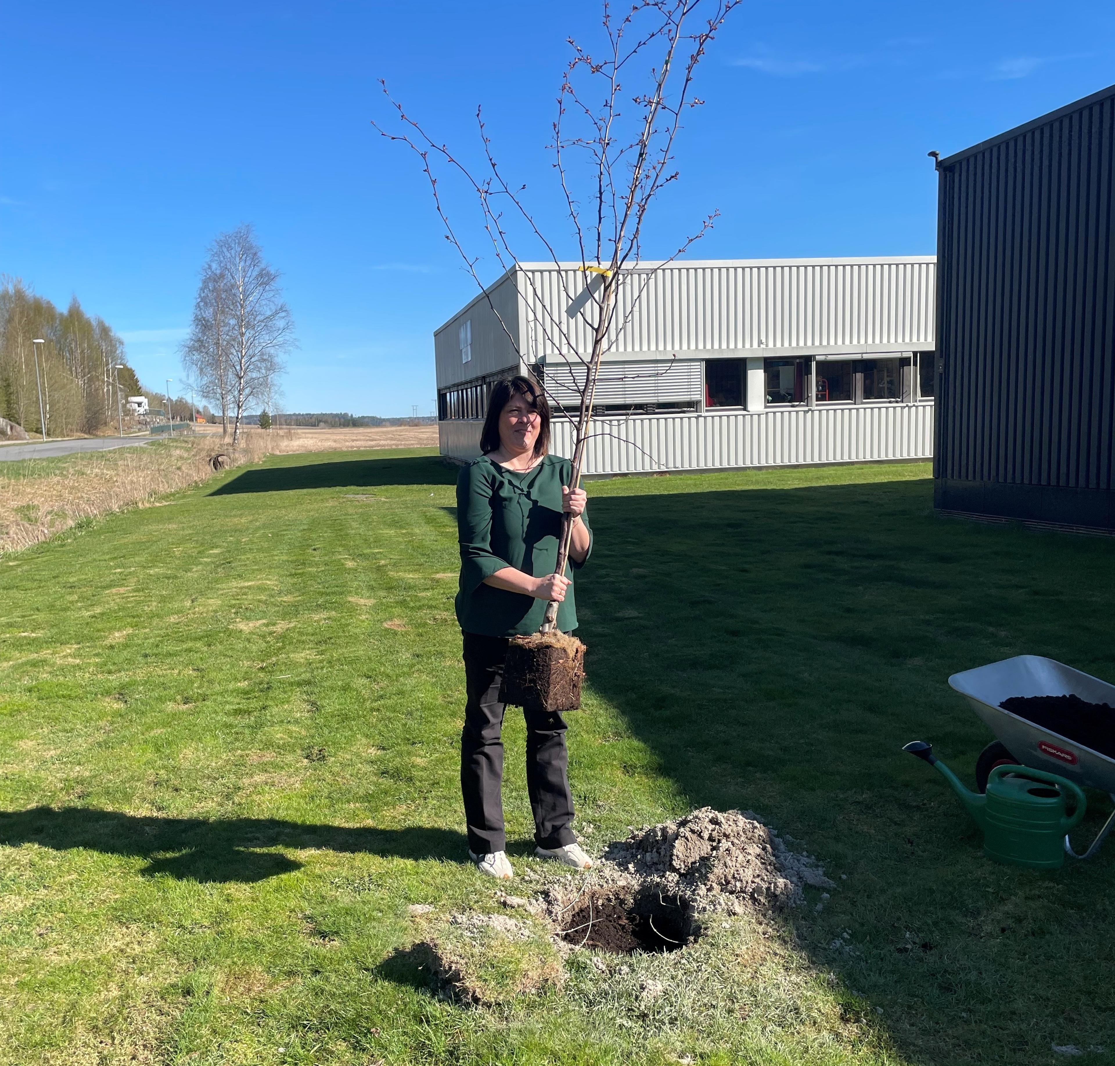 en dame med et ungt tre