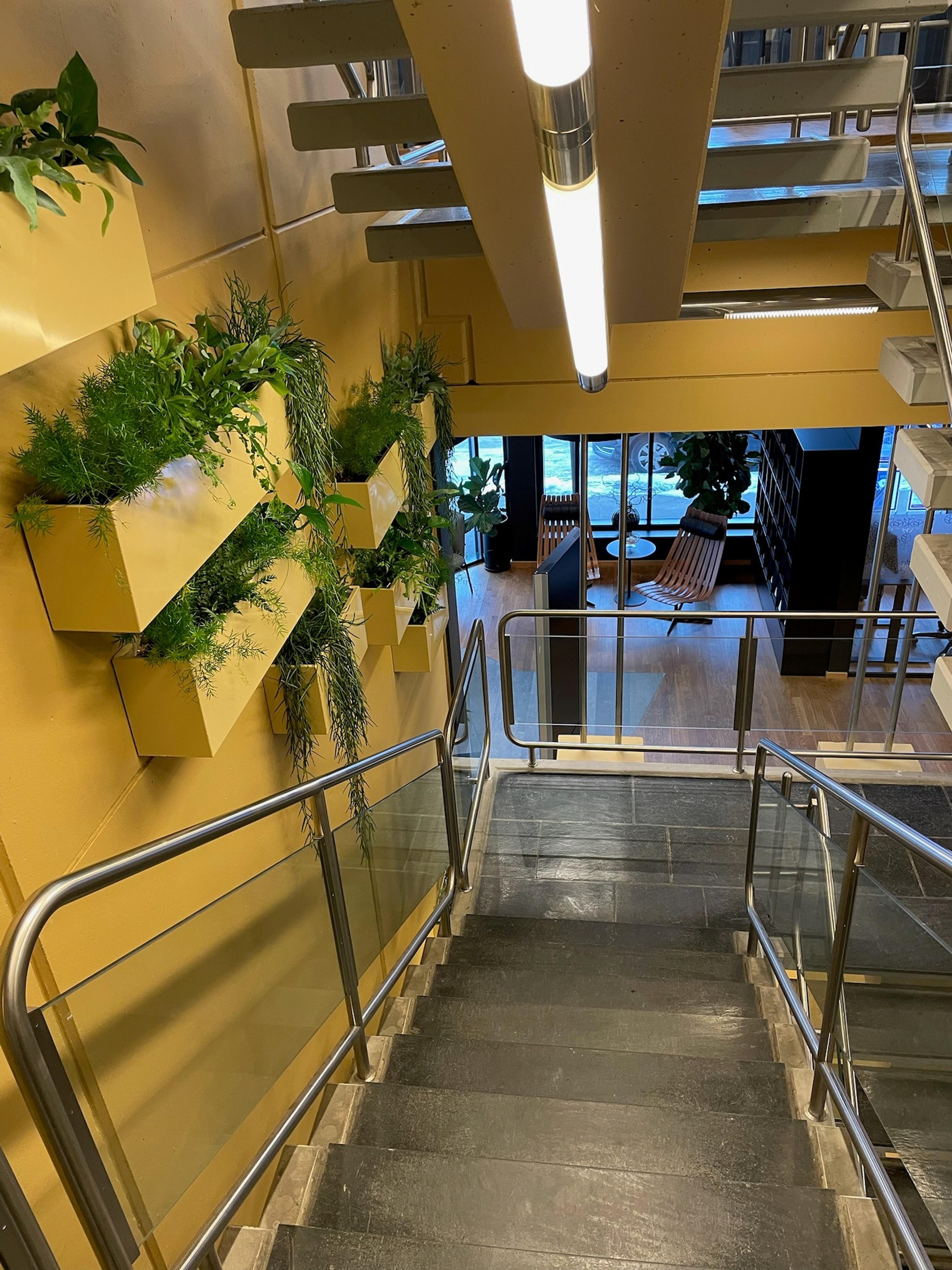 Trapp med grønne planter​​​​‌﻿‍﻿​‍​‍‌‍﻿﻿‌﻿​‍‌‍‍‌‌‍‌﻿‌‍‍‌‌‍﻿‍​‍​‍​﻿‍‍​‍​‍‌﻿​﻿‌‍​‌‌‍﻿‍‌‍‍‌‌﻿‌​‌﻿‍‌​‍﻿‍‌‍‍‌‌‍﻿﻿​‍​‍​‍﻿​​‍​‍‌‍‍​‌﻿​‍‌‍‌‌‌‍‌‍​‍​‍​﻿‍‍​‍​‍‌‍‍​‌﻿‌​‌﻿‌​‌﻿​​​﻿‍‍​‍﻿﻿​‍﻿﻿‌‍﻿​‌‍﻿﻿‌‍​﻿‌‍​‌‌‍﻿​‌‍‍​‌‍﻿﻿‌﻿​﻿‌﻿‌​​﻿‍‍​﻿​﻿​﻿​﻿​﻿​﻿​﻿​﻿​‍﻿﻿‌‍‍‌‌‍﻿‍‌﻿‌​‌‍‌‌‌‍﻿‍‌﻿‌​​‍﻿﻿‌‍‌‌‌‍‌​‌‍‍‌‌﻿‌​​‍﻿﻿‌‍﻿‌‌‍﻿﻿‌‍‌​‌‍‌‌​﻿﻿‌‌﻿​​‌﻿​‍‌‍‌‌‌﻿​﻿‌‍‌‌‌‍﻿‍‌﻿‌​‌‍​‌‌﻿‌​‌‍‍‌‌‍﻿﻿‌‍﻿‍​﻿‍﻿‌‍‍‌‌‍‌​​﻿﻿‌​﻿‌‌​﻿​‌‌‍​﻿‌‍​‍​﻿​‌‌‍​‍‌‍​‌‌‍​‍​‍﻿‌​﻿​‍‌‍​‌​﻿‌‌​﻿‌‍​‍﻿‌​﻿‌​​﻿‌‍​﻿‌​​﻿​‌​‍﻿‌‌‍​‌​﻿​‌​﻿‌﻿​﻿‌‌​‍﻿‌‌‍​‌​﻿‍​‌‍​‍​﻿‍​​﻿​﻿​﻿‌‍‌‍‌​‌‍​﻿‌‍‌​​﻿​‍‌‍​﻿‌‍​‌​﻿‍﻿‌﻿‌​‌﻿‍‌‌﻿​​‌‍‌‌​﻿﻿‌‌﻿​​‌‍﻿﻿‌﻿​﻿‌﻿‌​​﻿‍﻿‌﻿​​‌‍​‌‌﻿‌​‌‍‍​​﻿﻿‌‌‍​‍‌‍﻿﻿‌‍‌​‌﻿‍‌​‍‌‌​﻿‌‌‌​​‍‌‌﻿﻿‌‍‍﻿‌‍‌‌‌﻿‍‌​‍‌‌​﻿​﻿‌​‌​​‍‌‌​﻿​﻿‌​‌​​‍‌‌​﻿​‍​﻿​‍​﻿‌‌​﻿‍‌​﻿‍‌​﻿​​​﻿‍‌‌‍‌‌‌‍​﻿‌‍​﻿​﻿​‌‌‍‌​‌‍‌‍‌‍‌‍​‍‌‌​﻿​‍​﻿​‍​‍‌‌​﻿‌‌‌​‌​​‍﻿‍‌‍​‌‌‍﻿​‌﻿‌​​﻿﻿﻿‌‍​‍‌‍​‌‌﻿​﻿‌‍‌‌‌‌‌‌‌﻿​‍‌‍﻿​​﻿﻿‌‌‍‍​‌﻿‌​‌﻿‌​‌﻿​​​‍‌‌​﻿​﻿‌​​‌​‍‌‌​﻿​‍‌​‌‍​‍‌‌​﻿​‍‌​‌‍‌‍﻿​‌‍﻿﻿‌‍​﻿‌‍​‌‌‍﻿​‌‍‍​‌‍﻿﻿‌﻿​﻿‌﻿‌​​‍‌‌​﻿​﻿‌​​‌​﻿​﻿​﻿​﻿​﻿​﻿​﻿​﻿​‍‌‍‌‍‍‌‌‍‌​​﻿﻿‌​﻿‌‌​﻿​‌‌‍​﻿‌‍​‍​﻿​‌‌‍​‍‌‍​‌‌‍​‍​‍﻿‌​﻿​‍‌‍​‌​﻿‌‌​﻿‌‍​‍﻿‌​﻿‌​​﻿‌‍​﻿‌​​﻿​‌​‍﻿‌‌‍​‌​﻿​‌​﻿‌﻿​﻿‌‌​‍﻿‌‌‍​‌​﻿‍​‌‍​‍​﻿‍​​﻿​﻿​﻿‌‍‌‍‌​‌‍​﻿‌‍‌​​﻿​‍‌‍​﻿‌‍​‌​‍‌‍‌﻿‌​‌﻿‍‌‌﻿​​‌‍‌‌​﻿﻿‌‌﻿​​‌‍﻿﻿‌﻿​﻿‌﻿‌​​‍‌‍‌﻿​​‌‍​‌‌﻿‌​‌‍‍​​﻿﻿‌‌‍​‍‌‍﻿﻿‌‍‌​‌﻿‍‌​‍‌‌​﻿‌‌‌​​‍‌‌﻿﻿‌‍‍﻿‌‍‌‌‌﻿‍‌​‍‌‌​﻿​﻿‌​‌​​‍‌‌​﻿​﻿‌​‌​​‍‌‌​﻿​‍​﻿​‍​﻿‌‌​﻿‍‌​﻿‍‌​﻿​​​﻿‍‌‌‍‌‌‌‍​﻿‌‍​﻿​﻿​‌‌‍‌​‌‍‌‍‌‍‌‍​‍‌‌​﻿​‍​﻿​‍​‍‌‌​﻿‌‌‌​‌​​‍﻿‍‌‍​‌‌‍﻿​‌﻿‌​​‍‌‍‌﻿​​‌‍‌‌‌﻿​‍‌﻿​﻿‌﻿​​‌‍‌‌‌‍​﻿‌﻿‌​‌‍‍‌‌﻿‌‍‌‍‌‌​﻿﻿‌‌﻿​​‌﻿‌‌‌‍​‍‌‍﻿​‌‍‍‌‌﻿​﻿‌‍‍​‌‍‌‌‌‍‌​​‍​‍‌﻿﻿‌