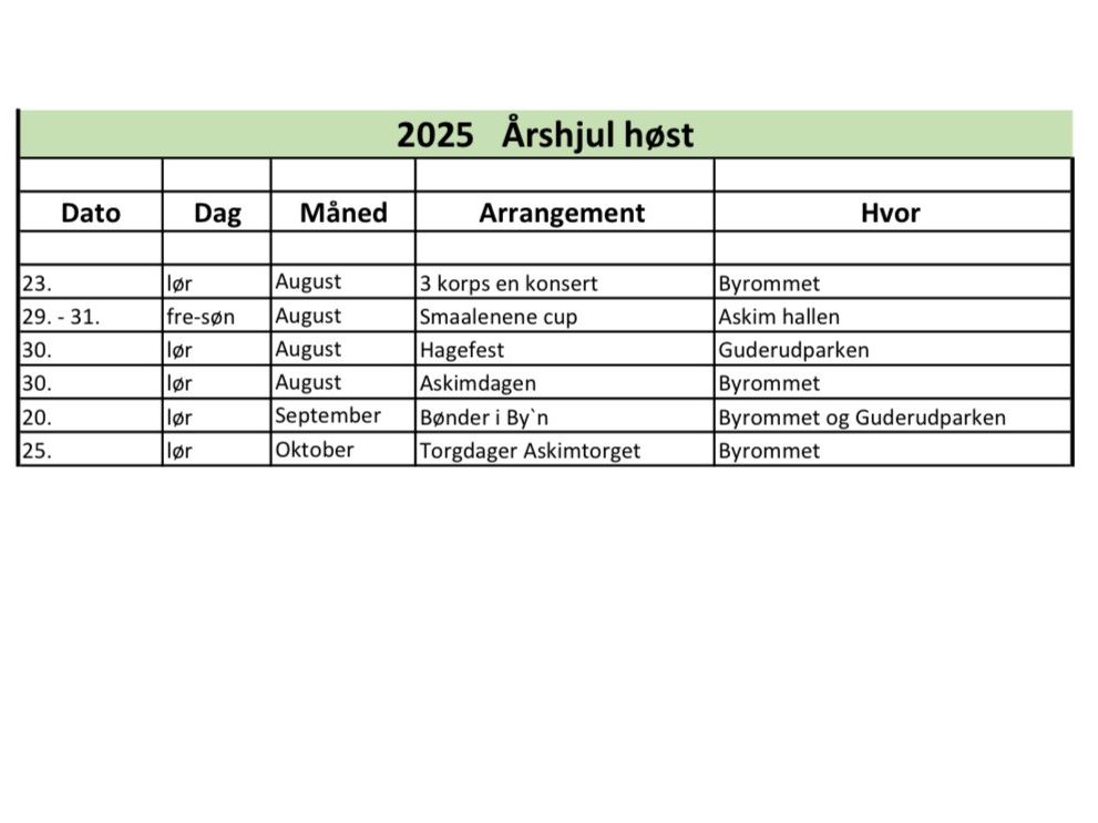 exel ark over aktiviteter