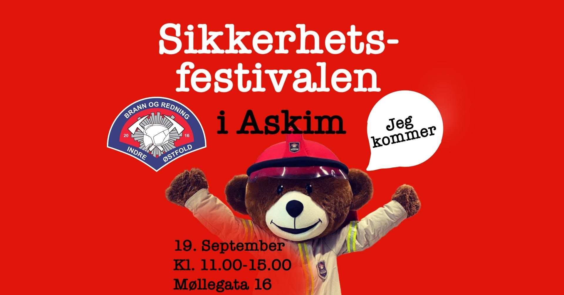 Bilde av maskoten Bjørnis