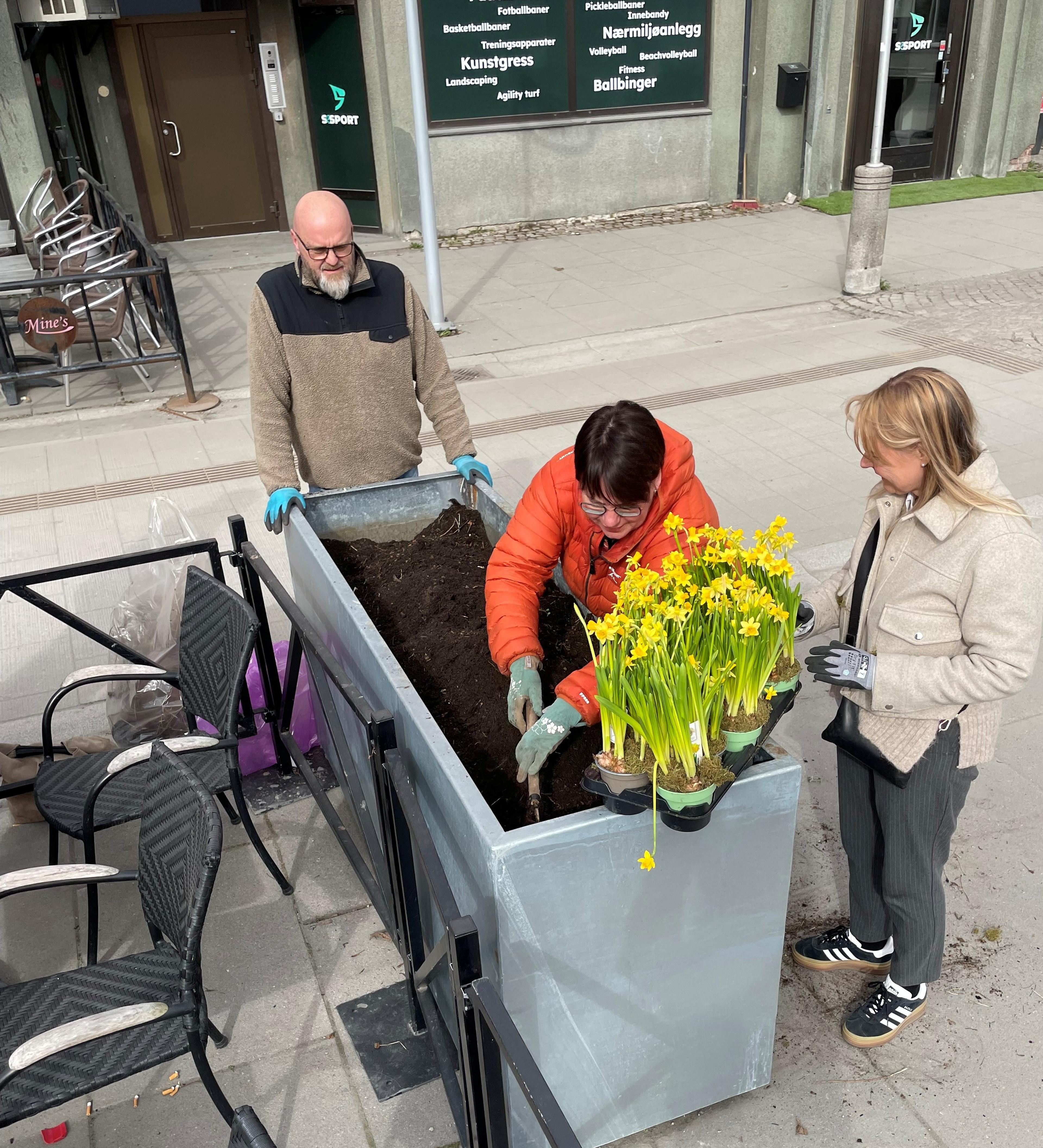 mennesker som planter liljer i gågata i Askim