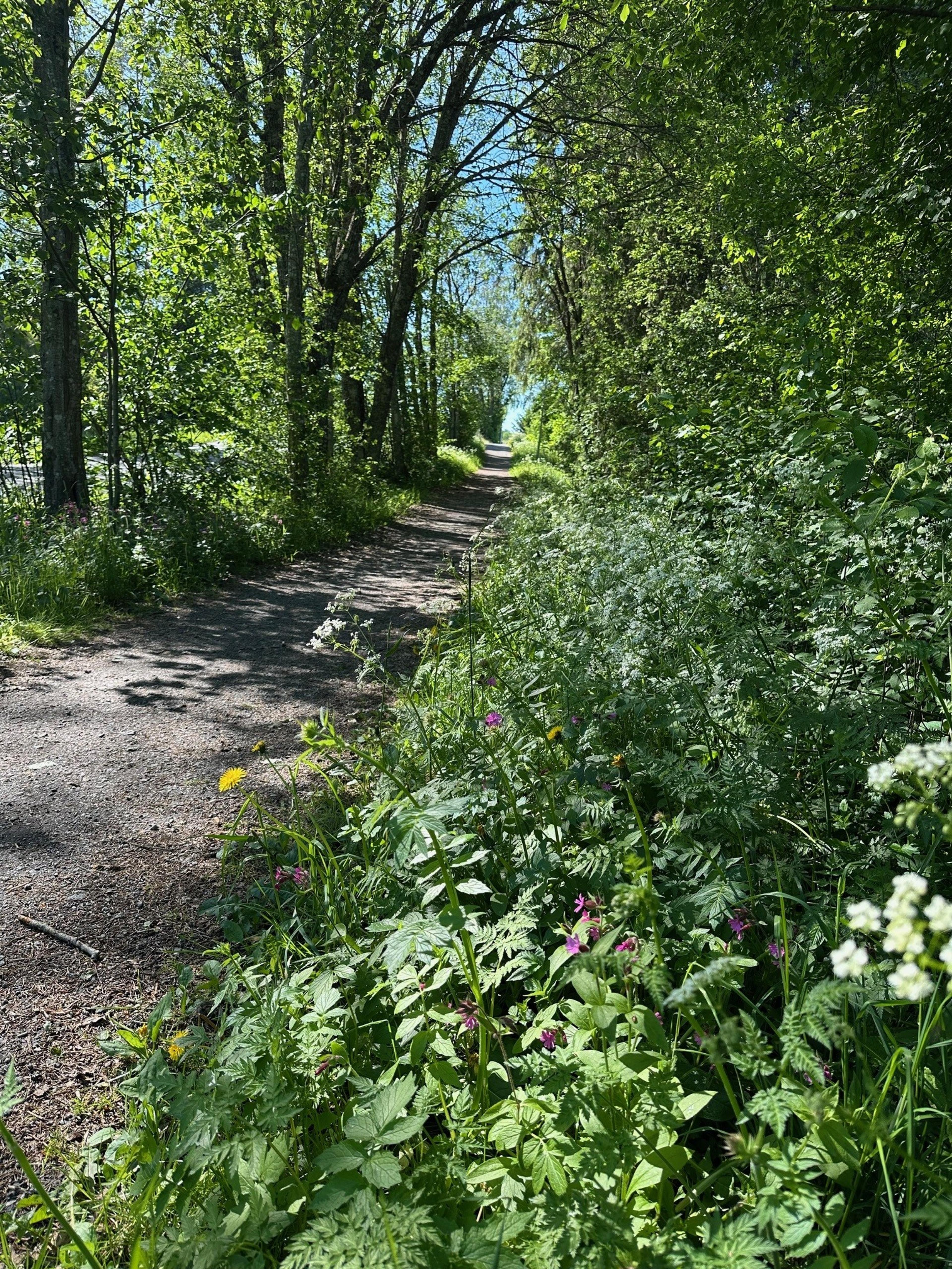 Skogsvei på sommeren​​​​‌﻿‍﻿​‍​‍‌‍﻿﻿‌﻿​‍‌‍‍‌‌‍‌﻿‌‍‍‌‌‍﻿‍​‍​‍​﻿‍‍​‍​‍‌﻿​﻿‌‍​‌‌‍﻿‍‌‍‍‌‌﻿‌​‌﻿‍‌​‍﻿‍‌‍‍‌‌‍﻿﻿​‍​‍​‍﻿​​‍​‍‌‍‍​‌﻿​‍‌‍‌‌‌‍‌‍​‍​‍​﻿‍‍​‍​‍‌‍‍​‌﻿‌​‌﻿‌​‌﻿​​​﻿‍‍​‍﻿﻿​‍﻿﻿‌‍﻿​‌‍﻿﻿‌‍​﻿‌‍​‌‌‍﻿​‌‍‍​‌‍﻿﻿‌﻿​﻿‌﻿‌​​﻿‍‍​﻿​﻿​﻿​﻿​﻿​﻿​﻿​﻿​‍﻿﻿‌‍‍‌‌‍﻿‍‌﻿‌​‌‍‌‌‌‍﻿‍‌﻿‌​​‍﻿﻿‌‍‌‌‌‍‌​‌‍‍‌‌﻿‌​​‍﻿﻿‌‍﻿‌‌‍﻿﻿‌‍‌​‌‍‌‌​﻿﻿‌‌﻿​​‌﻿​‍‌‍‌‌‌﻿​﻿‌‍‌‌‌‍﻿‍‌﻿‌​‌‍​‌‌﻿‌​‌‍‍‌‌‍﻿﻿‌‍﻿‍​﻿‍﻿‌‍‍‌‌‍‌​​﻿﻿‌‌‍​‍‌‍​‍​﻿‌‍​﻿‌﻿​﻿​‌​﻿​﻿​﻿‌‌​﻿​‍​‍﻿‌‌‍​﻿​﻿​‌‌‍​﻿‌‍‌‍​‍﻿‌​﻿‌​‌‍​‍​﻿‍‌​﻿‌​​‍﻿‌​﻿‍‌‌‍​﻿‌‍‌‍‌‍​‌​‍﻿‌‌‍​‍‌‍‌​​﻿‌‌​﻿‌​​﻿‌﻿‌‍​‍​﻿​﻿​﻿​​​﻿‍​​﻿​﻿‌‍​‍​﻿‌﻿​﻿‍﻿‌﻿‌​‌﻿‍‌‌﻿​​‌‍‌‌​﻿﻿‌‌﻿​​‌‍﻿﻿‌﻿​﻿‌﻿‌​​﻿‍﻿‌﻿​​‌‍​‌‌﻿‌​‌‍‍​​﻿﻿‌‌‍​‍‌‍﻿﻿‌‍‌​‌﻿‍‌​‍‌‌​﻿‌‌‌​​‍‌‌﻿﻿‌‍‍﻿‌‍‌‌‌﻿‍‌​‍‌‌​﻿​﻿‌​‌​​‍‌‌​﻿​﻿‌​‌​​‍‌‌​﻿​‍​﻿​‍​﻿​​‌‍‌​‌‍‌​​﻿‌‌​﻿‍‌‌‍​﻿‌‍‌​​﻿‌‍​﻿‍‌​﻿‌﻿‌‍‌‌​﻿​‍​‍‌‌​﻿​‍​﻿​‍​‍‌‌​﻿‌‌‌​‌​​‍﻿‍‌‍​‌‌‍﻿​‌﻿‌​​﻿﻿﻿‌‍​‍‌‍​‌‌﻿​﻿‌‍‌‌‌‌‌‌‌﻿​‍‌‍﻿​​﻿﻿‌‌‍‍​‌﻿‌​‌﻿‌​‌﻿​​​‍‌‌​﻿​﻿‌​​‌​‍‌‌​﻿​‍‌​‌‍​‍‌‌​﻿​‍‌​‌‍‌‍﻿​‌‍﻿﻿‌‍​﻿‌‍​‌‌‍﻿​‌‍‍​‌‍﻿﻿‌﻿​﻿‌﻿‌​​‍‌‌​﻿​﻿‌​​‌​﻿​﻿​﻿​﻿​﻿​﻿​﻿​﻿​‍‌‍‌‍‍‌‌‍‌​​﻿﻿‌‌‍​‍‌‍​‍​﻿‌‍​﻿‌﻿​﻿​‌​﻿​﻿​﻿‌‌​﻿​‍​‍﻿‌‌‍​﻿​﻿​‌‌‍​﻿‌‍‌‍​‍﻿‌​﻿‌​‌‍​‍​﻿‍‌​﻿‌​​‍﻿‌​﻿‍‌‌‍​﻿‌‍‌‍‌‍​‌​‍﻿‌‌‍​‍‌‍‌​​﻿‌‌​﻿‌​​﻿‌﻿‌‍​‍​﻿​﻿​﻿​​​﻿‍​​﻿​﻿‌‍​‍​﻿‌﻿​‍‌‍‌﻿‌​‌﻿‍‌‌﻿​​‌‍‌‌​﻿﻿‌‌﻿​​‌‍﻿﻿‌﻿​﻿‌﻿‌​​‍‌‍‌﻿​​‌‍​‌‌﻿‌​‌‍‍​​﻿﻿‌‌‍​‍‌‍﻿﻿‌‍‌​‌﻿‍‌​‍‌‌​﻿‌‌‌​​‍‌‌﻿﻿‌‍‍﻿‌‍‌‌‌﻿‍‌​‍‌‌​﻿​﻿‌​‌​​‍‌‌​﻿​﻿‌​‌​​‍‌‌​﻿​‍​﻿​‍​﻿​​‌‍‌​‌‍‌​​﻿‌‌​﻿‍‌‌‍​﻿‌‍‌​​﻿‌‍​﻿‍‌​﻿‌﻿‌‍‌‌​﻿​‍​‍‌‌​﻿​‍​﻿​‍​‍‌‌​﻿‌‌‌​‌​​‍﻿‍‌‍​‌‌‍﻿​‌﻿‌​​‍‌‍‌﻿​​‌‍‌‌‌﻿​‍‌﻿​﻿‌﻿​​‌‍‌‌‌‍​﻿‌﻿‌​‌‍‍‌‌﻿‌‍‌‍‌‌​﻿﻿‌‌﻿​​‌﻿‌‌‌‍​‍‌‍﻿​‌‍‍‌‌﻿​﻿‌‍‍​‌‍‌‌‌‍‌​​‍​‍‌﻿﻿‌