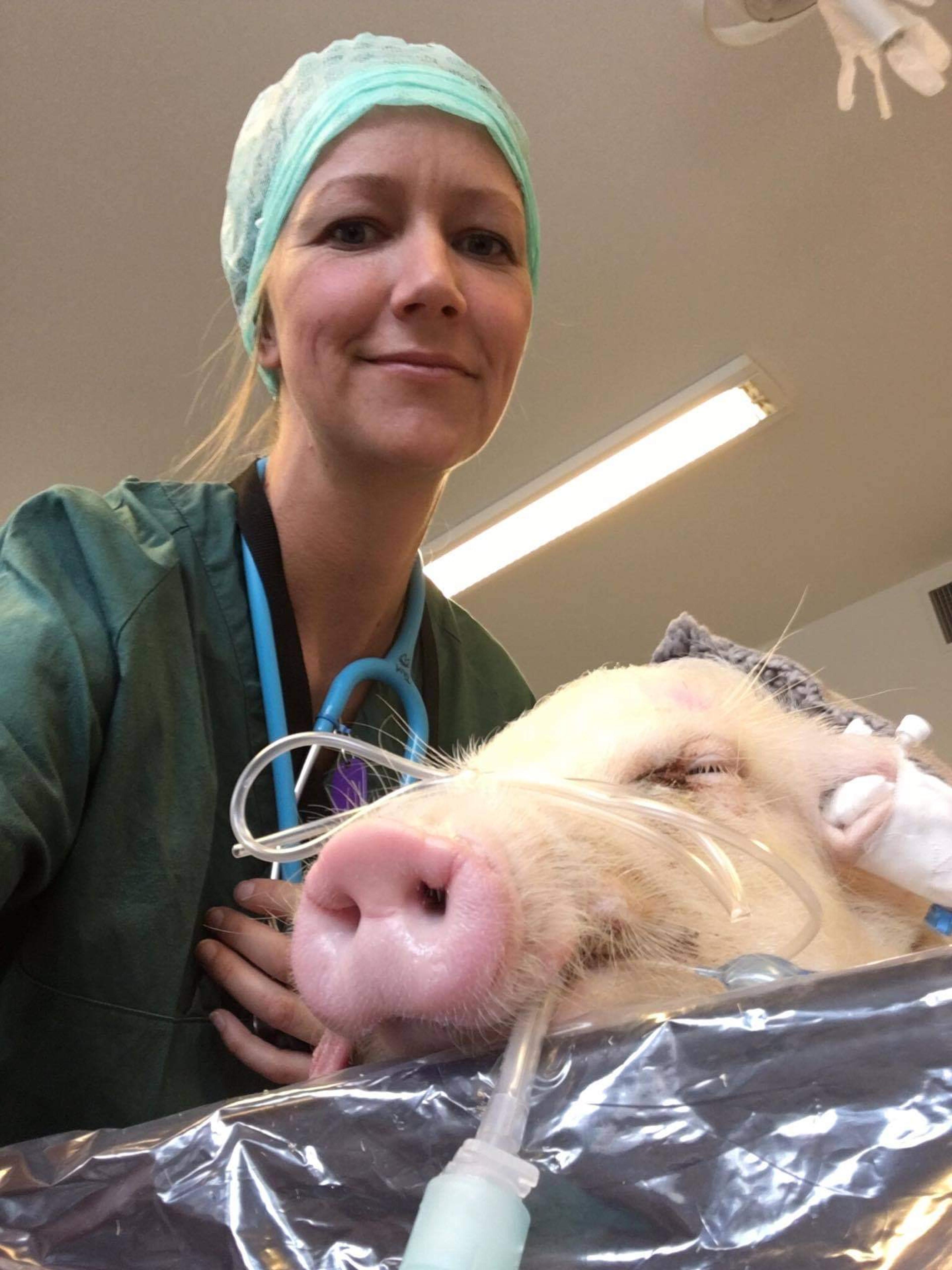 Dame og en gris​​​​‌﻿‍﻿​‍​‍‌‍﻿﻿‌﻿​‍‌‍‍‌‌‍‌﻿‌‍‍‌‌‍﻿‍​‍​‍​﻿‍‍​‍​‍‌﻿​﻿‌‍​‌‌‍﻿‍‌‍‍‌‌﻿‌​‌﻿‍‌​‍﻿‍‌‍‍‌‌‍﻿﻿​‍​‍​‍﻿​​‍​‍‌‍‍​‌﻿​‍‌‍‌‌‌‍‌‍​‍​‍​﻿‍‍​‍​‍‌‍‍​‌﻿‌​‌﻿‌​‌﻿​​​﻿‍‍​‍﻿﻿​‍﻿﻿‌‍﻿​‌‍﻿﻿‌‍​﻿‌‍​‌‌‍﻿​‌‍‍​‌‍﻿﻿‌﻿​﻿‌﻿‌​​﻿‍‍​﻿​﻿​﻿​﻿​﻿​﻿​﻿​﻿​‍﻿﻿‌‍‍‌‌‍﻿‍‌﻿‌​‌‍‌‌‌‍﻿‍‌﻿‌​​‍﻿﻿‌‍‌‌‌‍‌​‌‍‍‌‌﻿‌​​‍﻿﻿‌‍﻿‌‌‍﻿﻿‌‍‌​‌‍‌‌​﻿﻿‌‌﻿​​‌﻿​‍‌‍‌‌‌﻿​﻿‌‍‌‌‌‍﻿‍‌﻿‌​‌‍​‌‌﻿‌​‌‍‍‌‌‍﻿﻿‌‍﻿‍​﻿‍﻿‌‍‍‌‌‍‌​​﻿﻿‌​﻿​‍‌‍‌​​﻿‍​​﻿‌﻿​﻿‌﻿‌‍‌​​﻿‌‍‌‍‌​​‍﻿‌​﻿​﻿​﻿‍‌​﻿​‍​﻿‌​​‍﻿‌​﻿‌​​﻿​​​﻿​﻿​﻿‌‍​‍﻿‌​﻿‍​​﻿‌‌‌‍​‌‌‍‌‌​‍﻿‌​﻿‌﻿​﻿‌‍​﻿​​​﻿​​​﻿​﻿‌‍‌‍‌‍‌​‌‍​﻿‌‍​‌​﻿‌‌‌‍‌‍‌‍‌‌​﻿‍﻿‌﻿‌​‌﻿‍‌‌﻿​​‌‍‌‌​﻿﻿‌‌﻿​​‌‍﻿﻿‌﻿​﻿‌﻿‌​​﻿‍﻿‌﻿​​‌‍​‌‌﻿‌​‌‍‍​​﻿﻿‌‌‍​‍‌‍﻿﻿‌‍‌​‌﻿‍‌​‍‌‌​﻿‌‌‌​​‍‌‌﻿﻿‌‍‍﻿‌‍‌‌‌﻿‍‌​‍‌‌​﻿​﻿‌​‌​​‍‌‌​﻿​﻿‌​‌​​‍‌‌​﻿​‍​﻿​‍‌‍​‌‌‍​‌​﻿​​​﻿​‍​﻿​‍​﻿​‍‌‍‌‍‌‍‌​​﻿‍​​﻿‌‌​﻿‌‌‌‍‌‍​‍‌‌​﻿​‍​﻿​‍​‍‌‌​﻿‌‌‌​‌​​‍﻿‍‌‍​‌‌‍﻿​‌﻿‌​​﻿﻿﻿‌‍​‍‌‍​‌‌﻿​﻿‌‍‌‌‌‌‌‌‌﻿​‍‌‍﻿​​﻿﻿‌‌‍‍​‌﻿‌​‌﻿‌​‌﻿​​​‍‌‌​﻿​﻿‌​​‌​‍‌‌​﻿​‍‌​‌‍​‍‌‌​﻿​‍‌​‌‍‌‍﻿​‌‍﻿﻿‌‍​﻿‌‍​‌‌‍﻿​‌‍‍​‌‍﻿﻿‌﻿​﻿‌﻿‌​​‍‌‌​﻿​﻿‌​​‌​﻿​﻿​﻿​﻿​﻿​﻿​﻿​﻿​‍‌‍‌‍‍‌‌‍‌​​﻿﻿‌​﻿​‍‌‍‌​​﻿‍​​﻿‌﻿​﻿‌﻿‌‍‌​​﻿‌‍‌‍‌​​‍﻿‌​﻿​﻿​﻿‍‌​﻿​‍​﻿‌​​‍﻿‌​﻿‌​​﻿​​​﻿​﻿​﻿‌‍​‍﻿‌​﻿‍​​﻿‌‌‌‍​‌‌‍‌‌​‍﻿‌​﻿‌﻿​﻿‌‍​﻿​​​﻿​​​﻿​﻿‌‍‌‍‌‍‌​‌‍​﻿‌‍​‌​﻿‌‌‌‍‌‍‌‍‌‌​‍‌‍‌﻿‌​‌﻿‍‌‌﻿​​‌‍‌‌​﻿﻿‌‌﻿​​‌‍﻿﻿‌﻿​﻿‌﻿‌​​‍‌‍‌﻿​​‌‍​‌‌﻿‌​‌‍‍​​﻿﻿‌‌‍​‍‌‍﻿﻿‌‍‌​‌﻿‍‌​‍‌‌​﻿‌‌‌​​‍‌‌﻿﻿‌‍‍﻿‌‍‌‌‌﻿‍‌​‍‌‌​﻿​﻿‌​‌​​‍‌‌​﻿​﻿‌​‌​​‍‌‌​﻿​‍​﻿​‍‌‍​‌‌‍​‌​﻿​​​﻿​‍​﻿​‍​﻿​‍‌‍‌‍‌‍‌​​﻿‍​​﻿‌‌​﻿‌‌‌‍‌‍​‍‌‌​﻿​‍​﻿​‍​‍‌‌​﻿‌‌‌​‌​​‍﻿‍‌‍​‌‌‍﻿​‌﻿‌​​‍‌‍‌﻿​​‌‍‌‌‌﻿​‍‌﻿​﻿‌﻿​​‌‍‌‌‌‍​﻿‌﻿‌​‌‍‍‌‌﻿‌‍‌‍‌‌​﻿﻿‌‌﻿​​‌﻿‌‌‌‍​‍‌‍﻿​‌‍‍‌‌﻿​﻿‌‍‍​‌‍‌‌‌‍‌​​‍​‍‌﻿﻿‌