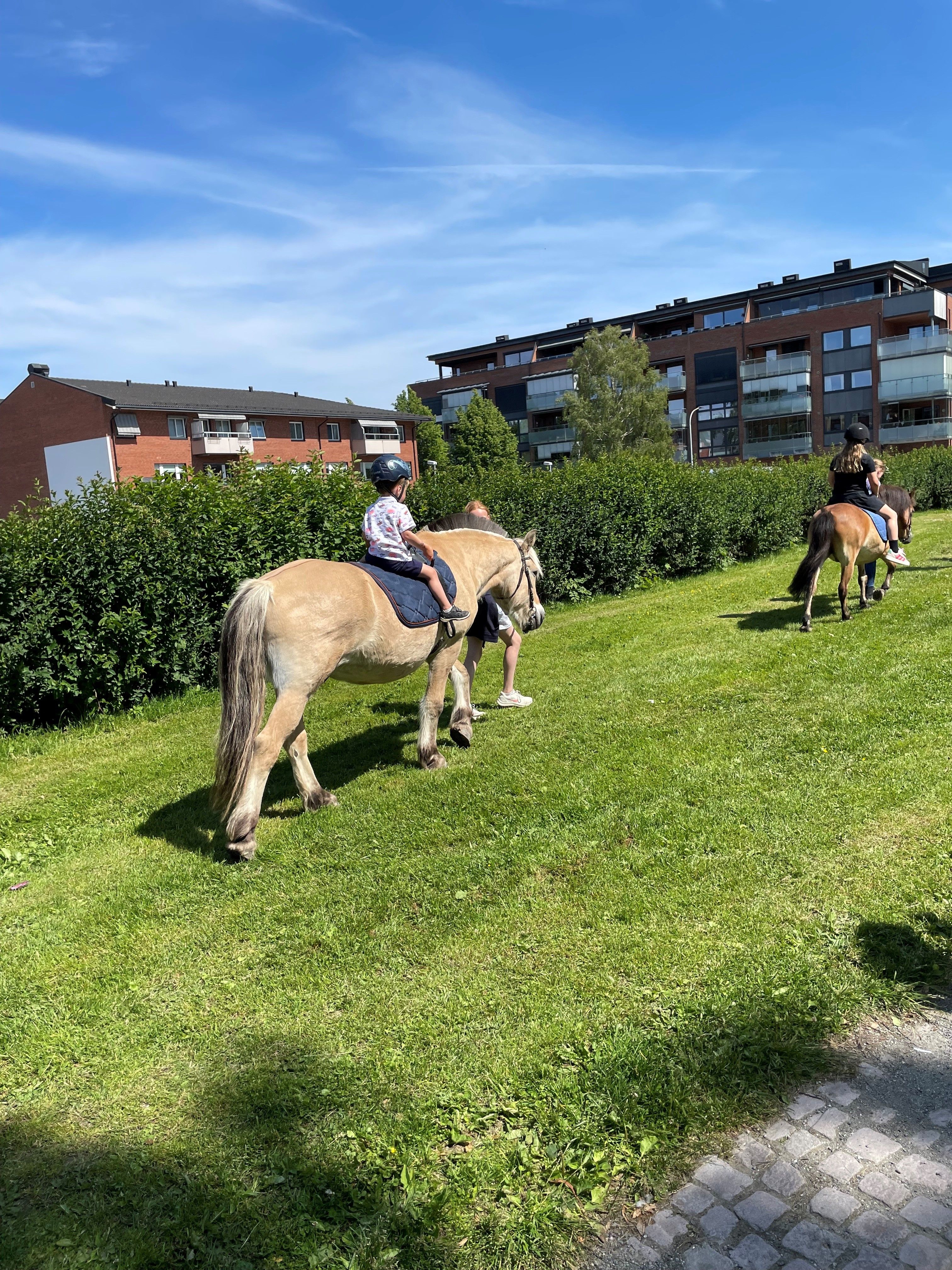 Barn på ponni​​​​‌﻿‍﻿​‍​‍‌‍﻿﻿‌﻿​‍‌‍‍‌‌‍‌﻿‌‍‍‌‌‍﻿‍​‍​‍​﻿‍‍​‍​‍‌﻿​﻿‌‍​‌‌‍﻿‍‌‍‍‌‌﻿‌​‌﻿‍‌​‍﻿‍‌‍‍‌‌‍﻿﻿​‍​‍​‍﻿​​‍​‍‌‍‍​‌﻿​‍‌‍‌‌‌‍‌‍​‍​‍​﻿‍‍​‍​‍‌‍‍​‌﻿‌​‌﻿‌​‌﻿​​​﻿‍‍​‍﻿﻿​‍﻿﻿‌‍﻿​‌‍﻿﻿‌‍​﻿‌‍​‌‌‍﻿​‌‍‍​‌‍﻿﻿‌﻿​﻿‌﻿‌​​﻿‍‍​﻿​﻿​﻿​﻿​﻿​﻿​﻿​﻿​‍﻿﻿‌‍‍‌‌‍﻿‍‌﻿‌​‌‍‌‌‌‍﻿‍‌﻿‌​​‍﻿﻿‌‍‌‌‌‍‌​‌‍‍‌‌﻿‌​​‍﻿﻿‌‍﻿‌‌‍﻿﻿‌‍‌​‌‍‌‌​﻿﻿‌‌﻿​​‌﻿​‍‌‍‌‌‌﻿​﻿‌‍‌‌‌‍﻿‍‌﻿‌​‌‍​‌‌﻿‌​‌‍‍‌‌‍﻿﻿‌‍﻿‍​﻿‍﻿‌‍‍‌‌‍‌​​﻿﻿‌‌‍‌‍‌‍‌‌‌‍‌‌​﻿‌‌​﻿​‌‌‍​﻿​﻿​‍​﻿​‌​‍﻿‌‌‍‌‌​﻿​‍​﻿‌﻿​﻿​​​‍﻿‌​﻿‌​‌‍‌​‌‍‌​​﻿​‍​‍﻿‌‌‍​‌​﻿​‍​﻿‍​‌‍​‍​‍﻿‌‌‍​‌​﻿​​​﻿‌‌​﻿​​‌‍‌‌​﻿​‍‌‍‌​‌‍‌‍‌‍​‍​﻿​​‌‍‌‌​﻿‍​​﻿‍﻿‌﻿‌​‌﻿‍‌‌﻿​​‌‍‌‌​﻿﻿‌‌﻿​​‌‍﻿﻿‌﻿​﻿‌﻿‌​​﻿‍﻿‌﻿​​‌‍​‌‌﻿‌​‌‍‍​​﻿﻿‌‌‍​‍‌‍﻿﻿‌‍‌​‌﻿‍‌​‍‌‌​﻿‌‌‌​​‍‌‌﻿﻿‌‍‍﻿‌‍‌‌‌﻿‍‌​‍‌‌​﻿​﻿‌​‌​​‍‌‌​﻿​﻿‌​‌​​‍‌‌​﻿​‍​﻿​‍‌‍‌‌‌‍‌‌​﻿‍​‌‍​‌‌‍‌‍​﻿‌﻿​﻿‌‍‌‍‌​​﻿‌﻿​﻿‌​​﻿‍‌‌‍‌‍​‍‌‌​﻿​‍​﻿​‍​‍‌‌​﻿‌‌‌​‌​​‍﻿‍‌‍​‌‌‍﻿​‌﻿‌​​﻿﻿﻿‌‍​‍‌‍​‌‌﻿​﻿‌‍‌‌‌‌‌‌‌﻿​‍‌‍﻿​​﻿﻿‌‌‍‍​‌﻿‌​‌﻿‌​‌﻿​​​‍‌‌​﻿​﻿‌​​‌​‍‌‌​﻿​‍‌​‌‍​‍‌‌​﻿​‍‌​‌‍‌‍﻿​‌‍﻿﻿‌‍​﻿‌‍​‌‌‍﻿​‌‍‍​‌‍﻿﻿‌﻿​﻿‌﻿‌​​‍‌‌​﻿​﻿‌​​‌​﻿​﻿​﻿​﻿​﻿​﻿​﻿​﻿​‍‌‍‌‍‍‌‌‍‌​​﻿﻿‌‌‍‌‍‌‍‌‌‌‍‌‌​﻿‌‌​﻿​‌‌‍​﻿​﻿​‍​﻿​‌​‍﻿‌‌‍‌‌​﻿​‍​﻿‌﻿​﻿​​​‍﻿‌​﻿‌​‌‍‌​‌‍‌​​﻿​‍​‍﻿‌‌‍​‌​﻿​‍​﻿‍​‌‍​‍​‍﻿‌‌‍​‌​﻿​​​﻿‌‌​﻿​​‌‍‌‌​﻿​‍‌‍‌​‌‍‌‍‌‍​‍​﻿​​‌‍‌‌​﻿‍​​‍‌‍‌﻿‌​‌﻿‍‌‌﻿​​‌‍‌‌​﻿﻿‌‌﻿​​‌‍﻿﻿‌﻿​﻿‌﻿‌​​‍‌‍‌﻿​​‌‍​‌‌﻿‌​‌‍‍​​﻿﻿‌‌‍​‍‌‍﻿﻿‌‍‌​‌﻿‍‌​‍‌‌​﻿‌‌‌​​‍‌‌﻿﻿‌‍‍﻿‌‍‌‌‌﻿‍‌​‍‌‌​﻿​﻿‌​‌​​‍‌‌​﻿​﻿‌​‌​​‍‌‌​﻿​‍​﻿​‍‌‍‌‌‌‍‌‌​﻿‍​‌‍​‌‌‍‌‍​﻿‌﻿​﻿‌‍‌‍‌​​﻿‌﻿​﻿‌​​﻿‍‌‌‍‌‍​‍‌‌​﻿​‍​﻿​‍​‍‌‌​﻿‌‌‌​‌​​‍﻿‍‌‍​‌‌‍﻿​‌﻿‌​​‍‌‍‌﻿​​‌‍‌‌‌﻿​‍‌﻿​﻿‌﻿​​‌‍‌‌‌‍​﻿‌﻿‌​‌‍‍‌‌﻿‌‍‌‍‌‌​﻿﻿‌‌﻿​​‌﻿‌‌‌‍​‍‌‍﻿​‌‍‍‌‌﻿​﻿‌‍‍​‌‍‌‌‌‍‌​​‍​‍‌﻿﻿‌