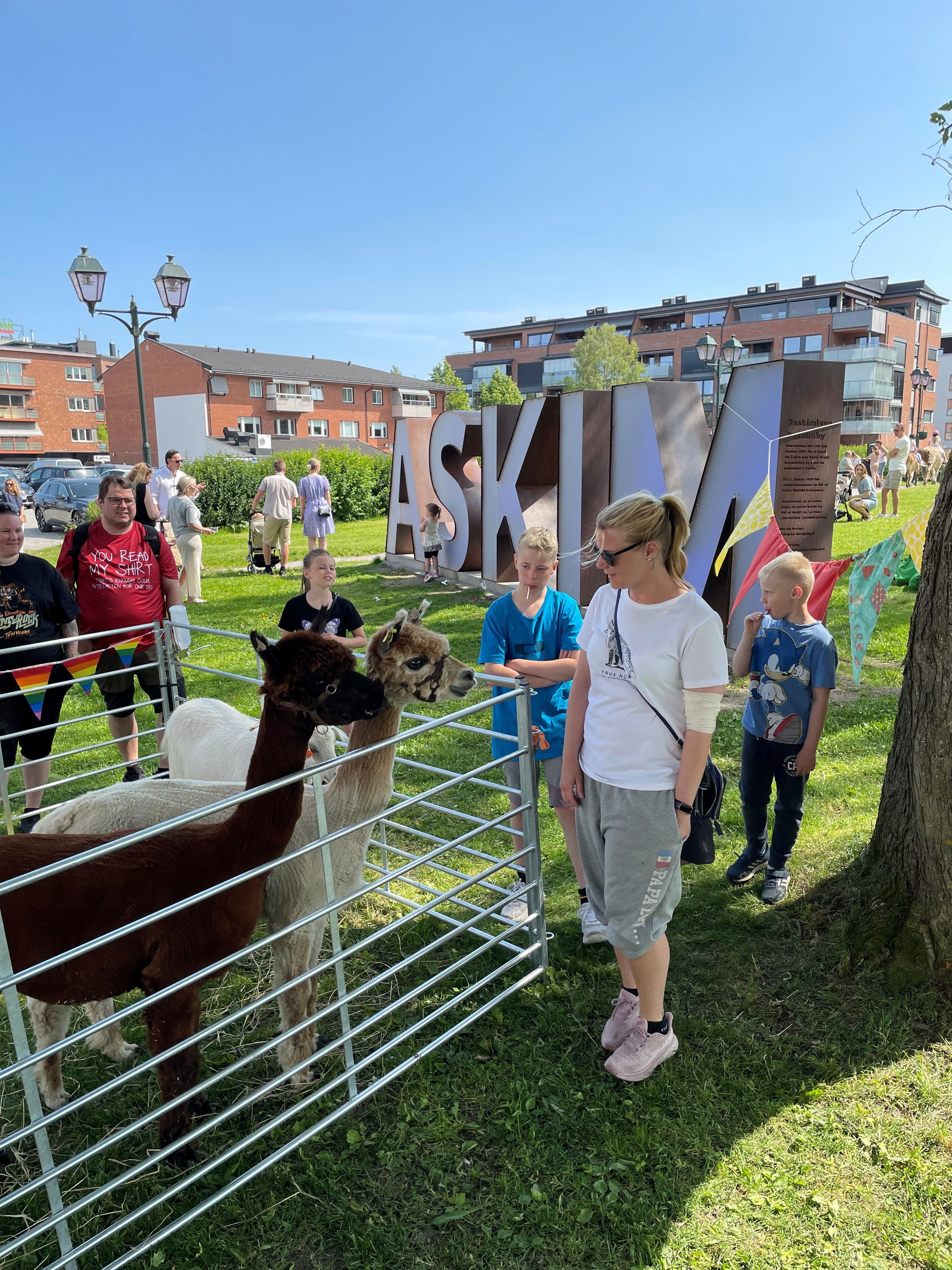 Alpakkaer i parken​​​​‌﻿‍﻿​‍​‍‌‍﻿﻿‌﻿​‍‌‍‍‌‌‍‌﻿‌‍‍‌‌‍﻿‍​‍​‍​﻿‍‍​‍​‍‌﻿​﻿‌‍​‌‌‍﻿‍‌‍‍‌‌﻿‌​‌﻿‍‌​‍﻿‍‌‍‍‌‌‍﻿﻿​‍​‍​‍﻿​​‍​‍‌‍‍​‌﻿​‍‌‍‌‌‌‍‌‍​‍​‍​﻿‍‍​‍​‍‌‍‍​‌﻿‌​‌﻿‌​‌﻿​​​﻿‍‍​‍﻿﻿​‍﻿﻿‌‍﻿​‌‍﻿﻿‌‍​﻿‌‍​‌‌‍﻿​‌‍‍​‌‍﻿﻿‌﻿​﻿‌﻿‌​​﻿‍‍​﻿​﻿​﻿​﻿​﻿​﻿​﻿​﻿​‍﻿﻿‌‍‍‌‌‍﻿‍‌﻿‌​‌‍‌‌‌‍﻿‍‌﻿‌​​‍﻿﻿‌‍‌‌‌‍‌​‌‍‍‌‌﻿‌​​‍﻿﻿‌‍﻿‌‌‍﻿﻿‌‍‌​‌‍‌‌​﻿﻿‌‌﻿​​‌﻿​‍‌‍‌‌‌﻿​﻿‌‍‌‌‌‍﻿‍‌﻿‌​‌‍​‌‌﻿‌​‌‍‍‌‌‍﻿﻿‌‍﻿‍​﻿‍﻿‌‍‍‌‌‍‌​​﻿﻿‌‌‍‌‍‌‍‌‌‌‍‌‌​﻿‌‌​﻿​‌‌‍​﻿​﻿​‍​﻿​‌​‍﻿‌‌‍‌‌​﻿​‍​﻿‌﻿​﻿​​​‍﻿‌​﻿‌​‌‍‌​‌‍‌​​﻿​‍​‍﻿‌‌‍​‌​﻿​‍​﻿‍​‌‍​‍​‍﻿‌‌‍​‌​﻿​​​﻿‌‌​﻿​​‌‍‌‌​﻿​‍‌‍‌​‌‍‌‍‌‍​‍​﻿​​‌‍‌‌​﻿‍​​﻿‍﻿‌﻿‌​‌﻿‍‌‌﻿​​‌‍‌‌​﻿﻿‌‌﻿​​‌‍﻿﻿‌﻿​﻿‌﻿‌​​﻿‍﻿‌﻿​​‌‍​‌‌﻿‌​‌‍‍​​﻿﻿‌‌‍​‍‌‍﻿﻿‌‍‌​‌﻿‍‌​‍‌‌​﻿‌‌‌​​‍‌‌﻿﻿‌‍‍﻿‌‍‌‌‌﻿‍‌​‍‌‌​﻿​﻿‌​‌​​‍‌‌​﻿​﻿‌​‌​​‍‌‌​﻿​‍​﻿​‍​﻿‍​​﻿‌​‌‍‌​‌‍​‍​﻿‌‌​﻿‌‌​﻿‌‍​﻿‌​‌‍​‌‌‍​‍‌‍‌‌​﻿‌﻿​‍‌‌​﻿​‍​﻿​‍​‍‌‌​﻿‌‌‌​‌​​‍﻿‍‌‍​‌‌‍﻿​‌﻿‌​​﻿﻿﻿‌‍​‍‌‍​‌‌﻿​﻿‌‍‌‌‌‌‌‌‌﻿​‍‌‍﻿​​﻿﻿‌‌‍‍​‌﻿‌​‌﻿‌​‌﻿​​​‍‌‌​﻿​﻿‌​​‌​‍‌‌​﻿​‍‌​‌‍​‍‌‌​﻿​‍‌​‌‍‌‍﻿​‌‍﻿﻿‌‍​﻿‌‍​‌‌‍﻿​‌‍‍​‌‍﻿﻿‌﻿​﻿‌﻿‌​​‍‌‌​﻿​﻿‌​​‌​﻿​﻿​﻿​﻿​﻿​﻿​﻿​﻿​‍‌‍‌‍‍‌‌‍‌​​﻿﻿‌‌‍‌‍‌‍‌‌‌‍‌‌​﻿‌‌​﻿​‌‌‍​﻿​﻿​‍​﻿​‌​‍﻿‌‌‍‌‌​﻿​‍​﻿‌﻿​﻿​​​‍﻿‌​﻿‌​‌‍‌​‌‍‌​​﻿​‍​‍﻿‌‌‍​‌​﻿​‍​﻿‍​‌‍​‍​‍﻿‌‌‍​‌​﻿​​​﻿‌‌​﻿​​‌‍‌‌​﻿​‍‌‍‌​‌‍‌‍‌‍​‍​﻿​​‌‍‌‌​﻿‍​​‍‌‍‌﻿‌​‌﻿‍‌‌﻿​​‌‍‌‌​﻿﻿‌‌﻿​​‌‍﻿﻿‌﻿​﻿‌﻿‌​​‍‌‍‌﻿​​‌‍​‌‌﻿‌​‌‍‍​​﻿﻿‌‌‍​‍‌‍﻿﻿‌‍‌​‌﻿‍‌​‍‌‌​﻿‌‌‌​​‍‌‌﻿﻿‌‍‍﻿‌‍‌‌‌﻿‍‌​‍‌‌​﻿​﻿‌​‌​​‍‌‌​﻿​﻿‌​‌​​‍‌‌​﻿​‍​﻿​‍​﻿‍​​﻿‌​‌‍‌​‌‍​‍​﻿‌‌​﻿‌‌​﻿‌‍​﻿‌​‌‍​‌‌‍​‍‌‍‌‌​﻿‌﻿​‍‌‌​﻿​‍​﻿​‍​‍‌‌​﻿‌‌‌​‌​​‍﻿‍‌‍​‌‌‍﻿​‌﻿‌​​‍‌‍‌﻿​​‌‍‌‌‌﻿​‍‌﻿​﻿‌﻿​​‌‍‌‌‌‍​﻿‌﻿‌​‌‍‍‌‌﻿‌‍‌‍‌‌​﻿﻿‌‌﻿​​‌﻿‌‌‌‍​‍‌‍﻿​‌‍‍‌‌﻿​﻿‌‍‍​‌‍‌‌‌‍‌​​‍​‍‌﻿﻿‌