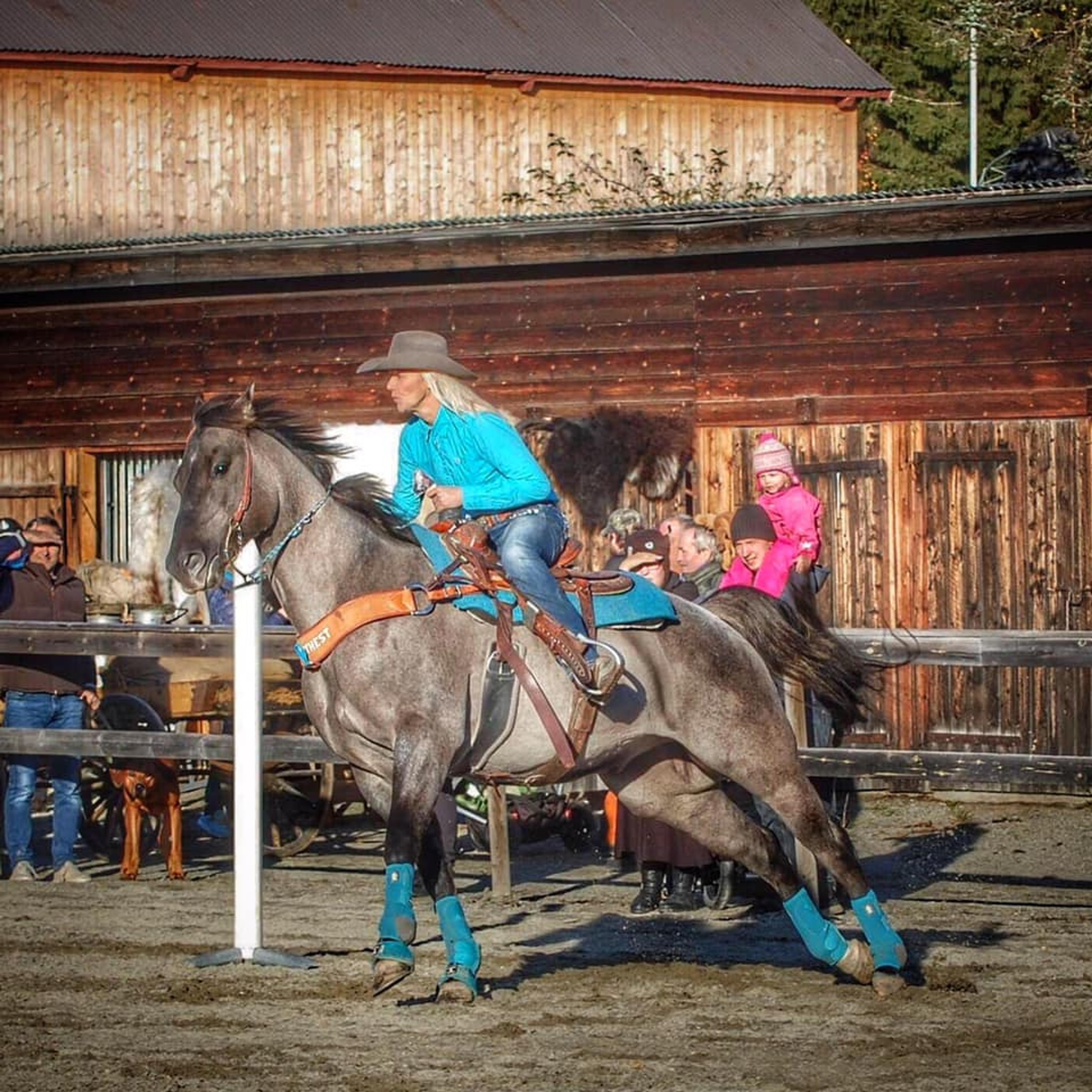 En dame på hest​​​​‌﻿‍﻿​‍​‍‌‍﻿﻿‌﻿​‍‌‍‍‌‌‍‌﻿‌‍‍‌‌‍﻿‍​‍​‍​﻿‍‍​‍​‍‌﻿​﻿‌‍​‌‌‍﻿‍‌‍‍‌‌﻿‌​‌﻿‍‌​‍﻿‍‌‍‍‌‌‍﻿﻿​‍​‍​‍﻿​​‍​‍‌‍‍​‌﻿​‍‌‍‌‌‌‍‌‍​‍​‍​﻿‍‍​‍​‍‌‍‍​‌﻿‌​‌﻿‌​‌﻿​​​﻿‍‍​‍﻿﻿​‍﻿﻿‌‍﻿​‌‍﻿﻿‌‍​﻿‌‍​‌‌‍﻿​‌‍‍​‌‍﻿﻿‌﻿​﻿‌﻿‌​​﻿‍‍​﻿​﻿​﻿​﻿​﻿​﻿​﻿​﻿​‍﻿﻿‌‍‍‌‌‍﻿‍‌﻿‌​‌‍‌‌‌‍﻿‍‌﻿‌​​‍﻿﻿‌‍‌‌‌‍‌​‌‍‍‌‌﻿‌​​‍﻿﻿‌‍﻿‌‌‍﻿﻿‌‍‌​‌‍‌‌​﻿﻿‌‌﻿​​‌﻿​‍‌‍‌‌‌﻿​﻿‌‍‌‌‌‍﻿‍‌﻿‌​‌‍​‌‌﻿‌​‌‍‍‌‌‍﻿﻿‌‍﻿‍​﻿‍﻿‌‍‍‌‌‍‌​​﻿﻿‌​﻿​‍‌‍‌​​﻿‍​​﻿‌﻿​﻿‌﻿‌‍‌​​﻿‌‍‌‍‌​​‍﻿‌​﻿​﻿​﻿‍‌​﻿​‍​﻿‌​​‍﻿‌​﻿‌​​﻿​​​﻿​﻿​﻿‌‍​‍﻿‌​﻿‍​​﻿‌‌‌‍​‌‌‍‌‌​‍﻿‌​﻿‌﻿​﻿‌‍​﻿​​​﻿​​​﻿​﻿‌‍‌‍‌‍‌​‌‍​﻿‌‍​‌​﻿‌‌‌‍‌‍‌‍‌‌​﻿‍﻿‌﻿‌​‌﻿‍‌‌﻿​​‌‍‌‌​﻿﻿‌‌﻿​​‌‍﻿﻿‌﻿​﻿‌﻿‌​​﻿‍﻿‌﻿​​‌‍​‌‌﻿‌​‌‍‍​​﻿﻿‌‌‍​‍‌‍﻿﻿‌‍‌​‌﻿‍‌​‍‌‌​﻿‌‌‌​​‍‌‌﻿﻿‌‍‍﻿‌‍‌‌‌﻿‍‌​‍‌‌​﻿​﻿‌​‌​​‍‌‌​﻿​﻿‌​‌​​‍‌‌​﻿​‍​﻿​‍‌‍​‌‌‍​‌​﻿​‌​﻿​﻿‌‍​‌​﻿‌​​﻿‌​‌‍​‍‌‍​﻿​﻿‌‌‌‍​﻿​﻿‍​​‍‌‌​﻿​‍​﻿​‍​‍‌‌​﻿‌‌‌​‌​​‍﻿‍‌‍​‌‌‍﻿​‌﻿‌​​﻿﻿﻿‌‍​‍‌‍​‌‌﻿​﻿‌‍‌‌‌‌‌‌‌﻿​‍‌‍﻿​​﻿﻿‌‌‍‍​‌﻿‌​‌﻿‌​‌﻿​​​‍‌‌​﻿​﻿‌​​‌​‍‌‌​﻿​‍‌​‌‍​‍‌‌​﻿​‍‌​‌‍‌‍﻿​‌‍﻿﻿‌‍​﻿‌‍​‌‌‍﻿​‌‍‍​‌‍﻿﻿‌﻿​﻿‌﻿‌​​‍‌‌​﻿​﻿‌​​‌​﻿​﻿​﻿​﻿​﻿​﻿​﻿​﻿​‍‌‍‌‍‍‌‌‍‌​​﻿﻿‌​﻿​‍‌‍‌​​﻿‍​​﻿‌﻿​﻿‌﻿‌‍‌​​﻿‌‍‌‍‌​​‍﻿‌​﻿​﻿​﻿‍‌​﻿​‍​﻿‌​​‍﻿‌​﻿‌​​﻿​​​﻿​﻿​﻿‌‍​‍﻿‌​﻿‍​​﻿‌‌‌‍​‌‌‍‌‌​‍﻿‌​﻿‌﻿​﻿‌‍​﻿​​​﻿​​​﻿​﻿‌‍‌‍‌‍‌​‌‍​﻿‌‍​‌​﻿‌‌‌‍‌‍‌‍‌‌​‍‌‍‌﻿‌​‌﻿‍‌‌﻿​​‌‍‌‌​﻿﻿‌‌﻿​​‌‍﻿﻿‌﻿​﻿‌﻿‌​​‍‌‍‌﻿​​‌‍​‌‌﻿‌​‌‍‍​​﻿﻿‌‌‍​‍‌‍﻿﻿‌‍‌​‌﻿‍‌​‍‌‌​﻿‌‌‌​​‍‌‌﻿﻿‌‍‍﻿‌‍‌‌‌﻿‍‌​‍‌‌​﻿​﻿‌​‌​​‍‌‌​﻿​﻿‌​‌​​‍‌‌​﻿​‍​﻿​‍‌‍​‌‌‍​‌​﻿​‌​﻿​﻿‌‍​‌​﻿‌​​﻿‌​‌‍​‍‌‍​﻿​﻿‌‌‌‍​﻿​﻿‍​​‍‌‌​﻿​‍​﻿​‍​‍‌‌​﻿‌‌‌​‌​​‍﻿‍‌‍​‌‌‍﻿​‌﻿‌​​‍‌‍‌﻿​​‌‍‌‌‌﻿​‍‌﻿​﻿‌﻿​​‌‍‌‌‌‍​﻿‌﻿‌​‌‍‍‌‌﻿‌‍‌‍‌‌​﻿﻿‌‌﻿​​‌﻿‌‌‌‍​‍‌‍﻿​‌‍‍‌‌﻿​﻿‌‍‍​‌‍‌‌‌‍‌​​‍​‍‌﻿﻿‌