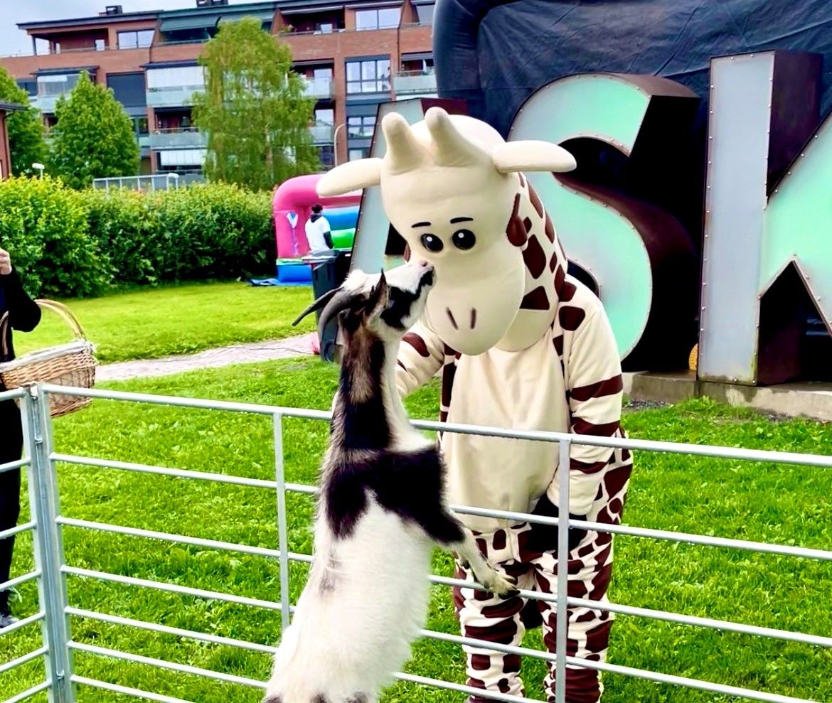 En maskot som hilser på en geit