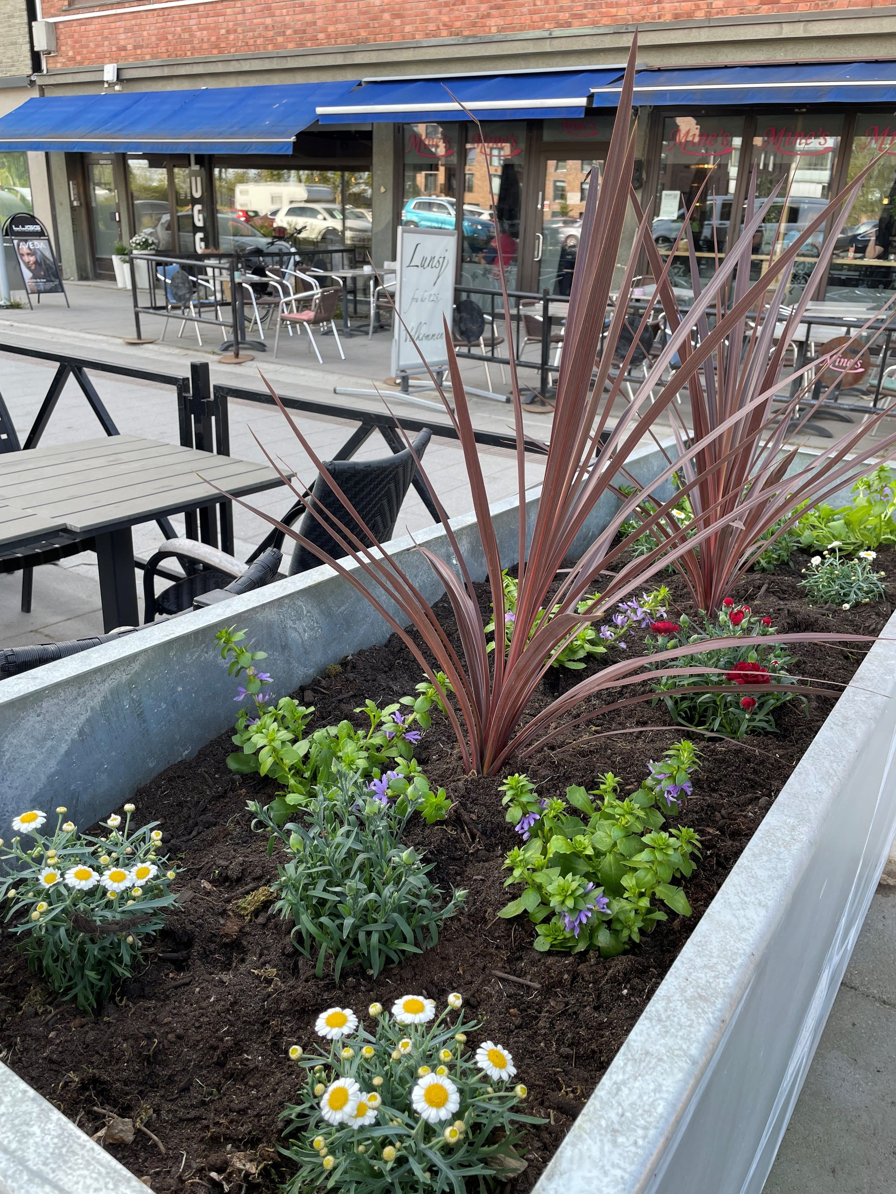Blomster i en kasse​​​​‌﻿‍﻿​‍​‍‌‍﻿﻿‌﻿​‍‌‍‍‌‌‍‌﻿‌‍‍‌‌‍﻿‍​‍​‍​﻿‍‍​‍​‍‌﻿​﻿‌‍​‌‌‍﻿‍‌‍‍‌‌﻿‌​‌﻿‍‌​‍﻿‍‌‍‍‌‌‍﻿﻿​‍​‍​‍﻿​​‍​‍‌‍‍​‌﻿​‍‌‍‌‌‌‍‌‍​‍​‍​﻿‍‍​‍​‍‌‍‍​‌﻿‌​‌﻿‌​‌﻿​​​﻿‍‍​‍﻿﻿​‍﻿﻿‌‍﻿​‌‍﻿﻿‌‍​﻿‌‍​‌‌‍﻿​‌‍‍​‌‍﻿﻿‌﻿​﻿‌﻿‌​​﻿‍‍​﻿​﻿​﻿​﻿​﻿​﻿​﻿​﻿​‍﻿﻿‌‍‍‌‌‍﻿‍‌﻿‌​‌‍‌‌‌‍﻿‍‌﻿‌​​‍﻿﻿‌‍‌‌‌‍‌​‌‍‍‌‌﻿‌​​‍﻿﻿‌‍﻿‌‌‍﻿﻿‌‍‌​‌‍‌‌​﻿﻿‌‌﻿​​‌﻿​‍‌‍‌‌‌﻿​﻿‌‍‌‌‌‍﻿‍‌﻿‌​‌‍​‌‌﻿‌​‌‍‍‌‌‍﻿﻿‌‍﻿‍​﻿‍﻿‌‍‍‌‌‍‌​​﻿﻿‌​﻿‌﻿​﻿‌﻿​﻿​‍​﻿​‌​﻿‌‍​﻿‌﻿‌‍​‌​﻿‌‍​‍﻿‌‌‍​﻿​﻿‌​​﻿​﻿​﻿‌‍​‍﻿‌​﻿‌​‌‍​﻿​﻿‍‌‌‍‌​​‍﻿‌‌‍​‍​﻿​﻿​﻿‌‍‌‍‌​​‍﻿‌​﻿​‌​﻿‌‌​﻿‌‍‌‍‌‌‌‍​‌​﻿​​​﻿‍​​﻿‍‌​﻿‌﻿​﻿‌‌‌‍​﻿‌‍​‌​﻿‍﻿‌﻿‌​‌﻿‍‌‌﻿​​‌‍‌‌​﻿﻿‌‌﻿​​‌‍﻿﻿‌﻿​﻿‌﻿‌​​﻿‍﻿‌﻿​​‌‍​‌‌﻿‌​‌‍‍​​﻿﻿‌‌‍​‍‌‍﻿﻿‌‍‌​‌﻿‍‌​‍‌‌​﻿‌‌‌​​‍‌‌﻿﻿‌‍‍﻿‌‍‌‌‌﻿‍‌​‍‌‌​﻿​﻿‌​‌​​‍‌‌​﻿​﻿‌​‌​​‍‌‌​﻿​‍​﻿​‍​﻿‌​​﻿‌‍​﻿​﻿​﻿‍‌​﻿‌‌​﻿‌‌​﻿‌​​﻿‍‌‌‍​‌‌‍‌​‌‍​‍‌‍‌‌​‍‌‌​﻿​‍​﻿​‍​‍‌‌​﻿‌‌‌​‌​​‍﻿‍‌‍​‌‌‍﻿​‌﻿‌​​﻿﻿﻿‌‍​‍‌‍​‌‌﻿​﻿‌‍‌‌‌‌‌‌‌﻿​‍‌‍﻿​​﻿﻿‌‌‍‍​‌﻿‌​‌﻿‌​‌﻿​​​‍‌‌​﻿​﻿‌​​‌​‍‌‌​﻿​‍‌​‌‍​‍‌‌​﻿​‍‌​‌‍‌‍﻿​‌‍﻿﻿‌‍​﻿‌‍​‌‌‍﻿​‌‍‍​‌‍﻿﻿‌﻿​﻿‌﻿‌​​‍‌‌​﻿​﻿‌​​‌​﻿​﻿​﻿​﻿​﻿​﻿​﻿​﻿​‍‌‍‌‍‍‌‌‍‌​​﻿﻿‌​﻿‌﻿​﻿‌﻿​﻿​‍​﻿​‌​﻿‌‍​﻿‌﻿‌‍​‌​﻿‌‍​‍﻿‌‌‍​﻿​﻿‌​​﻿​﻿​﻿‌‍​‍﻿‌​﻿‌​‌‍​﻿​﻿‍‌‌‍‌​​‍﻿‌‌‍​‍​﻿​﻿​﻿‌‍‌‍‌​​‍﻿‌​﻿​‌​﻿‌‌​﻿‌‍‌‍‌‌‌‍​‌​﻿​​​﻿‍​​﻿‍‌​﻿‌﻿​﻿‌‌‌‍​﻿‌‍​‌​‍‌‍‌﻿‌​‌﻿‍‌‌﻿​​‌‍‌‌​﻿﻿‌‌﻿​​‌‍﻿﻿‌﻿​﻿‌﻿‌​​‍‌‍‌﻿​​‌‍​‌‌﻿‌​‌‍‍​​﻿﻿‌‌‍​‍‌‍﻿﻿‌‍‌​‌﻿‍‌​‍‌‌​﻿‌‌‌​​‍‌‌﻿﻿‌‍‍﻿‌‍‌‌‌﻿‍‌​‍‌‌​﻿​﻿‌​‌​​‍‌‌​﻿​﻿‌​‌​​‍‌‌​﻿​‍​﻿​‍​﻿‌​​﻿‌‍​﻿​﻿​﻿‍‌​﻿‌‌​﻿‌‌​﻿‌​​﻿‍‌‌‍​‌‌‍‌​‌‍​‍‌‍‌‌​‍‌‌​﻿​‍​﻿​‍​‍‌‌​﻿‌‌‌​‌​​‍﻿‍‌‍​‌‌‍﻿​‌﻿‌​​‍‌‍‌﻿​​‌‍‌‌‌﻿​‍‌﻿​﻿‌﻿​​‌‍‌‌‌‍​﻿‌﻿‌​‌‍‍‌‌﻿‌‍‌‍‌‌​﻿﻿‌‌﻿​​‌﻿‌‌‌‍​‍‌‍﻿​‌‍‍‌‌﻿​﻿‌‍‍​‌‍‌‌‌‍‌​​‍​‍‌﻿﻿‌