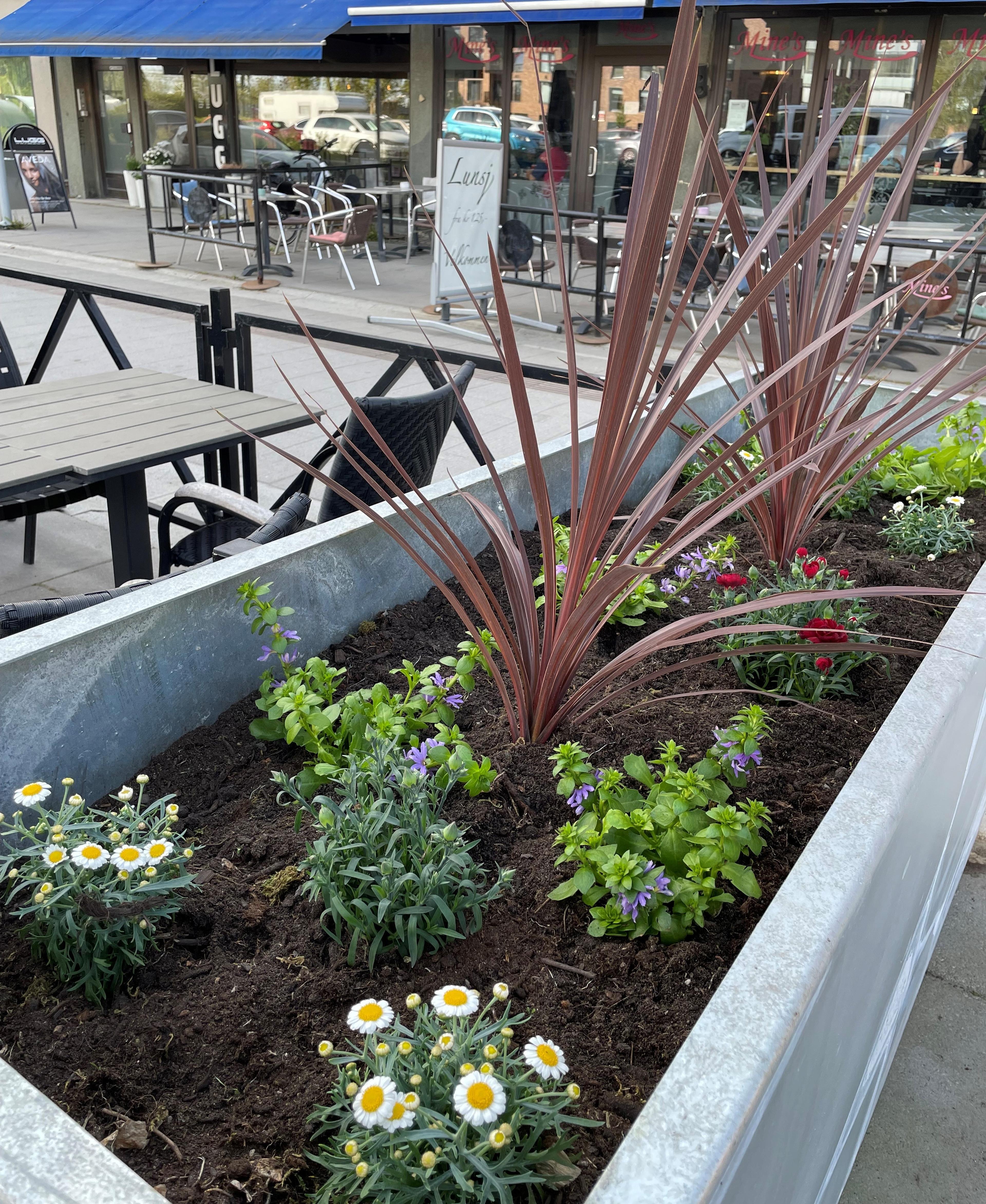 Blomster i en kasse