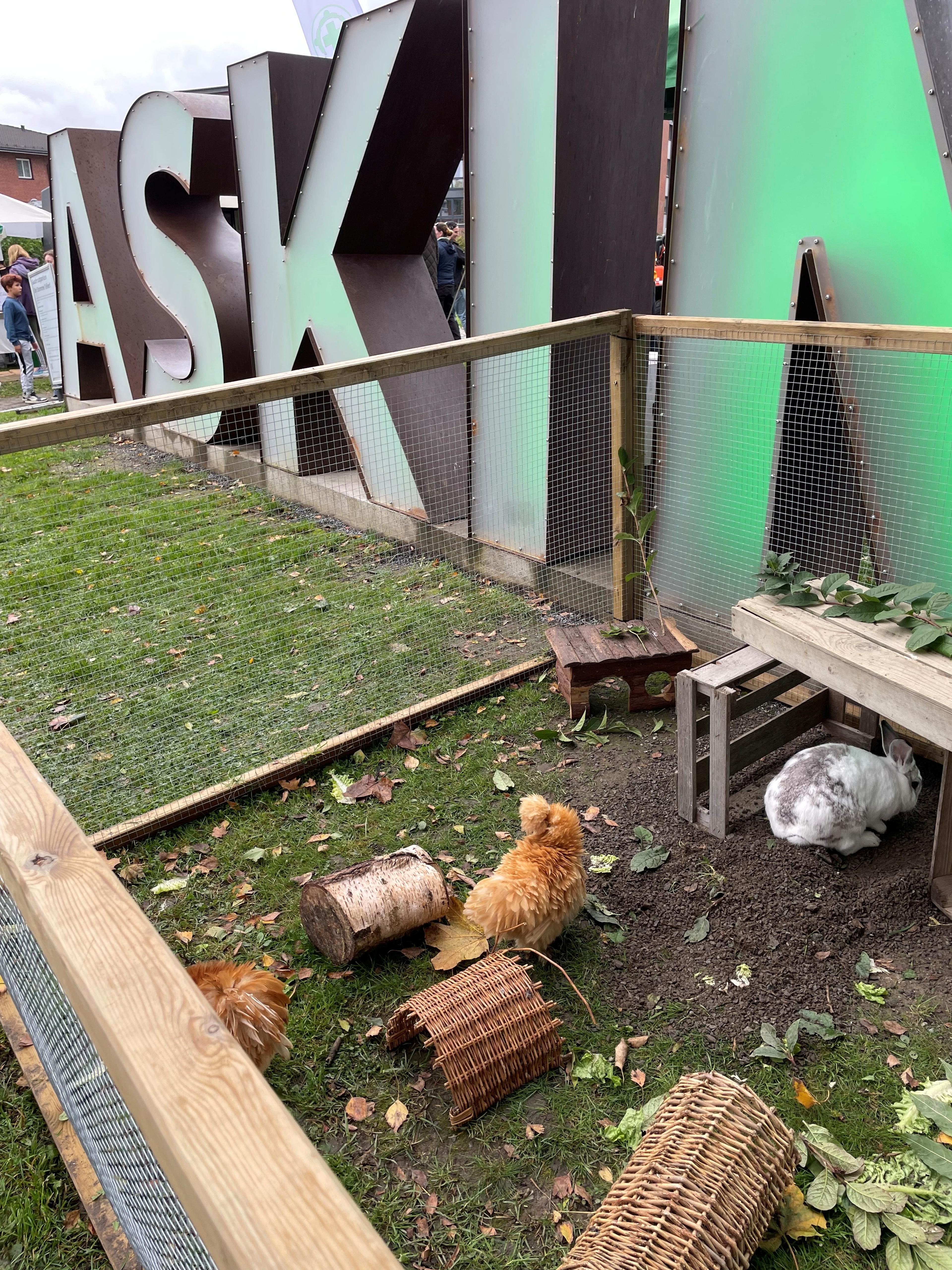 Høns ved Askim bokstavene i parken​​​​‌﻿‍﻿​‍​‍‌‍﻿﻿‌﻿​‍‌‍‍‌‌‍‌﻿‌‍‍‌‌‍﻿‍​‍​‍​﻿‍‍​‍​‍‌﻿​﻿‌‍​‌‌‍﻿‍‌‍‍‌‌﻿‌​‌﻿‍‌​‍﻿‍‌‍‍‌‌‍﻿﻿​‍​‍​‍﻿​​‍​‍‌‍‍​‌﻿​‍‌‍‌‌‌‍‌‍​‍​‍​﻿‍‍​‍​‍‌‍‍​‌﻿‌​‌﻿‌​‌﻿​​​﻿‍‍​‍﻿﻿​‍﻿﻿‌‍﻿​‌‍﻿﻿‌‍​﻿‌‍​‌‌‍﻿​‌‍‍​‌‍﻿﻿‌﻿​﻿‌﻿‌​​﻿‍‍​﻿​﻿​﻿​﻿​﻿​﻿​﻿​﻿​‍﻿﻿‌‍‍‌‌‍﻿‍‌﻿‌​‌‍‌‌‌‍﻿‍‌﻿‌​​‍﻿﻿‌‍‌‌‌‍‌​‌‍‍‌‌﻿‌​​‍﻿﻿‌‍﻿‌‌‍﻿﻿‌‍‌​‌‍‌‌​﻿﻿‌‌﻿​​‌﻿​‍‌‍‌‌‌﻿​﻿‌‍‌‌‌‍﻿‍‌﻿‌​‌‍​‌‌﻿‌​‌‍‍‌‌‍﻿﻿‌‍﻿‍​﻿‍﻿‌‍‍‌‌‍‌​​﻿﻿‌​﻿‌﻿​﻿‌‍‌‍‌‍‌‍​‌‌‍‌‍‌‍‌​​﻿​‍​﻿‌﻿​‍﻿‌​﻿‌‍‌‍​‌​﻿‍​​﻿​​​‍﻿‌​﻿‌​‌‍‌‍​﻿​﻿​﻿​﻿​‍﻿‌​﻿‍​‌‍‌‌​﻿​‌‌‍​‍​‍﻿‌‌‍​‍‌‍​﻿‌‍‌‍​﻿‌‍​﻿​‌​﻿​‍‌‍​‍​﻿‌‍​﻿‌‌‌‍‌‌‌‍​‌‌‍‌‍​﻿‍﻿‌﻿‌​‌﻿‍‌‌﻿​​‌‍‌‌​﻿﻿‌‌﻿​​‌‍﻿﻿‌﻿​﻿‌﻿‌​​﻿‍﻿‌﻿​​‌‍​‌‌﻿‌​‌‍‍​​﻿﻿‌‌‍​‍‌‍﻿﻿‌‍‌​‌﻿‍‌​‍‌‌​﻿‌‌‌​​‍‌‌﻿﻿‌‍‍﻿‌‍‌‌‌﻿‍‌​‍‌‌​﻿​﻿‌​‌​​‍‌‌​﻿​﻿‌​‌​​‍‌‌​﻿​‍​﻿​‍​﻿​﻿​﻿‌‌​﻿​﻿​﻿‌​​﻿‍‌​﻿​‍​﻿​‍‌‍‌​‌‍‌‍​﻿​﻿‌‍‌‌​﻿‌​​‍‌‌​﻿​‍​﻿​‍​‍‌‌​﻿‌‌‌​‌​​‍﻿‍‌‍​‌‌‍﻿​‌﻿‌​​﻿﻿﻿‌‍​‍‌‍​‌‌﻿​﻿‌‍‌‌‌‌‌‌‌﻿​‍‌‍﻿​​﻿﻿‌‌‍‍​‌﻿‌​‌﻿‌​‌﻿​​​‍‌‌​﻿​﻿‌​​‌​‍‌‌​﻿​‍‌​‌‍​‍‌‌​﻿​‍‌​‌‍‌‍﻿​‌‍﻿﻿‌‍​﻿‌‍​‌‌‍﻿​‌‍‍​‌‍﻿﻿‌﻿​﻿‌﻿‌​​‍‌‌​﻿​﻿‌​​‌​﻿​﻿​﻿​﻿​﻿​﻿​﻿​﻿​‍‌‍‌‍‍‌‌‍‌​​﻿﻿‌​﻿‌﻿​﻿‌‍‌‍‌‍‌‍​‌‌‍‌‍‌‍‌​​﻿​‍​﻿‌﻿​‍﻿‌​﻿‌‍‌‍​‌​﻿‍​​﻿​​​‍﻿‌​﻿‌​‌‍‌‍​﻿​﻿​﻿​﻿​‍﻿‌​﻿‍​‌‍‌‌​﻿​‌‌‍​‍​‍﻿‌‌‍​‍‌‍​﻿‌‍‌‍​﻿‌‍​﻿​‌​﻿​‍‌‍​‍​﻿‌‍​﻿‌‌‌‍‌‌‌‍​‌‌‍‌‍​‍‌‍‌﻿‌​‌﻿‍‌‌﻿​​‌‍‌‌​﻿﻿‌‌﻿​​‌‍﻿﻿‌﻿​﻿‌﻿‌​​‍‌‍‌﻿​​‌‍​‌‌﻿‌​‌‍‍​​﻿﻿‌‌‍​‍‌‍﻿﻿‌‍‌​‌﻿‍‌​‍‌‌​﻿‌‌‌​​‍‌‌﻿﻿‌‍‍﻿‌‍‌‌‌﻿‍‌​‍‌‌​﻿​﻿‌​‌​​‍‌‌​﻿​﻿‌​‌​​‍‌‌​﻿​‍​﻿​‍​﻿​﻿​﻿‌‌​﻿​﻿​﻿‌​​﻿‍‌​﻿​‍​﻿​‍‌‍‌​‌‍‌‍​﻿​﻿‌‍‌‌​﻿‌​​‍‌‌​﻿​‍​﻿​‍​‍‌‌​﻿‌‌‌​‌​​‍﻿‍‌‍​‌‌‍﻿​‌﻿‌​​‍‌‍‌﻿​​‌‍‌‌‌﻿​‍‌﻿​﻿‌﻿​​‌‍‌‌‌‍​﻿‌﻿‌​‌‍‍‌‌﻿‌‍‌‍‌‌​﻿﻿‌‌﻿​​‌﻿‌‌‌‍​‍‌‍﻿​‌‍‍‌‌﻿​﻿‌‍‍​‌‍‌‌‌‍‌​​‍​‍‌﻿﻿‌