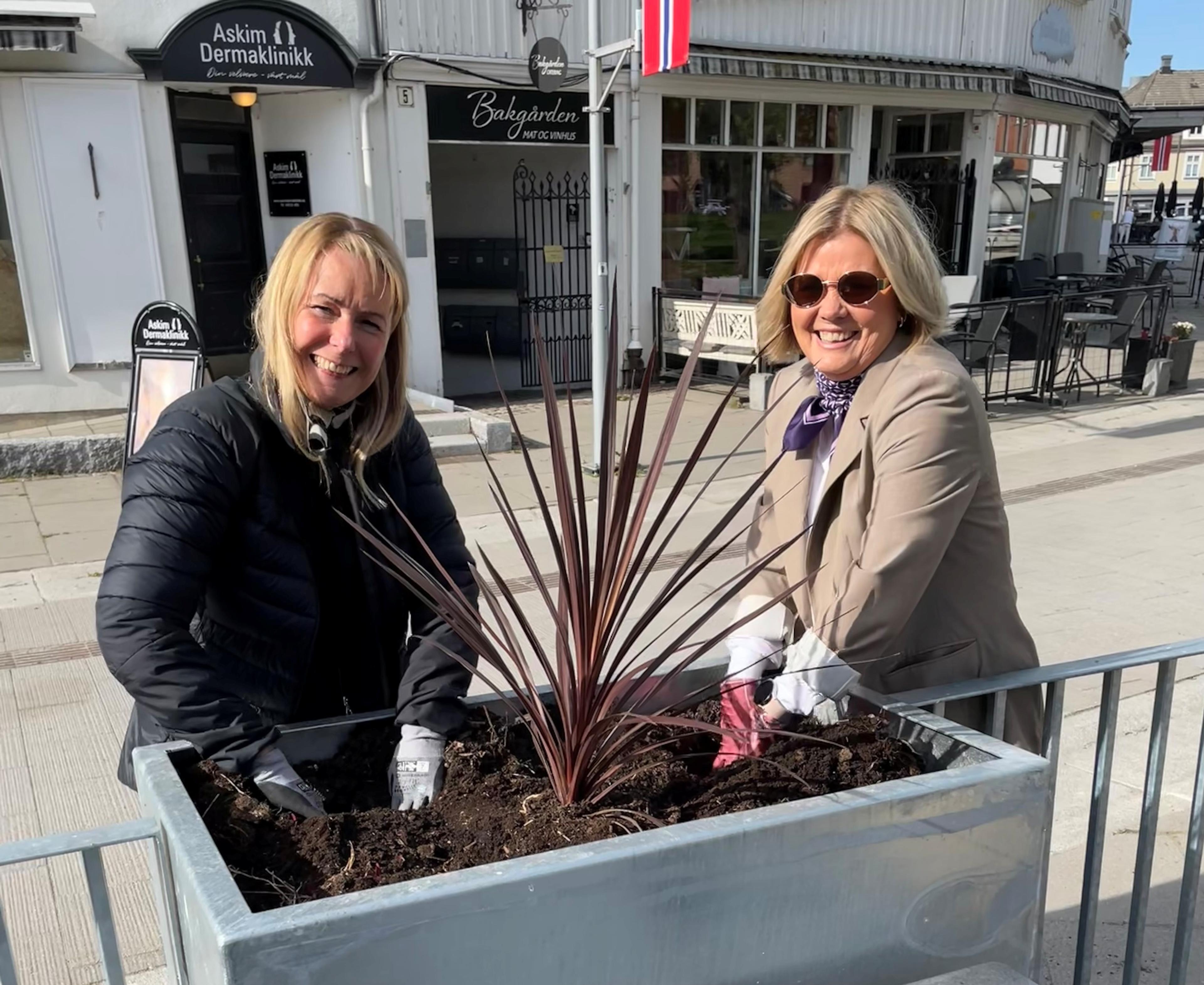Damer på blomsterplanting.