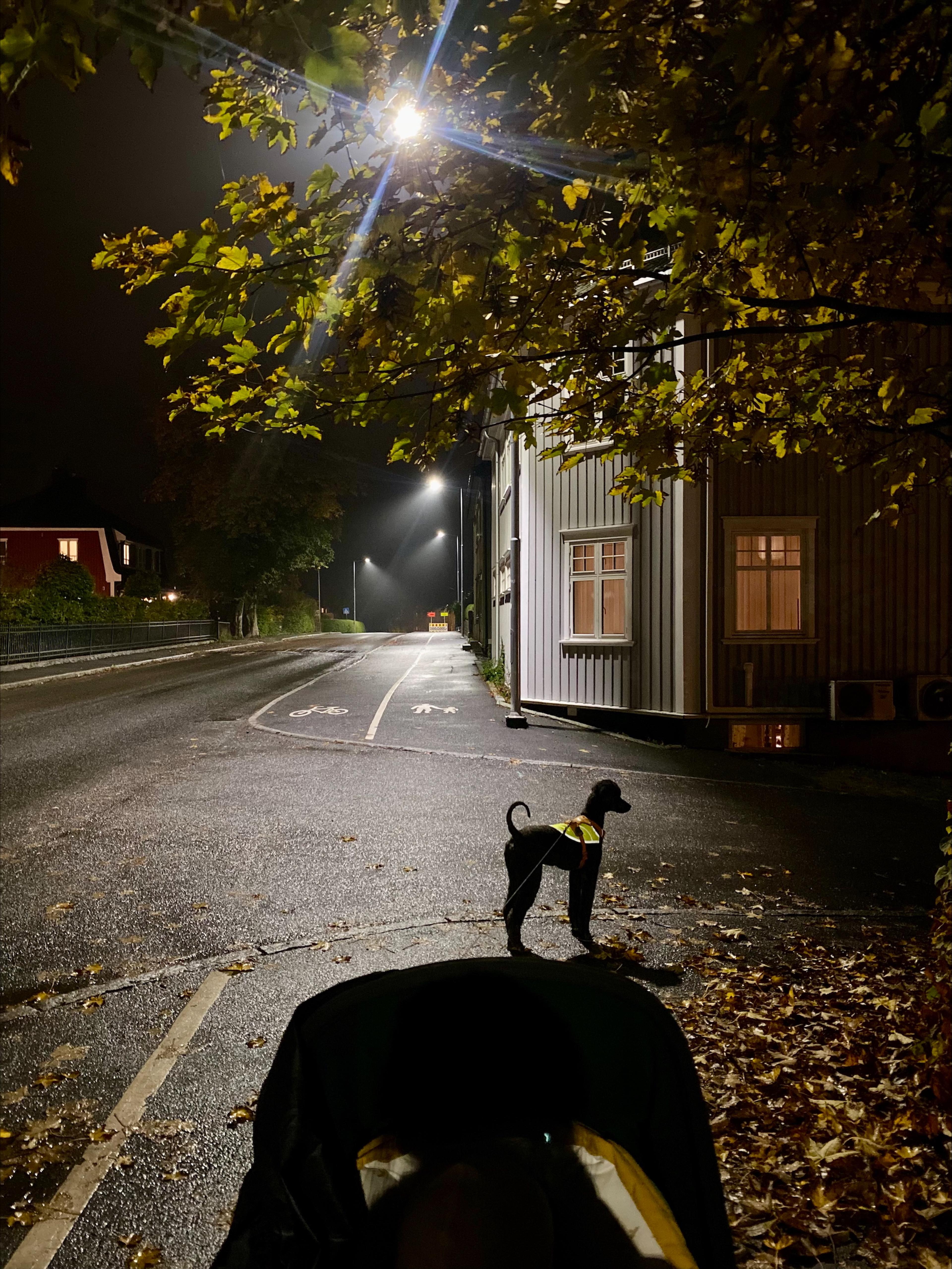 Hund i mørket​​​​‌﻿‍﻿​‍​‍‌‍﻿﻿‌﻿​‍‌‍‍‌‌‍‌﻿‌‍‍‌‌‍﻿‍​‍​‍​﻿‍‍​‍​‍‌﻿​﻿‌‍​‌‌‍﻿‍‌‍‍‌‌﻿‌​‌﻿‍‌​‍﻿‍‌‍‍‌‌‍﻿﻿​‍​‍​‍﻿​​‍​‍‌‍‍​‌﻿​‍‌‍‌‌‌‍‌‍​‍​‍​﻿‍‍​‍​‍‌‍‍​‌﻿‌​‌﻿‌​‌﻿​​​﻿‍‍​‍﻿﻿​‍﻿﻿‌‍﻿​‌‍﻿﻿‌‍​﻿‌‍​‌‌‍﻿​‌‍‍​‌‍﻿﻿‌﻿​﻿‌﻿‌​​﻿‍‍​﻿​﻿​﻿​﻿​﻿​﻿​﻿​﻿​‍﻿﻿‌‍‍‌‌‍﻿‍‌﻿‌​‌‍‌‌‌‍﻿‍‌﻿‌​​‍﻿﻿‌‍‌‌‌‍‌​‌‍‍‌‌﻿‌​​‍﻿﻿‌‍﻿‌‌‍﻿﻿‌‍‌​‌‍‌‌​﻿﻿‌‌﻿​​‌﻿​‍‌‍‌‌‌﻿​﻿‌‍‌‌‌‍﻿‍‌﻿‌​‌‍​‌‌﻿‌​‌‍‍‌‌‍﻿﻿‌‍﻿‍​﻿‍﻿‌‍‍‌‌‍‌​​﻿﻿‌‌‍​‍‌‍​‍​﻿‌‍​﻿‌﻿​﻿​‌​﻿​﻿​﻿‌‌​﻿​‍​‍﻿‌‌‍​﻿​﻿​‌‌‍​﻿‌‍‌‍​‍﻿‌​﻿‌​‌‍​‍​﻿‍‌​﻿‌​​‍﻿‌​﻿‍‌‌‍​﻿‌‍‌‍‌‍​‌​‍﻿‌‌‍​‍‌‍‌​​﻿‌‌​﻿‌​​﻿‌﻿‌‍​‍​﻿​﻿​﻿​​​﻿‍​​﻿​﻿‌‍​‍​﻿‌﻿​﻿‍﻿‌﻿‌​‌﻿‍‌‌﻿​​‌‍‌‌​﻿﻿‌‌﻿​​‌‍﻿﻿‌﻿​﻿‌﻿‌​​﻿‍﻿‌﻿​​‌‍​‌‌﻿‌​‌‍‍​​﻿﻿‌‌‍​‍‌‍﻿﻿‌‍‌​‌﻿‍‌​‍‌‌​﻿‌‌‌​​‍‌‌﻿﻿‌‍‍﻿‌‍‌‌‌﻿‍‌​‍‌‌​﻿​﻿‌​‌​​‍‌‌​﻿​﻿‌​‌​​‍‌‌​﻿​‍​﻿​‍​﻿‌‌​﻿‌﻿​﻿​‌​﻿‌​​﻿‍‌‌‍​﻿​﻿​﻿‌‍‌‍​﻿‍​​﻿‌﻿‌‍‌​‌‍​‍​‍‌‌​﻿​‍​﻿​‍​‍‌‌​﻿‌‌‌​‌​​‍﻿‍‌‍​‌‌‍﻿​‌﻿‌​​﻿﻿﻿‌‍​‍‌‍​‌‌﻿​﻿‌‍‌‌‌‌‌‌‌﻿​‍‌‍﻿​​﻿﻿‌‌‍‍​‌﻿‌​‌﻿‌​‌﻿​​​‍‌‌​﻿​﻿‌​​‌​‍‌‌​﻿​‍‌​‌‍​‍‌‌​﻿​‍‌​‌‍‌‍﻿​‌‍﻿﻿‌‍​﻿‌‍​‌‌‍﻿​‌‍‍​‌‍﻿﻿‌﻿​﻿‌﻿‌​​‍‌‌​﻿​﻿‌​​‌​﻿​﻿​﻿​﻿​﻿​﻿​﻿​﻿​‍‌‍‌‍‍‌‌‍‌​​﻿﻿‌‌‍​‍‌‍​‍​﻿‌‍​﻿‌﻿​﻿​‌​﻿​﻿​﻿‌‌​﻿​‍​‍﻿‌‌‍​﻿​﻿​‌‌‍​﻿‌‍‌‍​‍﻿‌​﻿‌​‌‍​‍​﻿‍‌​﻿‌​​‍﻿‌​﻿‍‌‌‍​﻿‌‍‌‍‌‍​‌​‍﻿‌‌‍​‍‌‍‌​​﻿‌‌​﻿‌​​﻿‌﻿‌‍​‍​﻿​﻿​﻿​​​﻿‍​​﻿​﻿‌‍​‍​﻿‌﻿​‍‌‍‌﻿‌​‌﻿‍‌‌﻿​​‌‍‌‌​﻿﻿‌‌﻿​​‌‍﻿﻿‌﻿​﻿‌﻿‌​​‍‌‍‌﻿​​‌‍​‌‌﻿‌​‌‍‍​​﻿﻿‌‌‍​‍‌‍﻿﻿‌‍‌​‌﻿‍‌​‍‌‌​﻿‌‌‌​​‍‌‌﻿﻿‌‍‍﻿‌‍‌‌‌﻿‍‌​‍‌‌​﻿​﻿‌​‌​​‍‌‌​﻿​﻿‌​‌​​‍‌‌​﻿​‍​﻿​‍​﻿‌‌​﻿‌﻿​﻿​‌​﻿‌​​﻿‍‌‌‍​﻿​﻿​﻿‌‍‌‍​﻿‍​​﻿‌﻿‌‍‌​‌‍​‍​‍‌‌​﻿​‍​﻿​‍​‍‌‌​﻿‌‌‌​‌​​‍﻿‍‌‍​‌‌‍﻿​‌﻿‌​​‍‌‍‌﻿​​‌‍‌‌‌﻿​‍‌﻿​﻿‌﻿​​‌‍‌‌‌‍​﻿‌﻿‌​‌‍‍‌‌﻿‌‍‌‍‌‌​﻿﻿‌‌﻿​​‌﻿‌‌‌‍​‍‌‍﻿​‌‍‍‌‌﻿​﻿‌‍‍​‌‍‌‌‌‍‌​​‍​‍‌﻿﻿‌