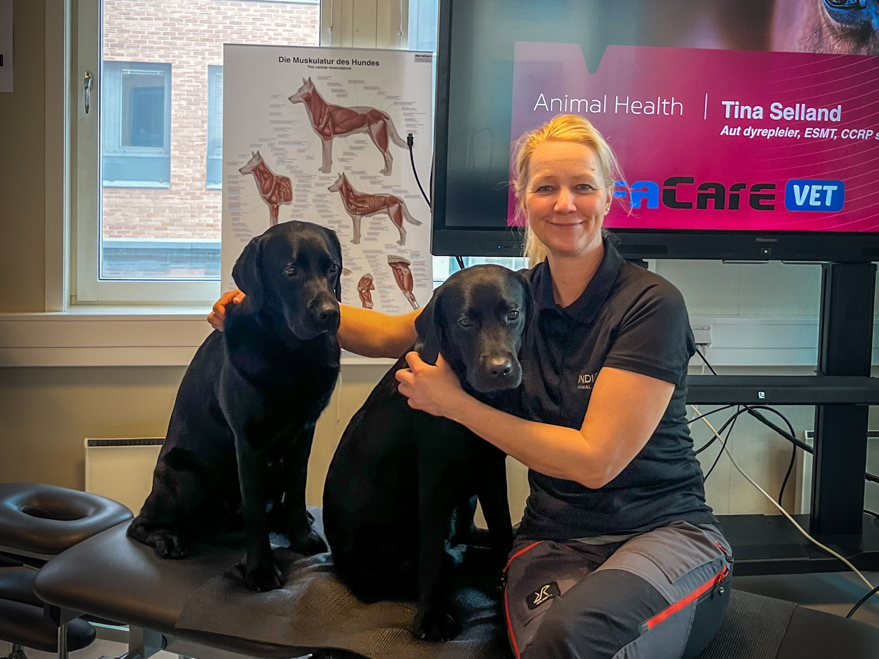 Dame med to svarte hunder