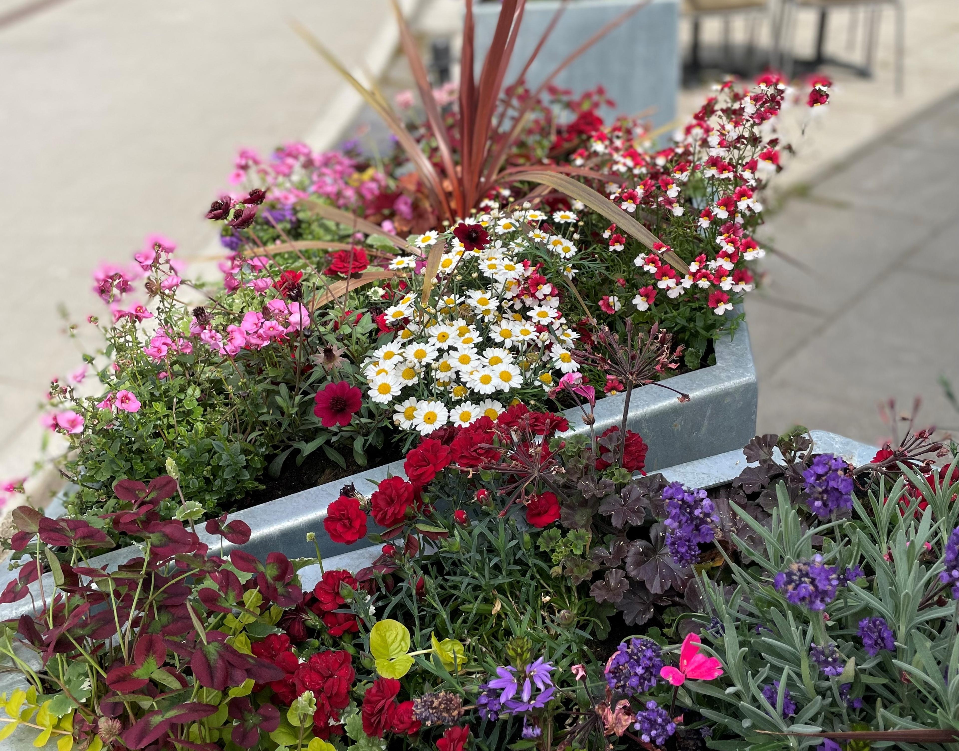 Vakre blomsterβββββο»Ώβο»Ώββββββο»Ώο»Ώβο»Ώβββββββββο»Ώββββββο»Ώββββββο»Ώβββββββο»Ώβο»Ώββββββο»Ώββββββο»Ώβββο»Ώββββο»Ώβββββββο»Ώο»Ώββββββο»Ώββββββββββο»Ώβββββββββββββββο»Ώβββββββββββο»Ώβββο»Ώβββο»Ώβββο»Ώββββο»Ώο»Ώββο»Ώο»Ώββο»Ώβββο»Ώο»Ώβββο»Ώββββββο»Ώβββββββο»Ώο»Ώβο»Ώβο»Ώβο»Ώβββο»Ώβββο»Ώβο»Ώβο»Ώβο»Ώβο»Ώβο»Ώβο»Ώβο»Ώββο»Ώο»Ώββββββο»Ώββο»Ώββββββββο»Ώββο»Ώββββο»Ώο»Ώβββββββββββββο»Ώββββο»Ώο»Ώββο»Ώβββο»Ώο»Ώβββββββββο»Ώο»Ώββο»Ώβββο»Ώβββββββο»Ώβο»Ώββββββο»Ώββο»Ώβββββββο»Ώββββββββο»Ώο»Ώββο»Ώββο»Ώβο»Ώβββββββββο»Ώο»Ώββββββββββο»Ώβββββββο»Ώβββο»Ώβββββββο»Ώββββο»Ώββο»Ώβββββββο»Ώβο»Ώβο»Ώβο»Ώββο»Ώββο»Ώβββββο»Ώβο»Ώβββο»Ώβο»Ώββο»Ώββο»Ώβββο»Ώβββο»Ώβββο»Ώββββο»Ώββββββο»Ώβββββββο»Ώβββο»Ώβββββββββββββββο»Ώβββο»Ώβββββο»Ώβββο»Ώβο»Ώβο»Ώβο»Ώβββο»Ώβββο»Ώβββββββο»Ώο»Ώββο»Ώββββο»Ώο»Ώβο»Ώβο»Ώβο»Ώβββο»Ώβο»Ώβο»Ώβββββββο»Ώβββββββο»Ώο»Ώβββββββο»Ώο»Ώβββββο»Ώβββββββο»Ώββββββββο»Ώο»Ώβββο»Ώβββββο»Ώβββββββο»Ώβο»Ώβββββββββο»Ώβο»Ώβββββββββο»Ώβββο»Ώβββββββο»Ώβββββο»Ώβο»Ώβββο»Ώβββο»Ώβο»Ώβο»Ώβο»Ώβο»Ώβββο»Ώβο»Ώβο»Ώβββο»Ώβββο»Ώβββββββο»Ώβββο»Ώβββββββο»Ώββββββββο»Ώβββββββο»Ώββο»Ώβββο»Ώο»Ώο»Ώβββββββββο»Ώβο»Ώβββββββββο»Ώββββο»Ώββο»Ώο»Ώββββββο»Ώβββο»Ώβββο»Ώβββββββο»Ώβο»Ώβββββββββο»Ώβββββββββββο»Ώββββββββο»Ώβββο»Ώο»Ώβββο»Ώββββββο»Ώβββββββο»Ώο»Ώβο»Ώβο»Ώβο»Ώβββββββο»Ώβο»Ώβββββο»Ώβο»Ώβο»Ώβο»Ώβο»Ώβο»Ώβο»Ώβο»Ώβββββββββββββο»Ώο»Ώββββββββββο»Ώβββββββο»Ώβββο»Ώβββββββο»Ώββββο»Ώββο»Ώβββββββο»Ώβο»Ώβο»Ώβο»Ώββο»Ώββο»Ώβββββο»Ώβο»Ώβββο»Ώβο»Ώββο»Ώββο»Ώβββο»Ώβββο»Ώβββο»Ώββββο»Ώββββββο»Ώβββββββο»Ώβββο»Ώβββββββββββββββο»Ώβββο»Ώβββββο»Ώβββο»Ώβββββο»Ώβββο»Ώβββο»Ώβββββββο»Ώο»Ώββο»Ώββββο»Ώο»Ώβο»Ώβο»Ώβο»Ώβββββββο»Ώβββββββο»Ώβββββββο»Ώο»Ώβββββββο»Ώο»Ώβββββο»Ώβββββββο»Ώββββββββο»Ώο»Ώβββο»Ώβββββο»Ώβββββββο»Ώβο»Ώβββββββββο»Ώβο»Ώβββββββββο»Ώβββο»Ώβββββββο»Ώβββββο»Ώβο»Ώβββο»Ώβββο»Ώβο»Ώβο»Ώβο»Ώβο»Ώβββο»Ώβο»Ώβο»Ώβββο»Ώβββο»Ώβββββββο»Ώβββο»Ώβββββββο»Ώββββββββο»Ώβββββββο»Ώββο»Ώβββββββο»Ώβββββββο»Ώβββο»Ώβο»Ώβο»Ώβββββββββο»Ώβο»Ώβββββββο»Ώβββββββο»Ώο»Ώββο»Ώβββο»Ώββββββββο»Ώββββββο»Ώβο»Ώβββββββββββββββββο»Ώο»Ώβ