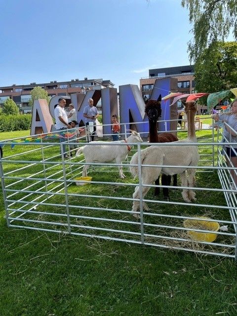 Alpakkaer og en geit i parken​​​​‌﻿‍﻿​‍​‍‌‍﻿﻿‌﻿​‍‌‍‍‌‌‍‌﻿‌‍‍‌‌‍﻿‍​‍​‍​﻿‍‍​‍​‍‌﻿​﻿‌‍​‌‌‍﻿‍‌‍‍‌‌﻿‌​‌﻿‍‌​‍﻿‍‌‍‍‌‌‍﻿﻿​‍​‍​‍﻿​​‍​‍‌‍‍​‌﻿​‍‌‍‌‌‌‍‌‍​‍​‍​﻿‍‍​‍​‍‌‍‍​‌﻿‌​‌﻿‌​‌﻿​​​﻿‍‍​‍﻿﻿​‍﻿﻿‌‍﻿​‌‍﻿﻿‌‍​﻿‌‍​‌‌‍﻿​‌‍‍​‌‍﻿﻿‌﻿​﻿‌﻿‌​​﻿‍‍​﻿​﻿​﻿​﻿​﻿​﻿​﻿​﻿​‍﻿﻿‌‍‍‌‌‍﻿‍‌﻿‌​‌‍‌‌‌‍﻿‍‌﻿‌​​‍﻿﻿‌‍‌‌‌‍‌​‌‍‍‌‌﻿‌​​‍﻿﻿‌‍﻿‌‌‍﻿﻿‌‍‌​‌‍‌‌​﻿﻿‌‌﻿​​‌﻿​‍‌‍‌‌‌﻿​﻿‌‍‌‌‌‍﻿‍‌﻿‌​‌‍​‌‌﻿‌​‌‍‍‌‌‍﻿﻿‌‍﻿‍​﻿‍﻿‌‍‍‌‌‍‌​​﻿﻿‌‌‍‌‍‌‍‌‌‌‍‌‌​﻿‌‌​﻿​‌‌‍​﻿​﻿​‍​﻿​‌​‍﻿‌‌‍‌‌​﻿​‍​﻿‌﻿​﻿​​​‍﻿‌​﻿‌​‌‍‌​‌‍‌​​﻿​‍​‍﻿‌‌‍​‌​﻿​‍​﻿‍​‌‍​‍​‍﻿‌‌‍​‌​﻿​​​﻿‌‌​﻿​​‌‍‌‌​﻿​‍‌‍‌​‌‍‌‍‌‍​‍​﻿​​‌‍‌‌​﻿‍​​﻿‍﻿‌﻿‌​‌﻿‍‌‌﻿​​‌‍‌‌​﻿﻿‌‌﻿​​‌‍﻿﻿‌﻿​﻿‌﻿‌​​﻿‍﻿‌﻿​​‌‍​‌‌﻿‌​‌‍‍​​﻿﻿‌‌‍​‍‌‍﻿﻿‌‍‌​‌﻿‍‌​‍‌‌​﻿‌‌‌​​‍‌‌﻿﻿‌‍‍﻿‌‍‌‌‌﻿‍‌​‍‌‌​﻿​﻿‌​‌​​‍‌‌​﻿​﻿‌​‌​​‍‌‌​﻿​‍​﻿​‍​﻿‌﻿​﻿‌‌​﻿‌‌​﻿‌‍​﻿‍​‌‍‌‍‌‍​‌‌‍‌‌​﻿‌​​﻿​‌‌‍​‌‌‍‌‌​‍‌‌​﻿​‍​﻿​‍​‍‌‌​﻿‌‌‌​‌​​‍﻿‍‌‍​‌‌‍﻿​‌﻿‌​​﻿﻿﻿‌‍​‍‌‍​‌‌﻿​﻿‌‍‌‌‌‌‌‌‌﻿​‍‌‍﻿​​﻿﻿‌‌‍‍​‌﻿‌​‌﻿‌​‌﻿​​​‍‌‌​﻿​﻿‌​​‌​‍‌‌​﻿​‍‌​‌‍​‍‌‌​﻿​‍‌​‌‍‌‍﻿​‌‍﻿﻿‌‍​﻿‌‍​‌‌‍﻿​‌‍‍​‌‍﻿﻿‌﻿​﻿‌﻿‌​​‍‌‌​﻿​﻿‌​​‌​﻿​﻿​﻿​﻿​﻿​﻿​﻿​﻿​‍‌‍‌‍‍‌‌‍‌​​﻿﻿‌‌‍‌‍‌‍‌‌‌‍‌‌​﻿‌‌​﻿​‌‌‍​﻿​﻿​‍​﻿​‌​‍﻿‌‌‍‌‌​﻿​‍​﻿‌﻿​﻿​​​‍﻿‌​﻿‌​‌‍‌​‌‍‌​​﻿​‍​‍﻿‌‌‍​‌​﻿​‍​﻿‍​‌‍​‍​‍﻿‌‌‍​‌​﻿​​​﻿‌‌​﻿​​‌‍‌‌​﻿​‍‌‍‌​‌‍‌‍‌‍​‍​﻿​​‌‍‌‌​﻿‍​​‍‌‍‌﻿‌​‌﻿‍‌‌﻿​​‌‍‌‌​﻿﻿‌‌﻿​​‌‍﻿﻿‌﻿​﻿‌﻿‌​​‍‌‍‌﻿​​‌‍​‌‌﻿‌​‌‍‍​​﻿﻿‌‌‍​‍‌‍﻿﻿‌‍‌​‌﻿‍‌​‍‌‌​﻿‌‌‌​​‍‌‌﻿﻿‌‍‍﻿‌‍‌‌‌﻿‍‌​‍‌‌​﻿​﻿‌​‌​​‍‌‌​﻿​﻿‌​‌​​‍‌‌​﻿​‍​﻿​‍​﻿‌﻿​﻿‌‌​﻿‌‌​﻿‌‍​﻿‍​‌‍‌‍‌‍​‌‌‍‌‌​﻿‌​​﻿​‌‌‍​‌‌‍‌‌​‍‌‌​﻿​‍​﻿​‍​‍‌‌​﻿‌‌‌​‌​​‍﻿‍‌‍​‌‌‍﻿​‌﻿‌​​‍‌‍‌﻿​​‌‍‌‌‌﻿​‍‌﻿​﻿‌﻿​​‌‍‌‌‌‍​﻿‌﻿‌​‌‍‍‌‌﻿‌‍‌‍‌‌​﻿﻿‌‌﻿​​‌﻿‌‌‌‍​‍‌‍﻿​‌‍‍‌‌﻿​﻿‌‍‍​‌‍‌‌‌‍‌​​‍​‍‌﻿﻿‌