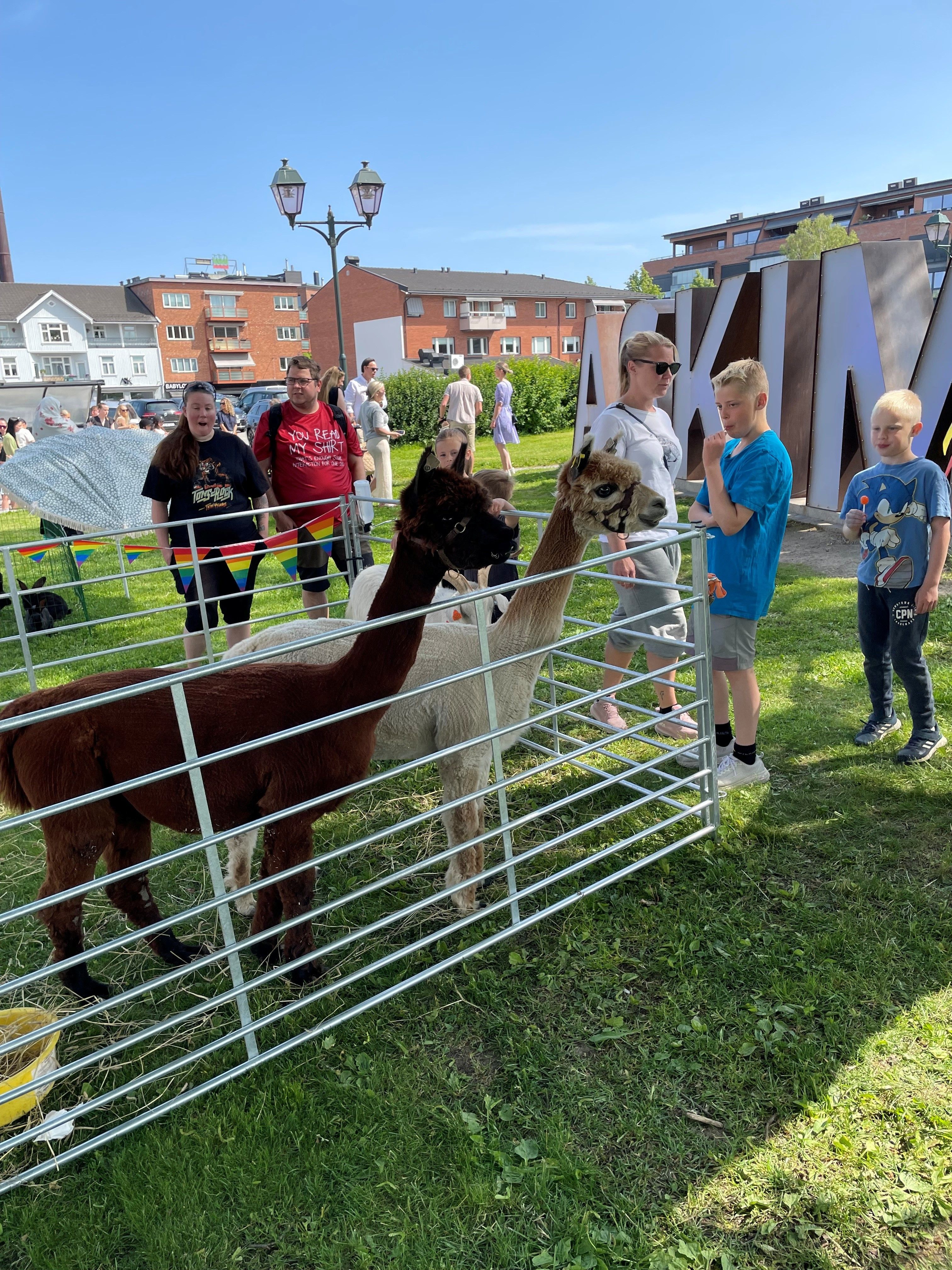 Alpakkaer i parken​​​​‌﻿‍﻿​‍​‍‌‍﻿﻿‌﻿​‍‌‍‍‌‌‍‌﻿‌‍‍‌‌‍﻿‍​‍​‍​﻿‍‍​‍​‍‌﻿​﻿‌‍​‌‌‍﻿‍‌‍‍‌‌﻿‌​‌﻿‍‌​‍﻿‍‌‍‍‌‌‍﻿﻿​‍​‍​‍﻿​​‍​‍‌‍‍​‌﻿​‍‌‍‌‌‌‍‌‍​‍​‍​﻿‍‍​‍​‍‌‍‍​‌﻿‌​‌﻿‌​‌﻿​​​﻿‍‍​‍﻿﻿​‍﻿﻿‌‍﻿​‌‍﻿﻿‌‍​﻿‌‍​‌‌‍﻿​‌‍‍​‌‍﻿﻿‌﻿​﻿‌﻿‌​​﻿‍‍​﻿​﻿​﻿​﻿​﻿​﻿​﻿​﻿​‍﻿﻿‌‍‍‌‌‍﻿‍‌﻿‌​‌‍‌‌‌‍﻿‍‌﻿‌​​‍﻿﻿‌‍‌‌‌‍‌​‌‍‍‌‌﻿‌​​‍﻿﻿‌‍﻿‌‌‍﻿﻿‌‍‌​‌‍‌‌​﻿﻿‌‌﻿​​‌﻿​‍‌‍‌‌‌﻿​﻿‌‍‌‌‌‍﻿‍‌﻿‌​‌‍​‌‌﻿‌​‌‍‍‌‌‍﻿﻿‌‍﻿‍​﻿‍﻿‌‍‍‌‌‍‌​​﻿﻿‌‌‍‌‍‌‍‌‌‌‍‌‌​﻿‌‌​﻿​‌‌‍​﻿​﻿​‍​﻿​‌​‍﻿‌‌‍‌‌​﻿​‍​﻿‌﻿​﻿​​​‍﻿‌​﻿‌​‌‍‌​‌‍‌​​﻿​‍​‍﻿‌‌‍​‌​﻿​‍​﻿‍​‌‍​‍​‍﻿‌‌‍​‌​﻿​​​﻿‌‌​﻿​​‌‍‌‌​﻿​‍‌‍‌​‌‍‌‍‌‍​‍​﻿​​‌‍‌‌​﻿‍​​﻿‍﻿‌﻿‌​‌﻿‍‌‌﻿​​‌‍‌‌​﻿﻿‌‌﻿​​‌‍﻿﻿‌﻿​﻿‌﻿‌​​﻿‍﻿‌﻿​​‌‍​‌‌﻿‌​‌‍‍​​﻿﻿‌‌‍​‍‌‍﻿﻿‌‍‌​‌﻿‍‌​‍‌‌​﻿‌‌‌​​‍‌‌﻿﻿‌‍‍﻿‌‍‌‌‌﻿‍‌​‍‌‌​﻿​﻿‌​‌​​‍‌‌​﻿​﻿‌​‌​​‍‌‌​﻿​‍​﻿​‍​﻿​﻿​﻿‌‍​﻿‌‍​﻿‌﻿‌‍‌‍​﻿‍​​﻿​‍​﻿​‌​﻿‌​​﻿​﻿‌‍‌‍​﻿‌‌​‍‌‌​﻿​‍​﻿​‍​‍‌‌​﻿‌‌‌​‌​​‍﻿‍‌‍​‌‌‍﻿​‌﻿‌​​﻿﻿﻿‌‍​‍‌‍​‌‌﻿​﻿‌‍‌‌‌‌‌‌‌﻿​‍‌‍﻿​​﻿﻿‌‌‍‍​‌﻿‌​‌﻿‌​‌﻿​​​‍‌‌​﻿​﻿‌​​‌​‍‌‌​﻿​‍‌​‌‍​‍‌‌​﻿​‍‌​‌‍‌‍﻿​‌‍﻿﻿‌‍​﻿‌‍​‌‌‍﻿​‌‍‍​‌‍﻿﻿‌﻿​﻿‌﻿‌​​‍‌‌​﻿​﻿‌​​‌​﻿​﻿​﻿​﻿​﻿​﻿​﻿​﻿​‍‌‍‌‍‍‌‌‍‌​​﻿﻿‌‌‍‌‍‌‍‌‌‌‍‌‌​﻿‌‌​﻿​‌‌‍​﻿​﻿​‍​﻿​‌​‍﻿‌‌‍‌‌​﻿​‍​﻿‌﻿​﻿​​​‍﻿‌​﻿‌​‌‍‌​‌‍‌​​﻿​‍​‍﻿‌‌‍​‌​﻿​‍​﻿‍​‌‍​‍​‍﻿‌‌‍​‌​﻿​​​﻿‌‌​﻿​​‌‍‌‌​﻿​‍‌‍‌​‌‍‌‍‌‍​‍​﻿​​‌‍‌‌​﻿‍​​‍‌‍‌﻿‌​‌﻿‍‌‌﻿​​‌‍‌‌​﻿﻿‌‌﻿​​‌‍﻿﻿‌﻿​﻿‌﻿‌​​‍‌‍‌﻿​​‌‍​‌‌﻿‌​‌‍‍​​﻿﻿‌‌‍​‍‌‍﻿﻿‌‍‌​‌﻿‍‌​‍‌‌​﻿‌‌‌​​‍‌‌﻿﻿‌‍‍﻿‌‍‌‌‌﻿‍‌​‍‌‌​﻿​﻿‌​‌​​‍‌‌​﻿​﻿‌​‌​​‍‌‌​﻿​‍​﻿​‍​﻿​﻿​﻿‌‍​﻿‌‍​﻿‌﻿‌‍‌‍​﻿‍​​﻿​‍​﻿​‌​﻿‌​​﻿​﻿‌‍‌‍​﻿‌‌​‍‌‌​﻿​‍​﻿​‍​‍‌‌​﻿‌‌‌​‌​​‍﻿‍‌‍​‌‌‍﻿​‌﻿‌​​‍‌‍‌﻿​​‌‍‌‌‌﻿​‍‌﻿​﻿‌﻿​​‌‍‌‌‌‍​﻿‌﻿‌​‌‍‍‌‌﻿‌‍‌‍‌‌​﻿﻿‌‌﻿​​‌﻿‌‌‌‍​‍‌‍﻿​‌‍‍‌‌﻿​﻿‌‍‍​‌‍‌‌‌‍‌​​‍​‍‌﻿﻿‌