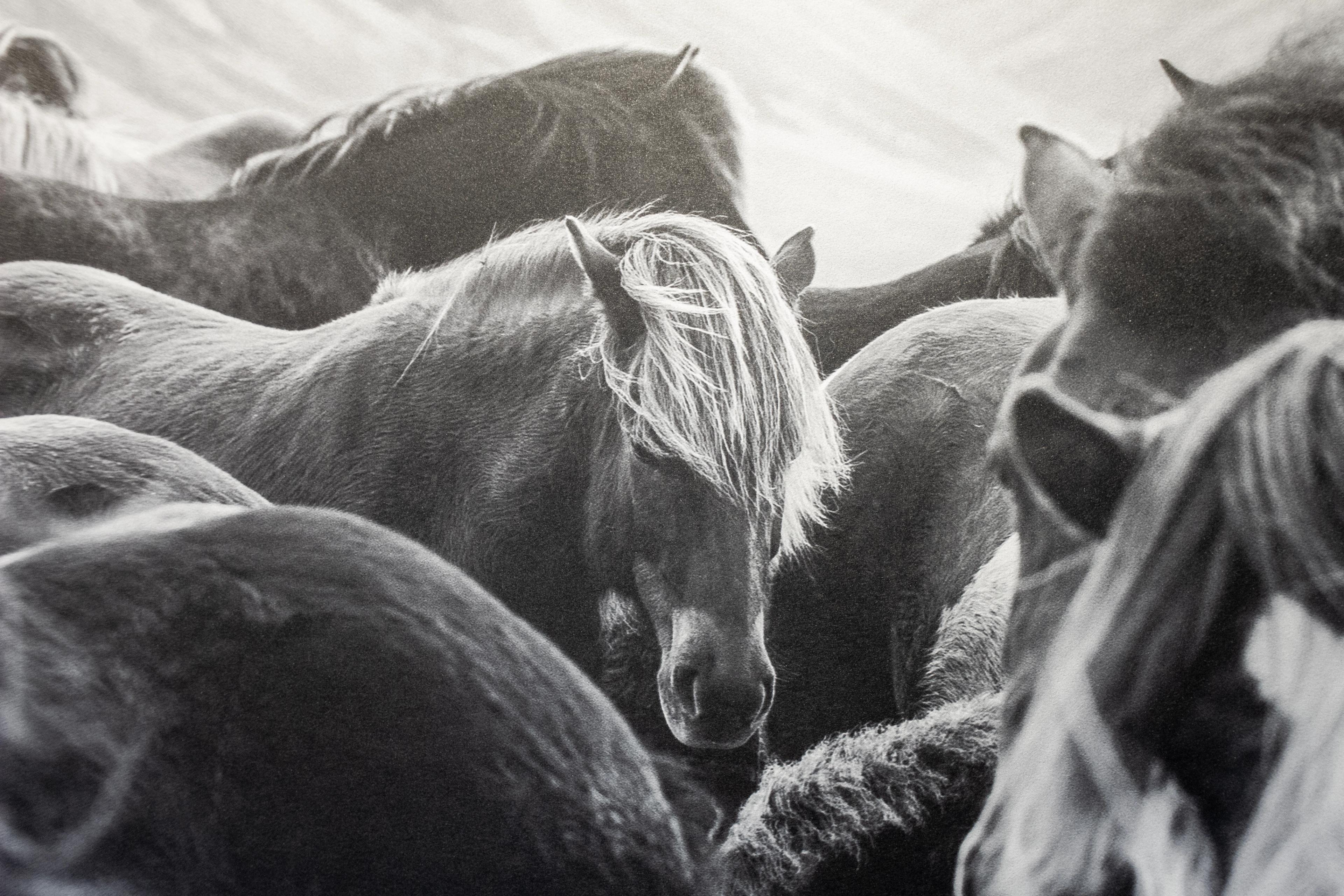 Hester i svart/hvitt foto​​​​‌﻿‍﻿​‍​‍‌‍﻿﻿‌﻿​‍‌‍‍‌‌‍‌﻿‌‍‍‌‌‍﻿‍​‍​‍​﻿‍‍​‍​‍‌﻿​﻿‌‍​‌‌‍﻿‍‌‍‍‌‌﻿‌​‌﻿‍‌​‍﻿‍‌‍‍‌‌‍﻿﻿​‍​‍​‍﻿​​‍​‍‌‍‍​‌﻿​‍‌‍‌‌‌‍‌‍​‍​‍​﻿‍‍​‍​‍‌‍‍​‌﻿‌​‌﻿‌​‌﻿​​​﻿‍‍​‍﻿﻿​‍﻿﻿‌‍﻿​‌‍﻿﻿‌‍​﻿‌‍​‌‌‍﻿​‌‍‍​‌‍﻿﻿‌﻿​﻿‌﻿‌​​﻿‍‍​﻿​﻿​﻿​﻿​﻿​﻿​﻿​﻿​‍﻿﻿‌‍‍‌‌‍﻿‍‌﻿‌​‌‍‌‌‌‍﻿‍‌﻿‌​​‍﻿﻿‌‍‌‌‌‍‌​‌‍‍‌‌﻿‌​​‍﻿﻿‌‍﻿‌‌‍﻿﻿‌‍‌​‌‍‌‌​﻿﻿‌‌﻿​​‌﻿​‍‌‍‌‌‌﻿​﻿‌‍‌‌‌‍﻿‍‌﻿‌​‌‍​‌‌﻿‌​‌‍‍‌‌‍﻿﻿‌‍﻿‍​﻿‍﻿‌‍‍‌‌‍‌​​﻿﻿‌​﻿‌﻿‌‍‌‌​﻿‍‌​﻿‌﻿​﻿‍‌​﻿‌​​﻿‌​​﻿​‍​‍﻿‌‌‍​﻿‌‍‌‍‌‍​﻿​﻿​‍​‍﻿‌​﻿‌​​﻿‌﻿​﻿‌‌‌‍‌​​‍﻿‌‌‍​‍​﻿‌‌‌‍‌‌​﻿‌‍​‍﻿‌​﻿‌‌​﻿‍‌​﻿‍‌​﻿‍​‌‍​‌​﻿‍​‌‍​‌​﻿‌‍‌‍‌​‌‍​‍‌‍​‌​﻿‍‌​﻿‍﻿‌﻿‌​‌﻿‍‌‌﻿​​‌‍‌‌​﻿﻿‌‌﻿​​‌‍﻿﻿‌﻿​﻿‌﻿‌​​﻿‍﻿‌﻿​​‌‍​‌‌﻿‌​‌‍‍​​﻿﻿‌‌‍​‍‌‍﻿﻿‌‍‌​‌﻿‍‌​‍‌‌​﻿‌‌‌​​‍‌‌﻿﻿‌‍‍﻿‌‍‌‌‌﻿‍‌​‍‌‌​﻿​﻿‌​‌​​‍‌‌​﻿​﻿‌​‌​​‍‌‌​﻿​‍​﻿​‍​﻿​‌‌‍​‌‌‍‌‌​﻿‌‍​﻿‌‌​﻿​‌‌‍​‍​﻿‍​​﻿‌‍​﻿​‌‌‍‌​​﻿​‌​‍‌‌​﻿​‍​﻿​‍​‍‌‌​﻿‌‌‌​‌​​‍﻿‍‌‍​‌‌‍﻿​‌﻿‌​​﻿﻿﻿‌‍​‍‌‍​‌‌﻿​﻿‌‍‌‌‌‌‌‌‌﻿​‍‌‍﻿​​﻿﻿‌‌‍‍​‌﻿‌​‌﻿‌​‌﻿​​​‍‌‌​﻿​﻿‌​​‌​‍‌‌​﻿​‍‌​‌‍​‍‌‌​﻿​‍‌​‌‍‌‍﻿​‌‍﻿﻿‌‍​﻿‌‍​‌‌‍﻿​‌‍‍​‌‍﻿﻿‌﻿​﻿‌﻿‌​​‍‌‌​﻿​﻿‌​​‌​﻿​﻿​﻿​﻿​﻿​﻿​﻿​﻿​‍‌‍‌‍‍‌‌‍‌​​﻿﻿‌​﻿‌﻿‌‍‌‌​﻿‍‌​﻿‌﻿​﻿‍‌​﻿‌​​﻿‌​​﻿​‍​‍﻿‌‌‍​﻿‌‍‌‍‌‍​﻿​﻿​‍​‍﻿‌​﻿‌​​﻿‌﻿​﻿‌‌‌‍‌​​‍﻿‌‌‍​‍​﻿‌‌‌‍‌‌​﻿‌‍​‍﻿‌​﻿‌‌​﻿‍‌​﻿‍‌​﻿‍​‌‍​‌​﻿‍​‌‍​‌​﻿‌‍‌‍‌​‌‍​‍‌‍​‌​﻿‍‌​‍‌‍‌﻿‌​‌﻿‍‌‌﻿​​‌‍‌‌​﻿﻿‌‌﻿​​‌‍﻿﻿‌﻿​﻿‌﻿‌​​‍‌‍‌﻿​​‌‍​‌‌﻿‌​‌‍‍​​﻿﻿‌‌‍​‍‌‍﻿﻿‌‍‌​‌﻿‍‌​‍‌‌​﻿‌‌‌​​‍‌‌﻿﻿‌‍‍﻿‌‍‌‌‌﻿‍‌​‍‌‌​﻿​﻿‌​‌​​‍‌‌​﻿​﻿‌​‌​​‍‌‌​﻿​‍​﻿​‍​﻿​‌‌‍​‌‌‍‌‌​﻿‌‍​﻿‌‌​﻿​‌‌‍​‍​﻿‍​​﻿‌‍​﻿​‌‌‍‌​​﻿​‌​‍‌‌​﻿​‍​﻿​‍​‍‌‌​﻿‌‌‌​‌​​‍﻿‍‌‍​‌‌‍﻿​‌﻿‌​​‍‌‍‌﻿​​‌‍‌‌‌﻿​‍‌﻿​﻿‌﻿​​‌‍‌‌‌‍​﻿‌﻿‌​‌‍‍‌‌﻿‌‍‌‍‌‌​﻿﻿‌‌﻿​​‌﻿‌‌‌‍​‍‌‍﻿​‌‍‍‌‌﻿​﻿‌‍‍​‌‍‌‌‌‍‌​​‍​‍‌﻿﻿‌