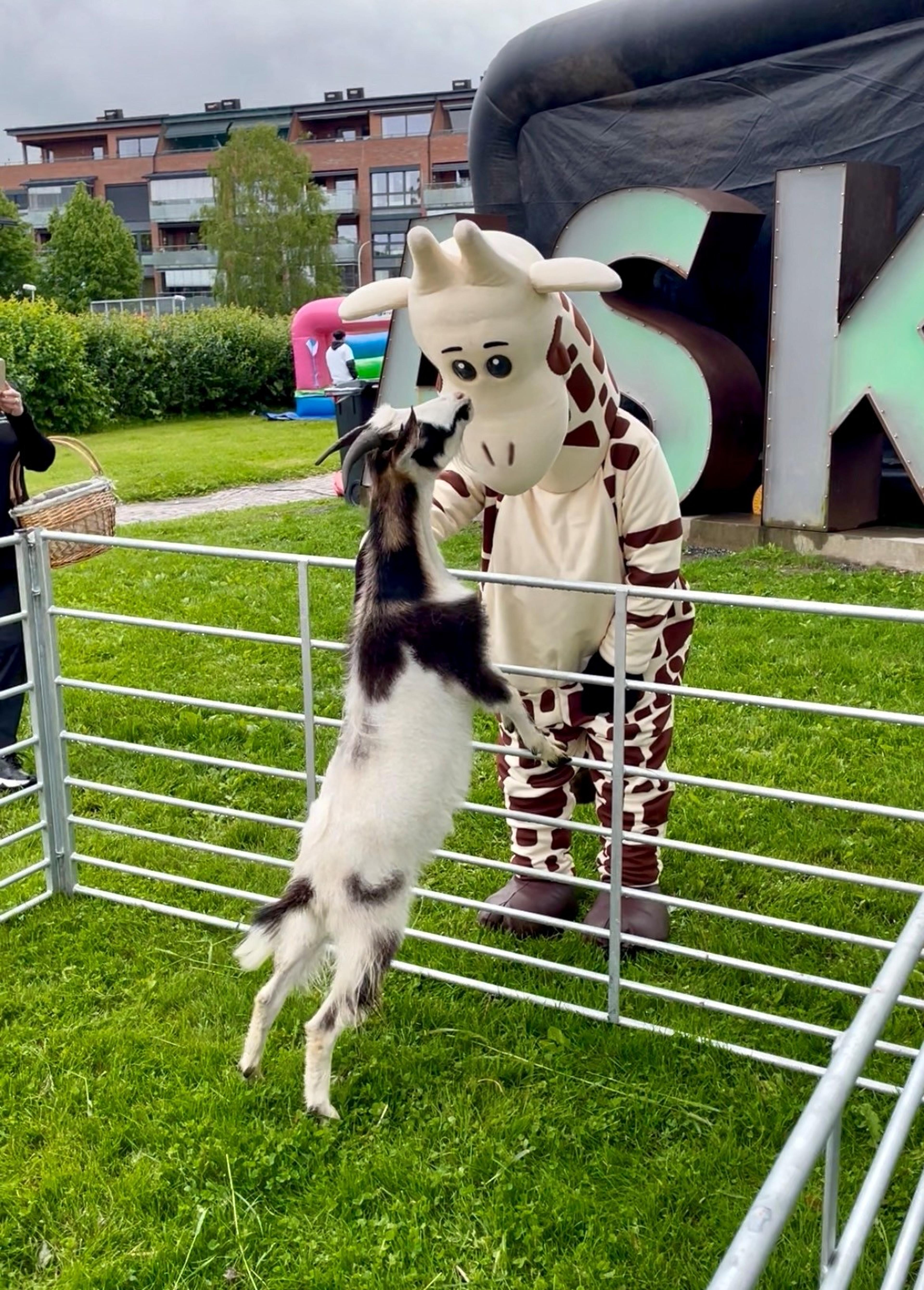 En maskot som hilser på en geit​​​​‌﻿‍﻿​‍​‍‌‍﻿﻿‌﻿​‍‌‍‍‌‌‍‌﻿‌‍‍‌‌‍﻿‍​‍​‍​﻿‍‍​‍​‍‌﻿​﻿‌‍​‌‌‍﻿‍‌‍‍‌‌﻿‌​‌﻿‍‌​‍﻿‍‌‍‍‌‌‍﻿﻿​‍​‍​‍﻿​​‍​‍‌‍‍​‌﻿​‍‌‍‌‌‌‍‌‍​‍​‍​﻿‍‍​‍​‍‌‍‍​‌﻿‌​‌﻿‌​‌﻿​​​﻿‍‍​‍﻿﻿​‍﻿﻿‌‍﻿​‌‍﻿﻿‌‍​﻿‌‍​‌‌‍﻿​‌‍‍​‌‍﻿﻿‌﻿​﻿‌﻿‌​​﻿‍‍​﻿​﻿​﻿​﻿​﻿​﻿​﻿​﻿​‍﻿﻿‌‍‍‌‌‍﻿‍‌﻿‌​‌‍‌‌‌‍﻿‍‌﻿‌​​‍﻿﻿‌‍‌‌‌‍‌​‌‍‍‌‌﻿‌​​‍﻿﻿‌‍﻿‌‌‍﻿﻿‌‍‌​‌‍‌‌​﻿﻿‌‌﻿​​‌﻿​‍‌‍‌‌‌﻿​﻿‌‍‌‌‌‍﻿‍‌﻿‌​‌‍​‌‌﻿‌​‌‍‍‌‌‍﻿﻿‌‍﻿‍​﻿‍﻿‌‍‍‌‌‍‌​​﻿﻿‌‌‍‌‌​﻿‍​​﻿‍‌​﻿‌​‌‍‌​​﻿​​​﻿​‌​﻿‍​​‍﻿‌‌‍​﻿‌‍​﻿‌‍​‍‌‍​﻿​‍﻿‌​﻿‌​​﻿​​‌‍‌‌​﻿​​​‍﻿‌​﻿‍‌‌‍‌‌​﻿‌‌‌‍​﻿​‍﻿‌‌‍‌​​﻿‌﻿‌‍​‌‌‍​﻿‌‍​﻿‌‍‌‌​﻿‍​​﻿‌‍‌‍​‌​﻿‍‌​﻿‌‌​﻿‌﻿​﻿‍﻿‌﻿‌​‌﻿‍‌‌﻿​​‌‍‌‌​﻿﻿‌‌﻿​​‌‍﻿﻿‌﻿​﻿‌﻿‌​​﻿‍﻿‌﻿​​‌‍​‌‌﻿‌​‌‍‍​​﻿﻿‌‌‍​‍‌‍﻿﻿‌‍‌​‌﻿‍‌​‍‌‌​﻿‌‌‌​​‍‌‌﻿﻿‌‍‍﻿‌‍‌‌‌﻿‍‌​‍‌‌​﻿​﻿‌​‌​​‍‌‌​﻿​﻿‌​‌​​‍‌‌​﻿​‍​﻿​‍​﻿‌​‌‍‌​​﻿​​​﻿​‍‌‍​‌​﻿​﻿​﻿​‍​﻿‍​​﻿‍​​﻿​​​﻿​​​﻿‍‌​‍‌‌​﻿​‍​﻿​‍​‍‌‌​﻿‌‌‌​‌​​‍﻿‍‌‍​‌‌‍﻿​‌﻿‌​​﻿﻿﻿‌‍​‍‌‍​‌‌﻿​﻿‌‍‌‌‌‌‌‌‌﻿​‍‌‍﻿​​﻿﻿‌‌‍‍​‌﻿‌​‌﻿‌​‌﻿​​​‍‌‌​﻿​﻿‌​​‌​‍‌‌​﻿​‍‌​‌‍​‍‌‌​﻿​‍‌​‌‍‌‍﻿​‌‍﻿﻿‌‍​﻿‌‍​‌‌‍﻿​‌‍‍​‌‍﻿﻿‌﻿​﻿‌﻿‌​​‍‌‌​﻿​﻿‌​​‌​﻿​﻿​﻿​﻿​﻿​﻿​﻿​﻿​‍‌‍‌‍‍‌‌‍‌​​﻿﻿‌‌‍‌‌​﻿‍​​﻿‍‌​﻿‌​‌‍‌​​﻿​​​﻿​‌​﻿‍​​‍﻿‌‌‍​﻿‌‍​﻿‌‍​‍‌‍​﻿​‍﻿‌​﻿‌​​﻿​​‌‍‌‌​﻿​​​‍﻿‌​﻿‍‌‌‍‌‌​﻿‌‌‌‍​﻿​‍﻿‌‌‍‌​​﻿‌﻿‌‍​‌‌‍​﻿‌‍​﻿‌‍‌‌​﻿‍​​﻿‌‍‌‍​‌​﻿‍‌​﻿‌‌​﻿‌﻿​‍‌‍‌﻿‌​‌﻿‍‌‌﻿​​‌‍‌‌​﻿﻿‌‌﻿​​‌‍﻿﻿‌﻿​﻿‌﻿‌​​‍‌‍‌﻿​​‌‍​‌‌﻿‌​‌‍‍​​﻿﻿‌‌‍​‍‌‍﻿﻿‌‍‌​‌﻿‍‌​‍‌‌​﻿‌‌‌​​‍‌‌﻿﻿‌‍‍﻿‌‍‌‌‌﻿‍‌​‍‌‌​﻿​﻿‌​‌​​‍‌‌​﻿​﻿‌​‌​​‍‌‌​﻿​‍​﻿​‍​﻿‌​‌‍‌​​﻿​​​﻿​‍‌‍​‌​﻿​﻿​﻿​‍​﻿‍​​﻿‍​​﻿​​​﻿​​​﻿‍‌​‍‌‌​﻿​‍​﻿​‍​‍‌‌​﻿‌‌‌​‌​​‍﻿‍‌‍​‌‌‍﻿​‌﻿‌​​‍‌‍‌﻿​​‌‍‌‌‌﻿​‍‌﻿​﻿‌﻿​​‌‍‌‌‌‍​﻿‌﻿‌​‌‍‍‌‌﻿‌‍‌‍‌‌​﻿﻿‌‌﻿​​‌﻿‌‌‌‍​‍‌‍﻿​‌‍‍‌‌﻿​﻿‌‍‍​‌‍‌‌‌‍‌​​‍​‍‌﻿﻿‌