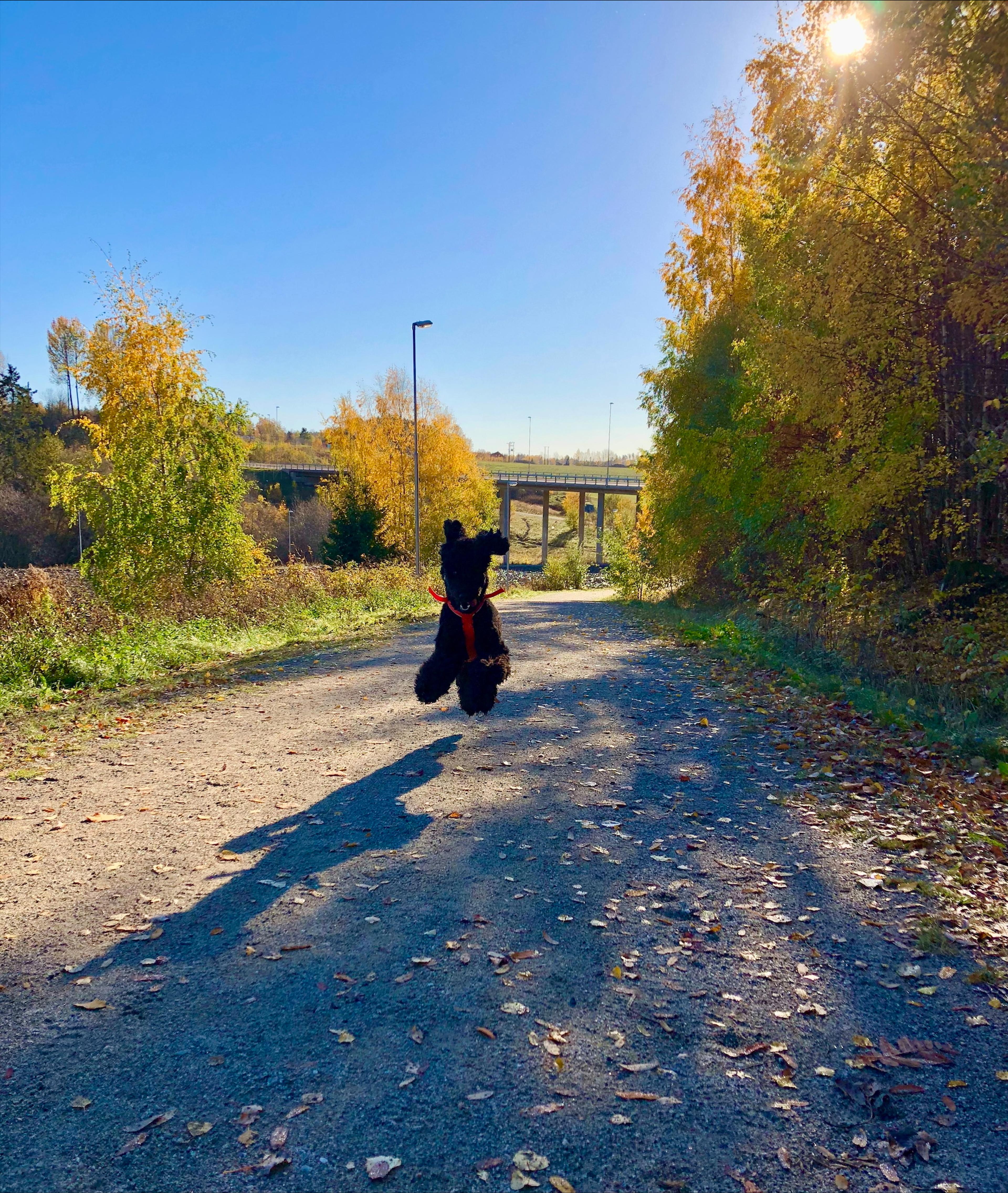 liten hund​​​​‌﻿‍﻿​‍​‍‌‍﻿﻿‌﻿​‍‌‍‍‌‌‍‌﻿‌‍‍‌‌‍﻿‍​‍​‍​﻿‍‍​‍​‍‌﻿​﻿‌‍​‌‌‍﻿‍‌‍‍‌‌﻿‌​‌﻿‍‌​‍﻿‍‌‍‍‌‌‍﻿﻿​‍​‍​‍﻿​​‍​‍‌‍‍​‌﻿​‍‌‍‌‌‌‍‌‍​‍​‍​﻿‍‍​‍​‍‌‍‍​‌﻿‌​‌﻿‌​‌﻿​​​﻿‍‍​‍﻿﻿​‍﻿﻿‌‍﻿​‌‍﻿﻿‌‍​﻿‌‍​‌‌‍﻿​‌‍‍​‌‍﻿﻿‌﻿​﻿‌﻿‌​​﻿‍‍​﻿​﻿​﻿​﻿​﻿​﻿​﻿​﻿​‍﻿﻿‌‍‍‌‌‍﻿‍‌﻿‌​‌‍‌‌‌‍﻿‍‌﻿‌​​‍﻿﻿‌‍‌‌‌‍‌​‌‍‍‌‌﻿‌​​‍﻿﻿‌‍﻿‌‌‍﻿﻿‌‍‌​‌‍‌‌​﻿﻿‌‌﻿​​‌﻿​‍‌‍‌‌‌﻿​﻿‌‍‌‌‌‍﻿‍‌﻿‌​‌‍​‌‌﻿‌​‌‍‍‌‌‍﻿﻿‌‍﻿‍​﻿‍﻿‌‍‍‌‌‍‌​​﻿﻿‌‌‍​‍‌‍​‍​﻿‌‍​﻿‌﻿​﻿​‌​﻿​﻿​﻿‌‌​﻿​‍​‍﻿‌‌‍​﻿​﻿​‌‌‍​﻿‌‍‌‍​‍﻿‌​﻿‌​‌‍​‍​﻿‍‌​﻿‌​​‍﻿‌​﻿‍‌‌‍​﻿‌‍‌‍‌‍​‌​‍﻿‌‌‍​‍‌‍‌​​﻿‌‌​﻿‌​​﻿‌﻿‌‍​‍​﻿​﻿​﻿​​​﻿‍​​﻿​﻿‌‍​‍​﻿‌﻿​﻿‍﻿‌﻿‌​‌﻿‍‌‌﻿​​‌‍‌‌​﻿﻿‌‌﻿​​‌‍﻿﻿‌﻿​﻿‌﻿‌​​﻿‍﻿‌﻿​​‌‍​‌‌﻿‌​‌‍‍​​﻿﻿‌‌‍​‍‌‍﻿﻿‌‍‌​‌﻿‍‌​‍‌‌​﻿‌‌‌​​‍‌‌﻿﻿‌‍‍﻿‌‍‌‌‌﻿‍‌​‍‌‌​﻿​﻿‌​‌​​‍‌‌​﻿​﻿‌​‌​​‍‌‌​﻿​‍​﻿​‍​﻿​‍‌‍‌‌​﻿​‌‌‍​﻿​﻿​‌‌‍‌‍​﻿​‌​﻿‍​‌‍​‍​﻿‍​‌‍​‌​﻿​‍​‍‌‌​﻿​‍​﻿​‍​‍‌‌​﻿‌‌‌​‌​​‍﻿‍‌‍​‌‌‍﻿​‌﻿‌​​﻿﻿﻿‌‍​‍‌‍​‌‌﻿​﻿‌‍‌‌‌‌‌‌‌﻿​‍‌‍﻿​​﻿﻿‌‌‍‍​‌﻿‌​‌﻿‌​‌﻿​​​‍‌‌​﻿​﻿‌​​‌​‍‌‌​﻿​‍‌​‌‍​‍‌‌​﻿​‍‌​‌‍‌‍﻿​‌‍﻿﻿‌‍​﻿‌‍​‌‌‍﻿​‌‍‍​‌‍﻿﻿‌﻿​﻿‌﻿‌​​‍‌‌​﻿​﻿‌​​‌​﻿​﻿​﻿​﻿​﻿​﻿​﻿​﻿​‍‌‍‌‍‍‌‌‍‌​​﻿﻿‌‌‍​‍‌‍​‍​﻿‌‍​﻿‌﻿​﻿​‌​﻿​﻿​﻿‌‌​﻿​‍​‍﻿‌‌‍​﻿​﻿​‌‌‍​﻿‌‍‌‍​‍﻿‌​﻿‌​‌‍​‍​﻿‍‌​﻿‌​​‍﻿‌​﻿‍‌‌‍​﻿‌‍‌‍‌‍​‌​‍﻿‌‌‍​‍‌‍‌​​﻿‌‌​﻿‌​​﻿‌﻿‌‍​‍​﻿​﻿​﻿​​​﻿‍​​﻿​﻿‌‍​‍​﻿‌﻿​‍‌‍‌﻿‌​‌﻿‍‌‌﻿​​‌‍‌‌​﻿﻿‌‌﻿​​‌‍﻿﻿‌﻿​﻿‌﻿‌​​‍‌‍‌﻿​​‌‍​‌‌﻿‌​‌‍‍​​﻿﻿‌‌‍​‍‌‍﻿﻿‌‍‌​‌﻿‍‌​‍‌‌​﻿‌‌‌​​‍‌‌﻿﻿‌‍‍﻿‌‍‌‌‌﻿‍‌​‍‌‌​﻿​﻿‌​‌​​‍‌‌​﻿​﻿‌​‌​​‍‌‌​﻿​‍​﻿​‍​﻿​‍‌‍‌‌​﻿​‌‌‍​﻿​﻿​‌‌‍‌‍​﻿​‌​﻿‍​‌‍​‍​﻿‍​‌‍​‌​﻿​‍​‍‌‌​﻿​‍​﻿​‍​‍‌‌​﻿‌‌‌​‌​​‍﻿‍‌‍​‌‌‍﻿​‌﻿‌​​‍‌‍‌﻿​​‌‍‌‌‌﻿​‍‌﻿​﻿‌﻿​​‌‍‌‌‌‍​﻿‌﻿‌​‌‍‍‌‌﻿‌‍‌‍‌‌​﻿﻿‌‌﻿​​‌﻿‌‌‌‍​‍‌‍﻿​‌‍‍‌‌﻿​﻿‌‍‍​‌‍‌‌‌‍‌​​‍​‍‌﻿﻿‌