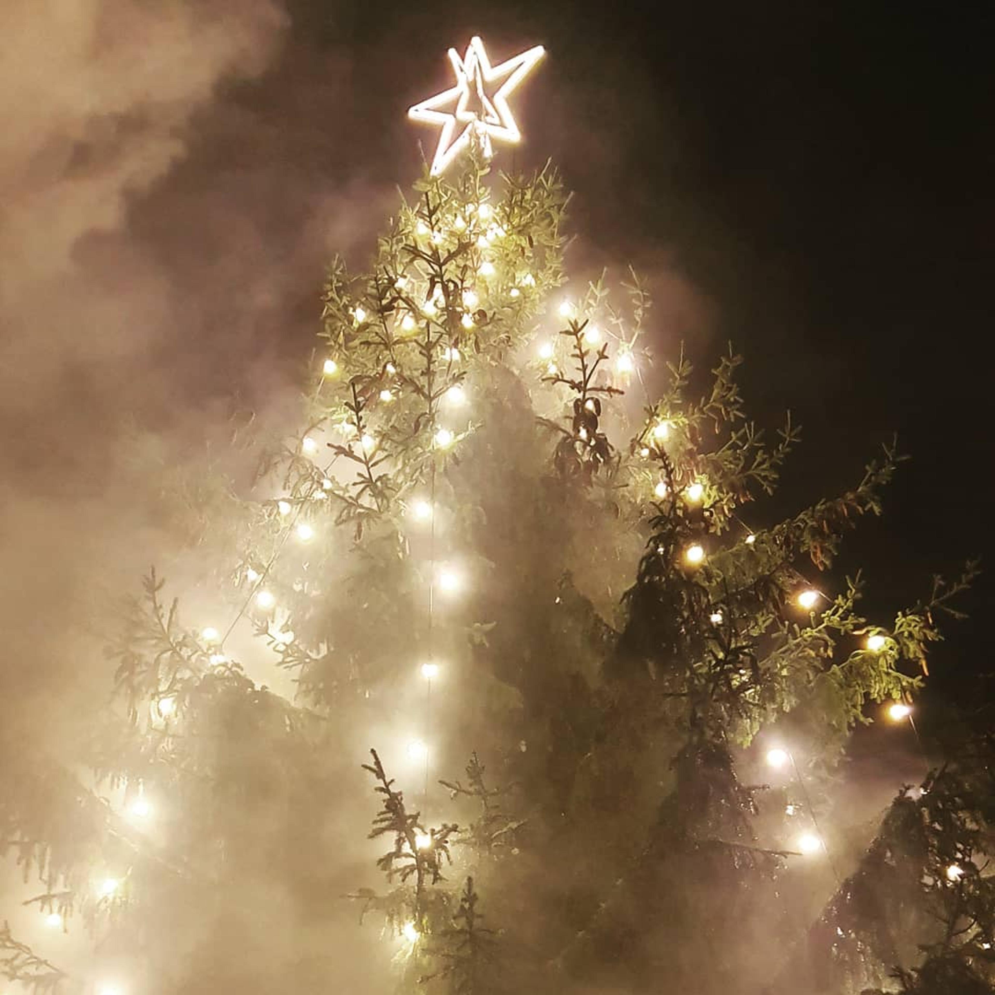 Juletre med masse lys​​​​‌﻿‍﻿​‍​‍‌‍﻿﻿‌﻿​‍‌‍‍‌‌‍‌﻿‌‍‍‌‌‍﻿‍​‍​‍​﻿‍‍​‍​‍‌﻿​﻿‌‍​‌‌‍﻿‍‌‍‍‌‌﻿‌​‌﻿‍‌​‍﻿‍‌‍‍‌‌‍﻿﻿​‍​‍​‍﻿​​‍​‍‌‍‍​‌﻿​‍‌‍‌‌‌‍‌‍​‍​‍​﻿‍‍​‍​‍‌‍‍​‌﻿‌​‌﻿‌​‌﻿​​​﻿‍‍​‍﻿﻿​‍﻿﻿‌‍﻿​‌‍﻿﻿‌‍​﻿‌‍​‌‌‍﻿​‌‍‍​‌‍﻿﻿‌﻿​﻿‌﻿‌​​﻿‍‍​﻿​﻿​﻿​﻿​﻿​﻿​﻿​﻿​‍﻿﻿‌‍‍‌‌‍﻿‍‌﻿‌​‌‍‌‌‌‍﻿‍‌﻿‌​​‍﻿﻿‌‍‌‌‌‍‌​‌‍‍‌‌﻿‌​​‍﻿﻿‌‍﻿‌‌‍﻿﻿‌‍‌​‌‍‌‌​﻿﻿‌‌﻿​​‌﻿​‍‌‍‌‌‌﻿​﻿‌‍‌‌‌‍﻿‍‌﻿‌​‌‍​‌‌﻿‌​‌‍‍‌‌‍﻿﻿‌‍﻿‍​﻿‍﻿‌‍‍‌‌‍‌​​﻿﻿‌​﻿‌​​﻿‍‌​﻿​﻿​﻿‌﻿‌‍‌‌‌‍‌​​﻿​‌​﻿‍‌​‍﻿‌‌‍​‌​﻿​‌​﻿‍​​﻿​‌​‍﻿‌​﻿‌​​﻿‌‌​﻿‌﻿‌‍‌‌​‍﻿‌‌‍​‌‌‍​﻿​﻿‌﻿‌‍​‌​‍﻿‌​﻿‌‌​﻿‌‍‌‍‌‍‌‍‌‌​﻿‌‌​﻿‍​​﻿‌​‌‍‌‍​﻿​‍‌‍‌‍​﻿‍‌​﻿​​​﻿‍﻿‌﻿‌​‌﻿‍‌‌﻿​​‌‍‌‌​﻿﻿‌‌﻿​​‌‍﻿﻿‌﻿​﻿‌﻿‌​​﻿‍﻿‌﻿​​‌‍​‌‌﻿‌​‌‍‍​​﻿﻿‌‌‍​‍‌‍﻿﻿‌‍‌​‌﻿‍‌​‍‌‌​﻿‌‌‌​​‍‌‌﻿﻿‌‍‍﻿‌‍‌‌‌﻿‍‌​‍‌‌​﻿​﻿‌​‌​​‍‌‌​﻿​﻿‌​‌​​‍‌‌​﻿​‍​﻿​‍‌‍‌‍​﻿​‍‌‍​‍​﻿​﻿​﻿​​‌‍​﻿​﻿​​​﻿‌‌‌‍‌‍‌‍​﻿​﻿​﻿​﻿​﻿​‍‌‌​﻿​‍​﻿​‍​‍‌‌​﻿‌‌‌​‌​​‍﻿‍‌‍​‌‌‍﻿​‌﻿‌​​﻿﻿﻿‌‍​‍‌‍​‌‌﻿​﻿‌‍‌‌‌‌‌‌‌﻿​‍‌‍﻿​​﻿﻿‌‌‍‍​‌﻿‌​‌﻿‌​‌﻿​​​‍‌‌​﻿​﻿‌​​‌​‍‌‌​﻿​‍‌​‌‍​‍‌‌​﻿​‍‌​‌‍‌‍﻿​‌‍﻿﻿‌‍​﻿‌‍​‌‌‍﻿​‌‍‍​‌‍﻿﻿‌﻿​﻿‌﻿‌​​‍‌‌​﻿​﻿‌​​‌​﻿​﻿​﻿​﻿​﻿​﻿​﻿​﻿​‍‌‍‌‍‍‌‌‍‌​​﻿﻿‌​﻿‌​​﻿‍‌​﻿​﻿​﻿‌﻿‌‍‌‌‌‍‌​​﻿​‌​﻿‍‌​‍﻿‌‌‍​‌​﻿​‌​﻿‍​​﻿​‌​‍﻿‌​﻿‌​​﻿‌‌​﻿‌﻿‌‍‌‌​‍﻿‌‌‍​‌‌‍​﻿​﻿‌﻿‌‍​‌​‍﻿‌​﻿‌‌​﻿‌‍‌‍‌‍‌‍‌‌​﻿‌‌​﻿‍​​﻿‌​‌‍‌‍​﻿​‍‌‍‌‍​﻿‍‌​﻿​​​‍‌‍‌﻿‌​‌﻿‍‌‌﻿​​‌‍‌‌​﻿﻿‌‌﻿​​‌‍﻿﻿‌﻿​﻿‌﻿‌​​‍‌‍‌﻿​​‌‍​‌‌﻿‌​‌‍‍​​﻿﻿‌‌‍​‍‌‍﻿﻿‌‍‌​‌﻿‍‌​‍‌‌​﻿‌‌‌​​‍‌‌﻿﻿‌‍‍﻿‌‍‌‌‌﻿‍‌​‍‌‌​﻿​﻿‌​‌​​‍‌‌​﻿​﻿‌​‌​​‍‌‌​﻿​‍​﻿​‍‌‍‌‍​﻿​‍‌‍​‍​﻿​﻿​﻿​​‌‍​﻿​﻿​​​﻿‌‌‌‍‌‍‌‍​﻿​﻿​﻿​﻿​﻿​‍‌‌​﻿​‍​﻿​‍​‍‌‌​﻿‌‌‌​‌​​‍﻿‍‌‍​‌‌‍﻿​‌﻿‌​​‍‌‍‌﻿​​‌‍‌‌‌﻿​‍‌﻿​﻿‌﻿​​‌‍‌‌‌‍​﻿‌﻿‌​‌‍‍‌‌﻿‌‍‌‍‌‌​﻿﻿‌‌﻿​​‌﻿‌‌‌‍​‍‌‍﻿​‌‍‍‌‌﻿​﻿‌‍‍​‌‍‌‌‌‍‌​​‍​‍‌﻿﻿‌