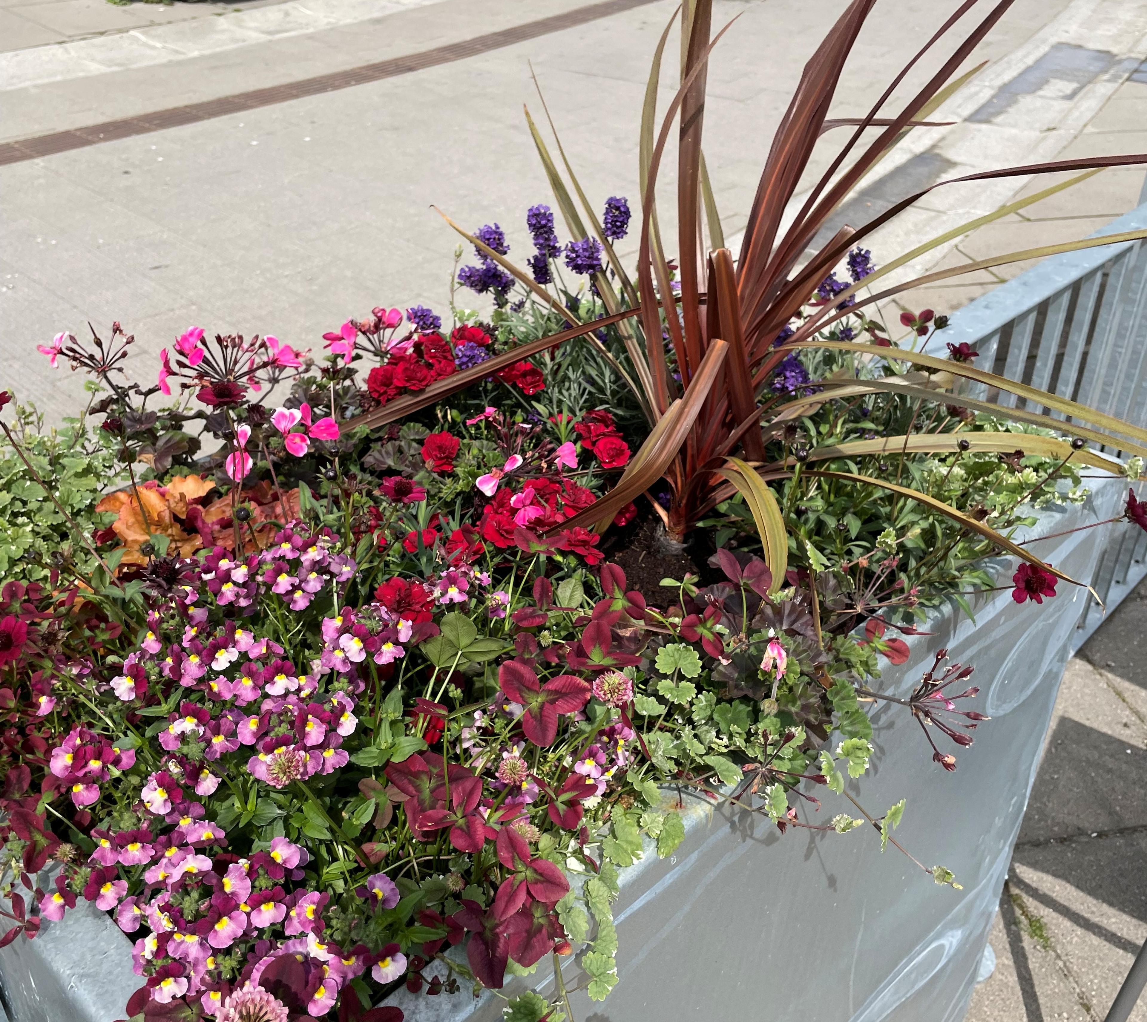 Vakre blomsterβββββο»Ώβο»Ώββββββο»Ώο»Ώβο»Ώβββββββββο»Ώββββββο»Ώββββββο»Ώβββββββο»Ώβο»Ώββββββο»Ώββββββο»Ώβββο»Ώββββο»Ώβββββββο»Ώο»Ώββββββο»Ώββββββββββο»Ώβββββββββββββββο»Ώβββββββββββο»Ώβββο»Ώβββο»Ώβββο»Ώββββο»Ώο»Ώββο»Ώο»Ώββο»Ώβββο»Ώο»Ώβββο»Ώββββββο»Ώβββββββο»Ώο»Ώβο»Ώβο»Ώβο»Ώβββο»Ώβββο»Ώβο»Ώβο»Ώβο»Ώβο»Ώβο»Ώβο»Ώβο»Ώββο»Ώο»Ώββββββο»Ώββο»Ώββββββββο»Ώββο»Ώββββο»Ώο»Ώβββββββββββββο»Ώββββο»Ώο»Ώββο»Ώβββο»Ώο»Ώβββββββββο»Ώο»Ώββο»Ώβββο»Ώβββββββο»Ώβο»Ώββββββο»Ώββο»Ώβββββββο»Ώββββββββο»Ώο»Ώββο»Ώββο»Ώβο»Ώβββββββββο»Ώο»Ώββββββββββο»Ώβββββββο»Ώβββο»Ώβββββββο»Ώββββο»Ώββο»Ώβββββββο»Ώβο»Ώβο»Ώβο»Ώββο»Ώββο»Ώβββββο»Ώβο»Ώβββο»Ώβο»Ώββο»Ώββο»Ώβββο»Ώβββο»Ώβββο»Ώββββο»Ώββββββο»Ώβββββββο»Ώβββο»Ώβββββββββββββββο»Ώβββο»Ώβββββο»Ώβββο»Ώβο»Ώβο»Ώβο»Ώβββο»Ώβββο»Ώβββββββο»Ώο»Ώββο»Ώββββο»Ώο»Ώβο»Ώβο»Ώβο»Ώβββο»Ώβο»Ώβο»Ώβββββββο»Ώβββββββο»Ώο»Ώβββββββο»Ώο»Ώβββββο»Ώβββββββο»Ώββββββββο»Ώο»Ώβββο»Ώβββββο»Ώβββββββο»Ώβο»Ώβββββββββο»Ώβο»Ώβββββββββο»Ώβββο»Ώβββββββο»Ώβββο»Ώβο»Ώβββββο»Ώβββββββββββββββο»Ώβο»Ώβββο»Ώβο»Ώβο»Ώβο»Ώβββββββο»Ώβββο»Ώβββββββο»Ώββββββββο»Ώβββββββο»Ώββο»Ώβββο»Ώο»Ώο»Ώβββββββββο»Ώβο»Ώβββββββββο»Ώββββο»Ώββο»Ώο»Ώββββββο»Ώβββο»Ώβββο»Ώβββββββο»Ώβο»Ώβββββββββο»Ώβββββββββββο»Ώββββββββο»Ώβββο»Ώο»Ώβββο»Ώββββββο»Ώβββββββο»Ώο»Ώβο»Ώβο»Ώβο»Ώβββββββο»Ώβο»Ώβββββο»Ώβο»Ώβο»Ώβο»Ώβο»Ώβο»Ώβο»Ώβο»Ώβββββββββββββο»Ώο»Ώββββββββββο»Ώβββββββο»Ώβββο»Ώβββββββο»Ώββββο»Ώββο»Ώβββββββο»Ώβο»Ώβο»Ώβο»Ώββο»Ώββο»Ώβββββο»Ώβο»Ώβββο»Ώβο»Ώββο»Ώββο»Ώβββο»Ώβββο»Ώβββο»Ώββββο»Ώββββββο»Ώβββββββο»Ώβββο»Ώβββββββββββββββο»Ώβββο»Ώβββββο»Ώβββο»Ώβββββο»Ώβββο»Ώβββο»Ώβββββββο»Ώο»Ώββο»Ώββββο»Ώο»Ώβο»Ώβο»Ώβο»Ώβββββββο»Ώβββββββο»Ώβββββββο»Ώο»Ώβββββββο»Ώο»Ώβββββο»Ώβββββββο»Ώββββββββο»Ώο»Ώβββο»Ώβββββο»Ώβββββββο»Ώβο»Ώβββββββββο»Ώβο»Ώβββββββββο»Ώβββο»Ώβββββββο»Ώβββο»Ώβο»Ώβββββο»Ώβββββββββββββββο»Ώβο»Ώβββο»Ώβο»Ώβο»Ώβο»Ώβββββββο»Ώβββο»Ώβββββββο»Ώββββββββο»Ώβββββββο»Ώββο»Ώβββββββο»Ώβββββββο»Ώβββο»Ώβο»Ώβο»Ώβββββββββο»Ώβο»Ώβββββββο»Ώβββββββο»Ώο»Ώββο»Ώβββο»Ώββββββββο»Ώββββββο»Ώβο»Ώβββββββββββββββββο»Ώο»Ώβ