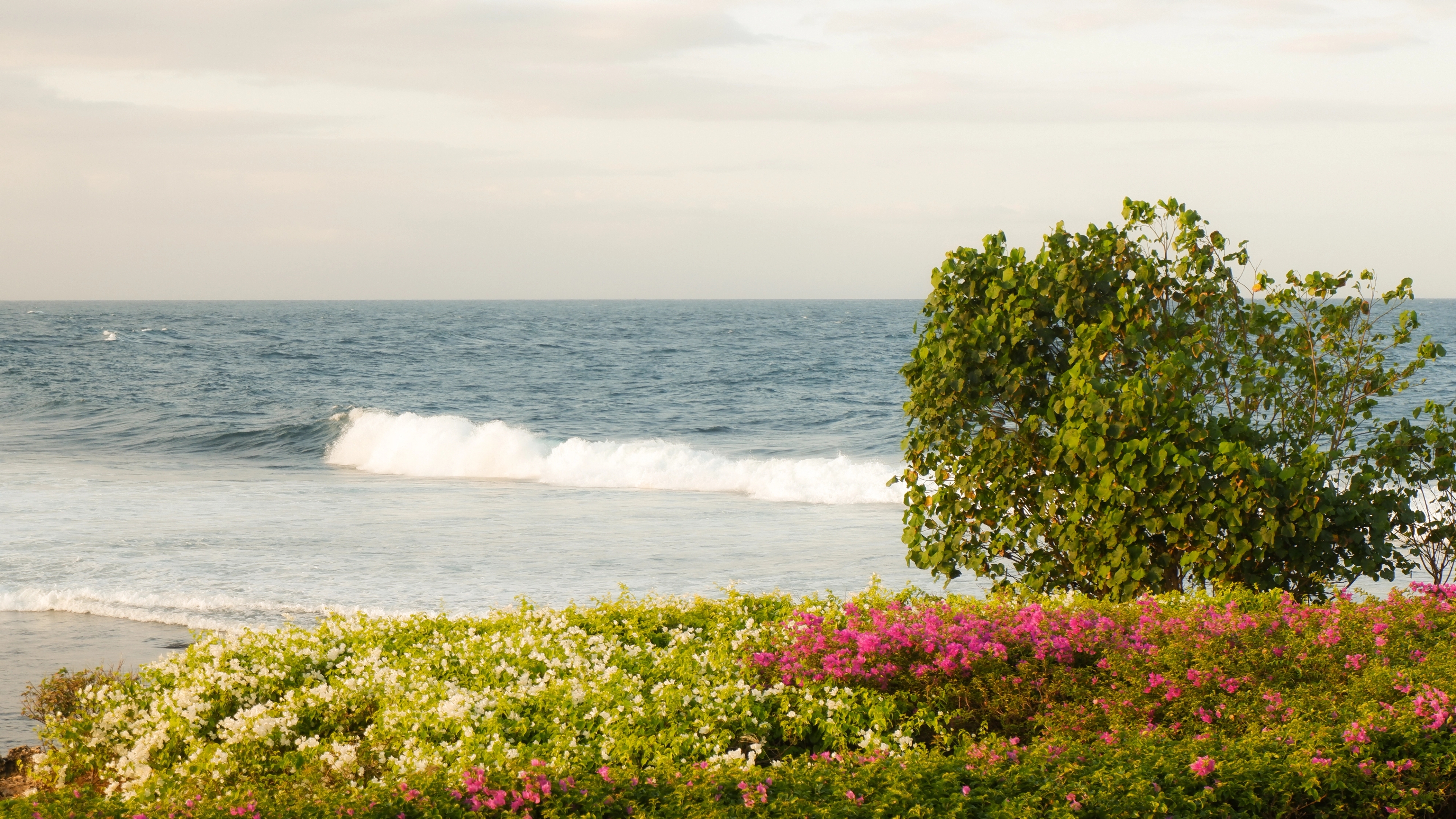 Image of beautiful beach in Nusa Dua, big waves