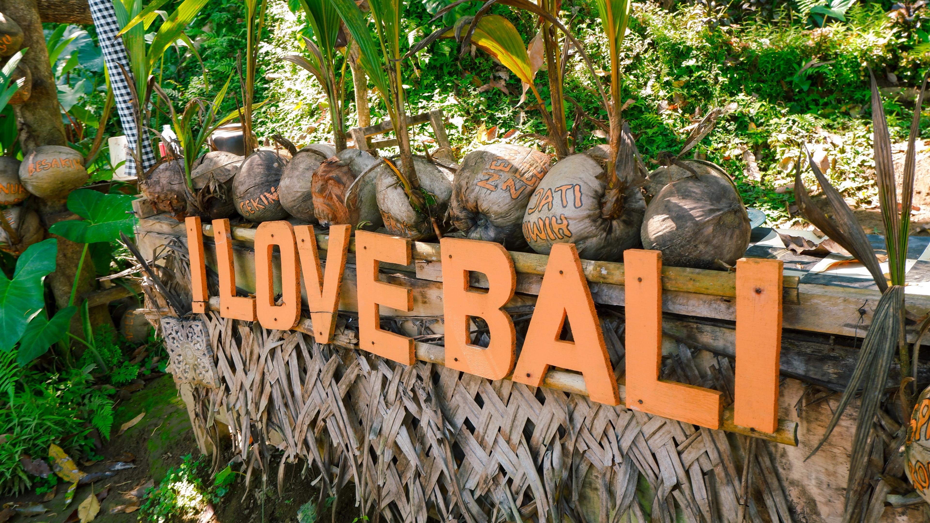 Image of sign I LOVE BALI in rice field