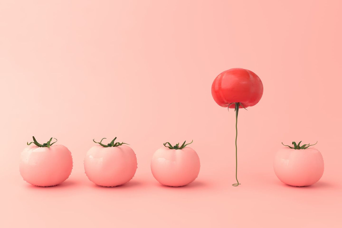 a non uniform tomato to present software switching