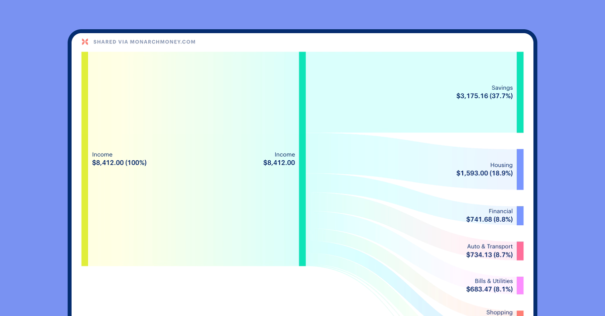 Visualizeing Cash Flow Visualize your cash flow like never before | Monarch