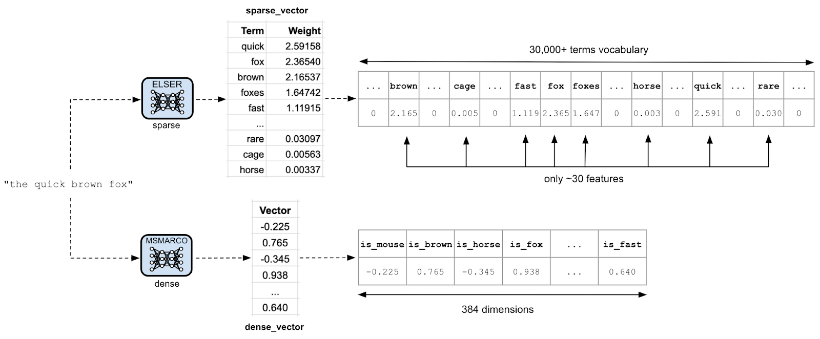 Comparing sparse and dense model encoding