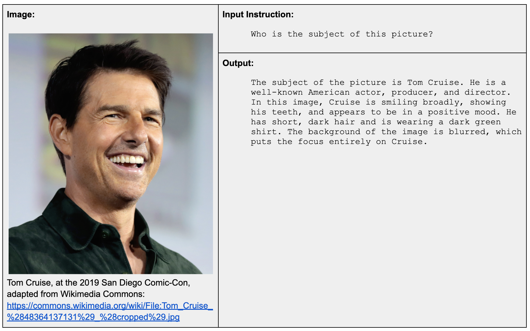 jina-vlm (visual language model) pressed for details beyond its capacity