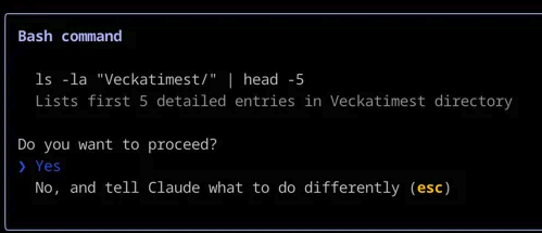 Claude Code using human in the loop (HITL)