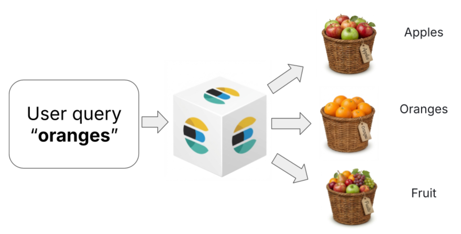 Diagram showing how a query for “oranges” routes to different fruit categories, including apples, oranges, and mixed fruit.