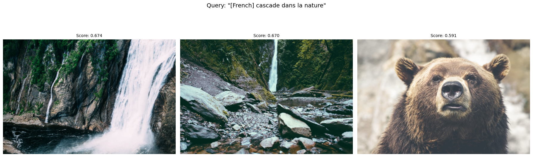 Search results for the Portuguese query "cascata na natureza" returning the same two waterfall photos and a brown bear, with scores of 0.663, 0.663, and 0.585.