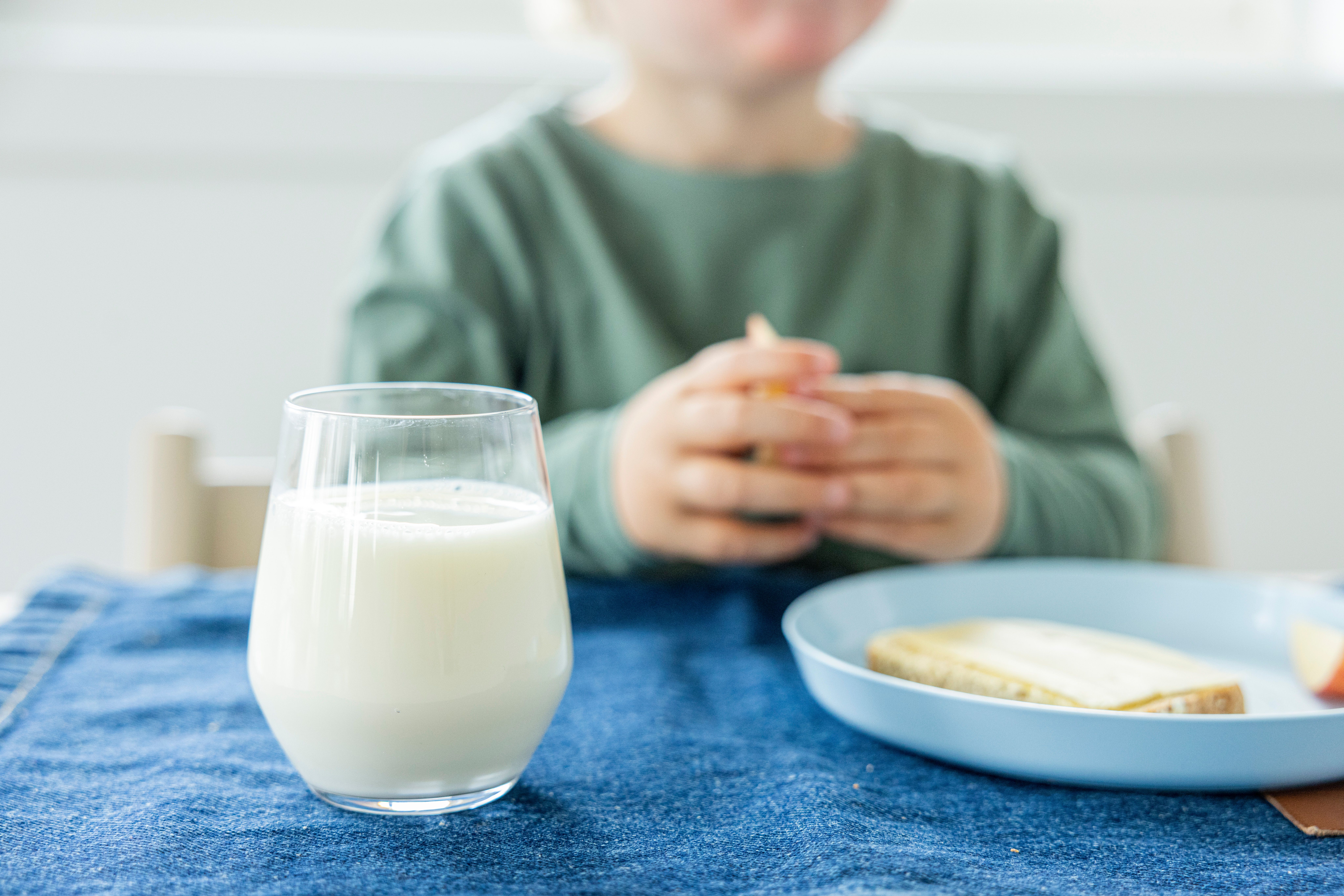 A child sits at a table with a glass of milk and a plate of bread with cheese and an apple slice.
