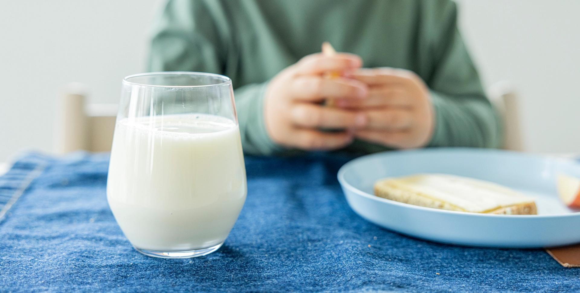 A child sits at a table with a glass of milk and a plate of bread with cheese and an apple slice.