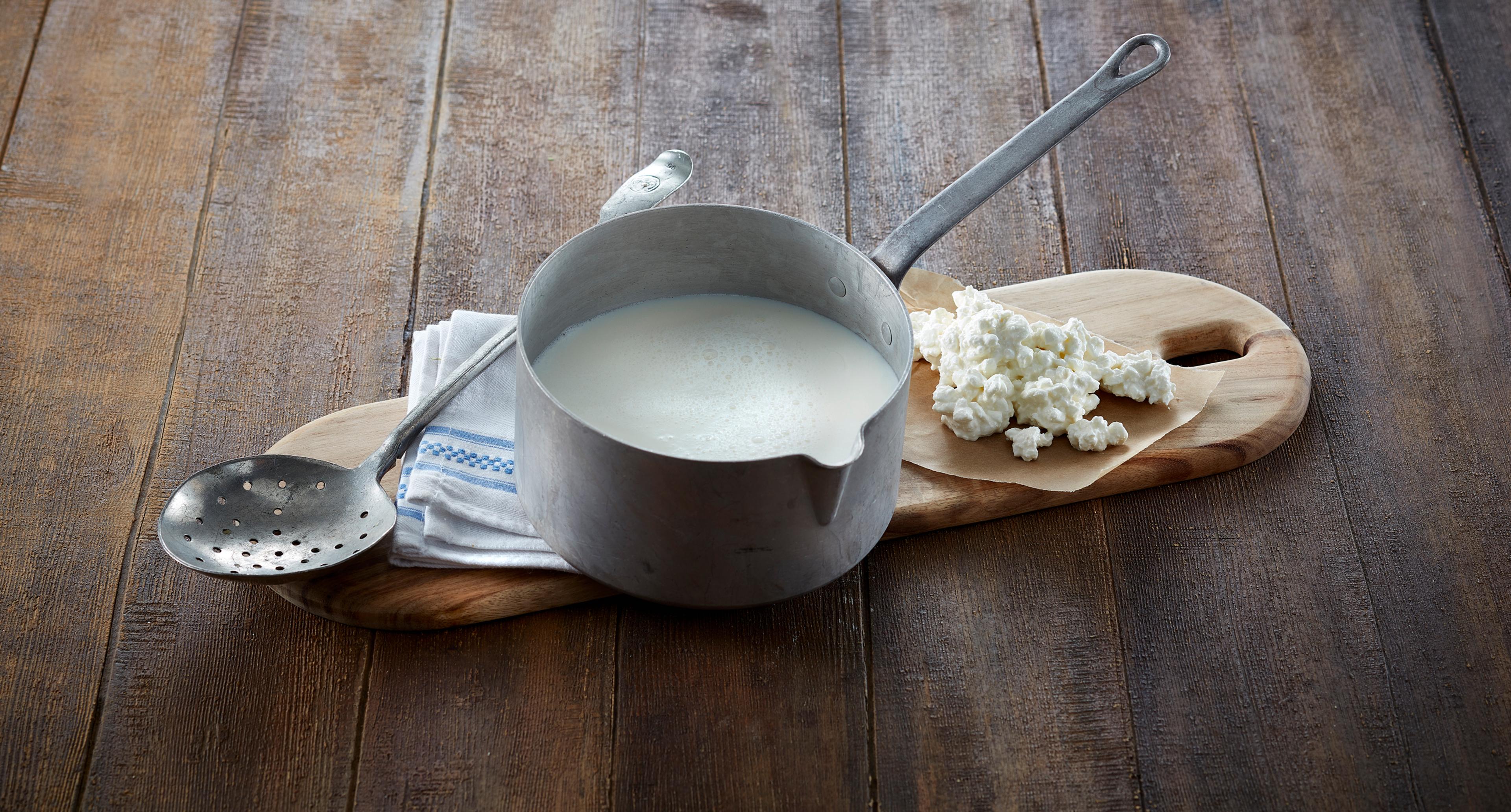 Kjele med melk til ysting