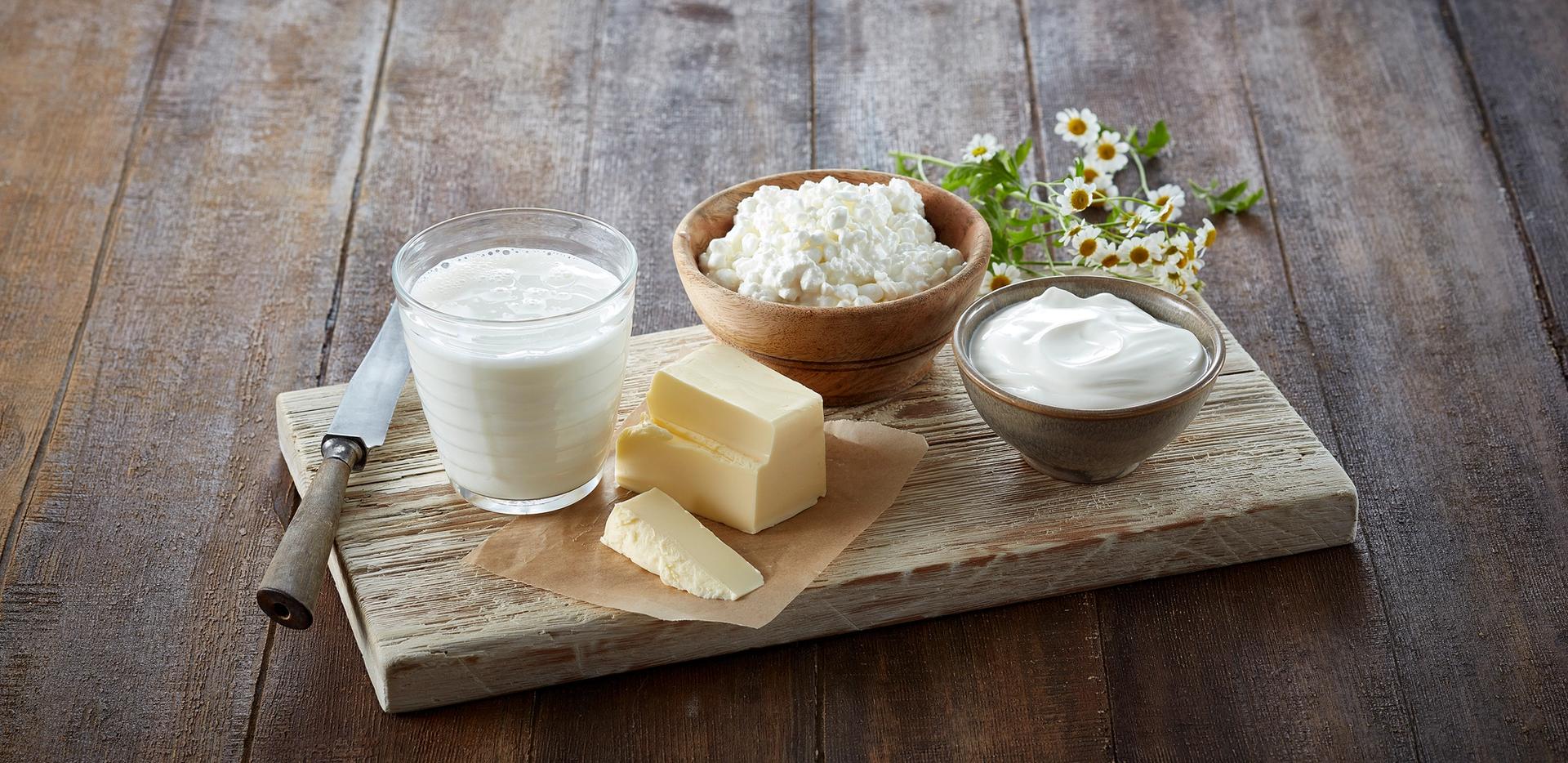 Økologisk mat: melk, cottage cheese, rømme og smør