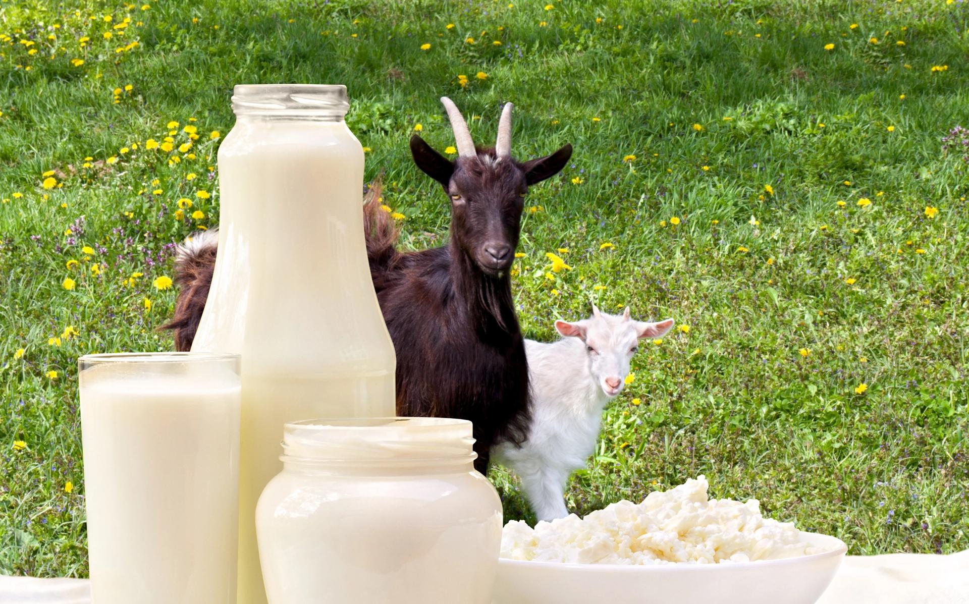 Melkespann og melkeflaske