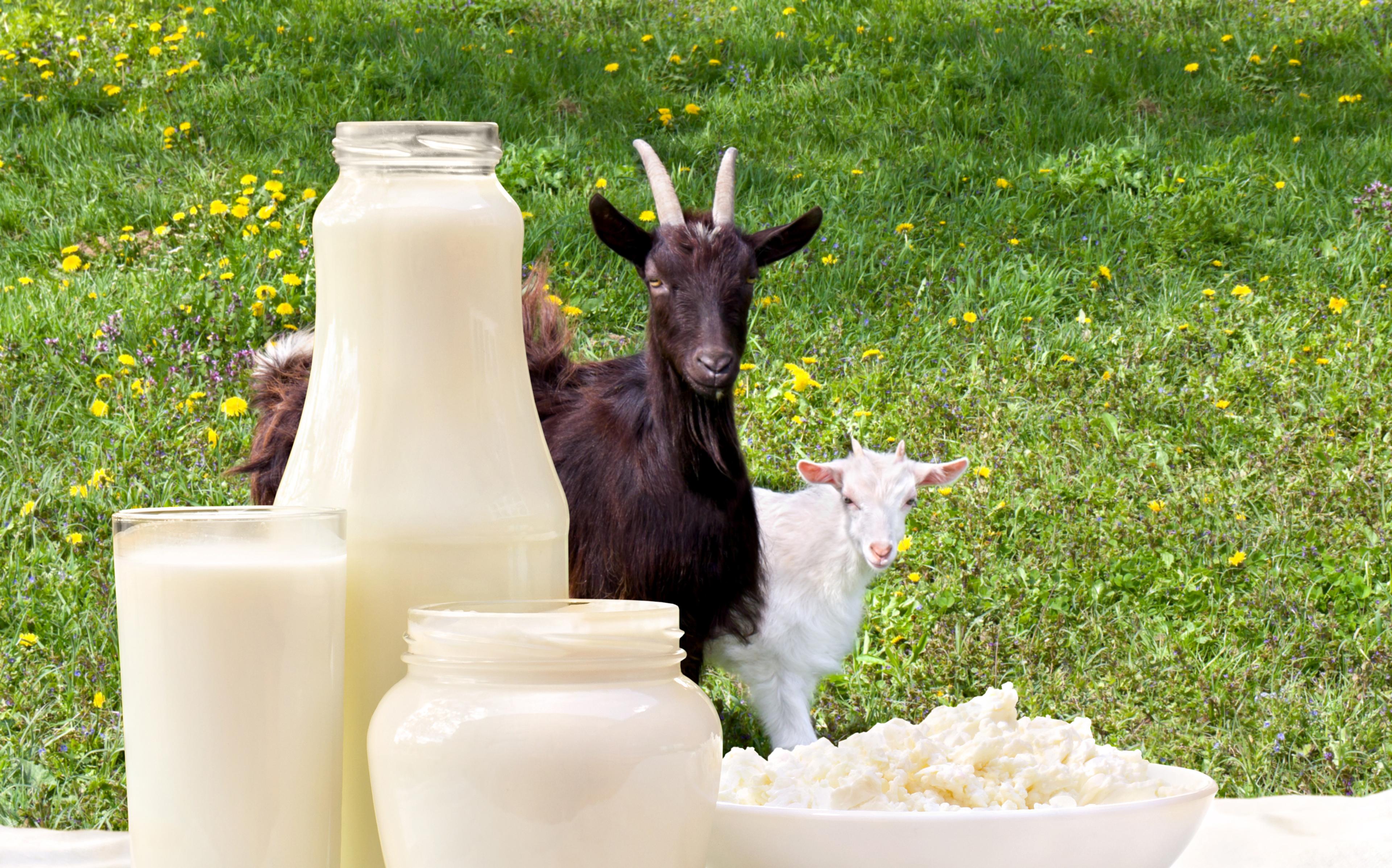 Melkespann og melkeflaske