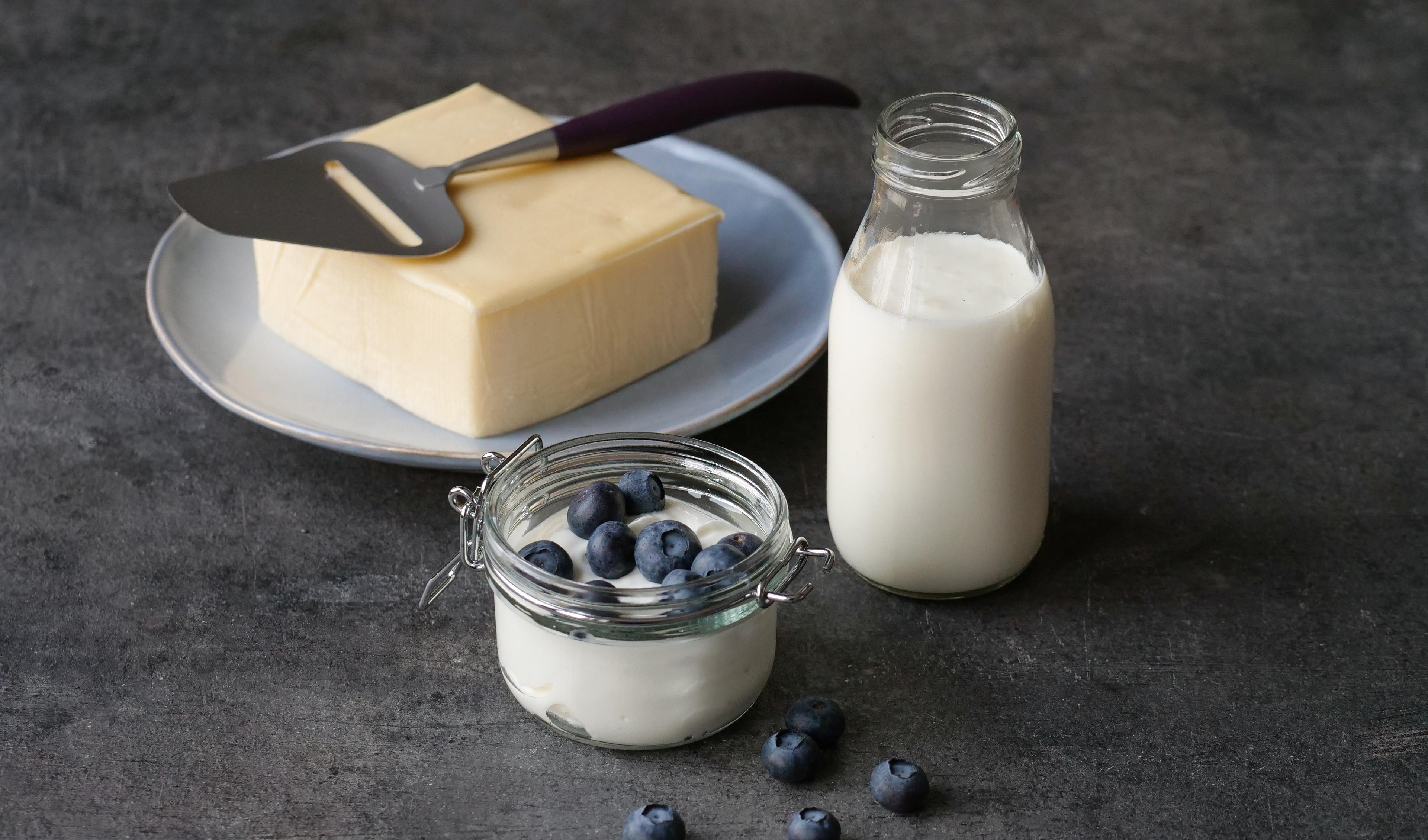 a bottle of milk , a jar of yogurt , a slice of cheese , and blueberries on a table .