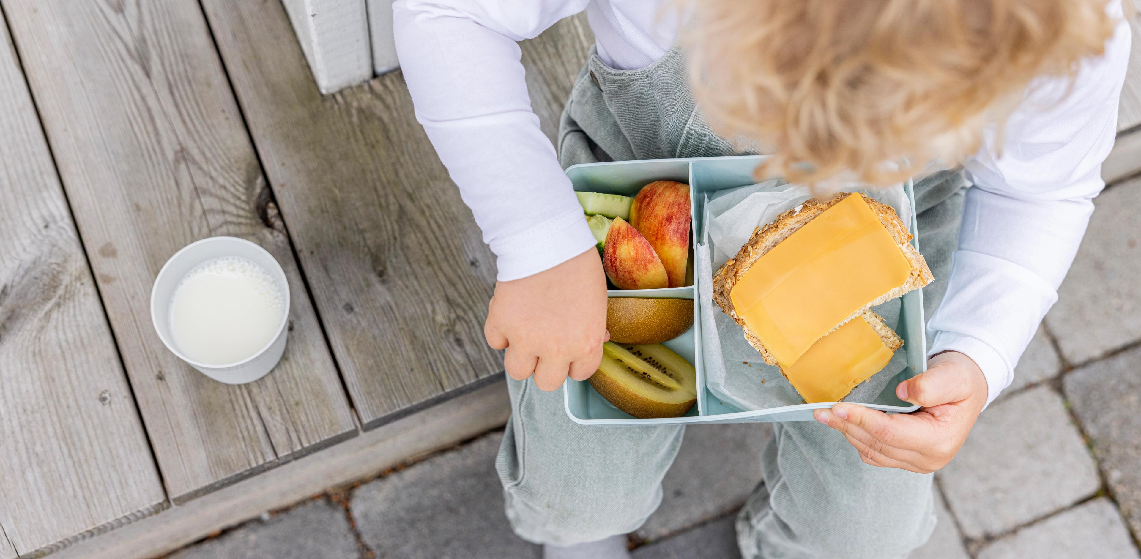 Liten gutt med matboks med frukt og brødskive med brunost